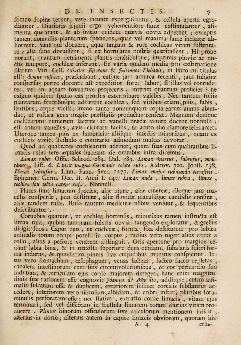 / fbmno Popit# terunt, vere ineunte expergifcuntur, & cellula aperta egre¬ diuntur ..Diutioris jejunii ergo vehementiore fame exftimulantur , ali¬ menta quaeritant , & ab initio quidem quaevis obvia adpetunt ; exceptis tamen: nonnullis plantarum fpeciebus, quas vel maxima fame incitata ab¬ horrent. Sunt qui docuere, aqua tanjtum & rore cochleas vitam fuftenta- re ; alia fane docui flent , fi ex hortulanis noftris qu#ritafient‘. Hi probe norunt, quantum detrimenti plantis frudibufque, imprimis pluvi# ac no¬ dis tempore, cochleas inferant. Et varia quidem media pro exftirpatione illarum Viri Cell; Charles Ejb.enne & Johannes Liebault^ in libro cui titulus eft:: domus mflca, pr#fcribmit , eafque jam amurca recenti , jam fuligine confperfas perire docent; ali expeditior foret labor, fi illas vel contude¬ re' , vel in aquam foveam ve projeceris ; interim quantum proficies ? ne' exiguo quidem fpatio eas prorfus exterminare valebis . Nec tantum foliis plantarum frudibufque adhserent cochle# , fed vitibus etiam, pifis, fabis , lentibus, atque viciis; irnrno tanta nonnunquam copia earum annus abun- - dat , ut ruftica gens magi# prcefbigiis produdas cenfeat. Magnum denique ‘ cochlearum numerum lacerta ac vanelli pr#d# venire docent nonnulli ; efl: autem vanellus , avis cicuratu facilis , & acuto fuo clamore feles arcet. Uterque tamen pliis ex lumbricis' aliifque infedis minoribus , quam ex cochleis vivit; Teftudo e contrario admodum multas devorat■ Quod ad qualitates cochlearum adtinet, quum luas cum qualitatibus li-- ffiacis rubri fere aequales habeant de omnibus infra dicemus . Limax ruber Oflrc. Schrod. 284. Dal. 383. Limax quartus , /'ubrufus, mon- i Anus; 3 Liff. 6. Lmax magna Germanis colore rufo. Aldrov. 702. Jonft. 138. Limax fubrufus . Linn. Faun. Svec. 1277; Limax major rubicunda teneflris „ > Ephemer. Germ. Dec. II. Anni I. 147. Limax nuda , limax rubra , limax , < cochlea f eu teB a carens rufa. Nonnulh Plures funt limacum fpecies, ali# nigr#, ali#cinere#, ill#que jam mar¬ culis confperf#, jam deflitutae, ali# flavidas maculifque candidis confit# 5 . ali# tandem rufae; • Ruf# tantum medicin# ufibus veniunt, fequentibus defcribiintor\ - . ^ > Gornubus quatuor ', ut cochlea hortenfis , minoribus tamen inftruda eft: limax rufa, quibus tamquam fulcris obvia tangendo exploratur, &greflus dirigirfuos • Caput ejus , ut' cochle# , forma fixa deftitutum pro Tubitu animalis totum' recipi1 poteft in corpus ; radius vero niger alius caput a collo , alius a pedore ventrem diftinguit . Oris apertor# pro margine ce¬ dunt labia bina, & in maxilla fuperiore dens quidam, fubalaris fulcri for¬ ma indutus, & quindecim pinnis five cufpidibus munitus confpicitur. In¬ tus vero ftomachum , cefophagum , venas ladeas , ladieo fucco repletas , canalem intellinoriim cum fuis circumvolutionibus , & cor pericardio fuoJ indutum, & auriculam'ejus corde majorem deteges, hanc enim magnitu¬ dinis fu# rationem efle cognovic Joannes de Mur.dto, additque, cutim ani¬ malis fulcatam eflfe & duplicem; exteriorem fcilicet corticis fubftanti# ac¬ cedere , interiorem vero fibrofam, albidam, cribri inflar, pluribus fora- minulis perforatam efle ; nec ftatim1, extrado corde limacis , vitam ejus terminari; fed vel diflfedam in fruftula limacem totam diutius vitampro- ducere . Plinius binorum officulorum five calculorum mentionem iniicit citerius in dorfo; alterius autem in capite limacis obviorum \ quorum hic A- 4.;- eri*-