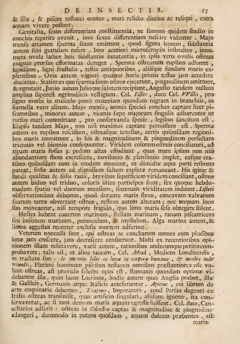 & illae y & pifces teftacei omnes , mari relido diutius ac reliqui , extra aquam vivere poflunt. _ ; Genitalia, fexus differentiam conftituentia, ne fummo quidem ftudio in conchis-reperire evenit , imo fexus differentiam nefcire videntur . Majd menfe attamen fperma fuum emittunt , quod figura lentem , fubftantia autem febi guttulam refert . Imo acutiori microfcrop io inftrudus , innue mera ovula la&eas huic fubftantia innatantia, in ipfis vero ovulis oftreas exiguas prorfus efformatas deteget . Sperma. oftrearum rupibus adhasret , lapidibus , ligni fruftulis , teftis antiquioribus , aliifque fundum maris ex^ plentibus ^ Ovis autem vigioti quatitor horis primis teftas jam accedere ducimus. Statim ex quo fperma fuum oftreas ejecerunt , pinguedinem amittunt,. & asgrotant, Junio autem julioque falutem recipiunt, Augufto tandem nullum amplius fupereft asgritudinis velligium. Cei Lifter , duce Cei. VFillis, pro* figno morbi in mafculo ponit materiam quandam- nigram in branchiis, in femella vero albam. Majo menfe, omnis fpeciei conchas-captare licet pi~ fcatoribus , minores autem , vicenis faspe majorum Angulis adhaerentes ut rurfus mari committant , pro confervanda fpecie 5 legibus fancitum eft Elapfo tandem Majo , non nifi maximas captare penniffum eft . Sperma autem ex rupibus refciifum, oftreafque tenellas, certis quibufdam regioni¬ bus maris immittunt , in his & magnitudinem & pinguedinem perfedam triennio vel biennio confequuntur. Viridem coloremolireis conciliaturi,ac§ ripam maris foffas 3, pedum altas effodiunt , quas mare ipfum non nifi abundantiore fluxu excrefcens, novilunio & plenilunio implet, eafque cra¬ tibus quibufdam eum in modum muniunt, ut dimidia aquas parti refluxus pateat, foffas autem ad dimidium faltem expletas remaneant. His igitur & fundi qualitas & folis radii, brevibus fupetficiem viridem conciliant, oftreas autem biduo vel triduo, coloris iftius participes fiunt; fex quoque hebdo¬ madum fpatio vel duorum menfium, fummam1 viriditatem induunt .Lifieri obfervationibus debemus, quod durante maris fluxu, concavam valvarum fuarum terras obvertant oftreas, refluxu autem alteram ; nec unquam loco fuo moveantur, nifi tempore frigido, quo limo maris fefe obtegerefolent. Hoftes habent cancrum marinum, ftellam marinam, ranam pifcatriceiu feu bufonem marinum, petunculum, & myftulum» Alga marina autem, limus aggeltus recenter exclufis mortem adferunt»- Veterum nonnulli funt , qui oftreas ac concharum omnes cum phafibus* lunas jam crefcere, jam decrefcere cenfuerunt. Multi ex recentioribus opi¬ nionem iftam refutavere, varii autem, rationibus undecumque petitis com¬ probavere; talis eft , ut alios taceam , Cei. Mead , Medicus Londinenfis , in tradatu fuo de impetro' folis ac luna in corpora humana, & morbis indf Oriundis, Plurimi hominum pifcibus teftaceis omnibus praftantiores'effe vo¬ lunt oftreas, aft provido feledu opiis eft . Romanis quondam optirme vi¬ debantur illas, quas lacus Lucrinus, hodie autem quas Anglia prasbet, illas & Gallicis , Germanis atque Italicis anteferuntur „ Apicius , cui librum de arte coquinaria debemusTrajano, Imperatori , apud Perfas degenti ex' Italia oftreas tranflnifit, quas artificio lingulari , aliifque ignoto , ita con¬ ferva verat, ac fi turri demum maris aquanregreffas fuiffent. Cei. Baco ^Czn^ cellarius adferit : oftreas in Colceftra captas & magnitudine & pinguedine- adaugeri, dummodo in puteos quofdam , aquam dulcem -praebentes , a(t maris r /