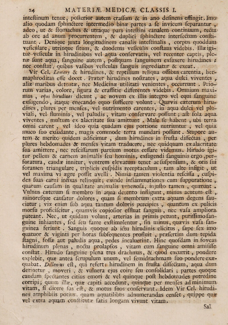 inteflinum tenue, poflerior autem craffum & in ano definens effingit. Inro alio quodam fphin&ere intermedio binx partes a fe invicem feparantur , adeo, ut & flomachus & utraque pars inteflini canalem continuum* reda ab ore ad anum procurrentem , & duplici fphin&ere interfedtim confli- tuanti . Denique juxta longitudinem canalis inteflinalis , corpus quoddam veficplare, utrinque fitum, & duodenis veirculis conflans videbis . Illae igi— tuWveficulx in hirudinibus vel aqua confervatis, vel recenter captis, ple¬ na? funt aqua, fanguine autem , poflquam fanguinem exfuxere hirudines ; nec conftat\ quibus vafibus veficulas fanguis ingrediatur & exeat. Yir Cei. Lemery & hirudines, <k reptilium reliqua offibus carentia, her¬ maphroditas eife docet . Praeter hirudines noflrates , aqua dulci viventes y aliae maribus detenta, nec Medicina utilitati venientes, occurrunt . Prio¬ rum varias, colore, figura & craffitie differentes videbis. Omnium maxi¬ mas , equi hirudines dicunt , ac novem ex illis integro vel equi fanguine exfugendo, itaque enecando equo fufficere volunt. Quaevis exterum hiru¬ dines, plures per menfes, vel nutrimento carentes, in aqua dulci vel plu¬ viali, vel fluminis, vel paludis, vitam confervare poffunt; aft fola aqua viventes , multum ex alacritate fua amittunt . Male fe habent , ubi terra, omni carent , vel ideo quia quadam ejus portione nutriuntur , vel quia muco fuo exfudante, magis commode terra mundari poffunt. Stupore au¬ tem & merito quidem adficimur , dum hirudines in frufla diffedas , per plures hebdomades & menfes vitam traducere, nec quidqnam ex alacritate fua amittere, nec refeiffarum partium motus ceffare videmus. Hirudo igi¬ tur pellem & carnem animalis feu hominis,, exfugendi fanguinis ergo ^per¬ foratura, caudx innitur , ventrem elevatum tenet acfufpenfum, & oris fui foramen triangulare , triplicis cufpidis receptaculum , tam alte infigit , ut vel maxima vi xgre poflit avelli . Nimia tamen violentia refcifla , cufpi- des fuas carni infixas relinquit; exinde inflammationes cum-fuppuratione r, quarum caufam in qualitate animalis venenofa, injuflo tamen , quxrunt . Vulnus exterum fi membro in aqua detento infligunt, minus acutum efl , minorefque caufatur dolores , quam fi membrum extra aquam degens fau- ciatur ; vix enim fub aqua tantum doloris percipies ,, quantum ex pulicis morfu proficifeitur , quamvis copioflor effluat fanguis , nec vafa ampliora pateant. Nec, ut quidam volunt, arterias in primis petunt;, puriffimofan¬ guine inhiantes , fed feu fame exftimolentur ,. fin minus, quxvis vafa fan- guinea feriunt . Sanguis quoque ab i<5tu hirudinis elicitus , fxpe fex imo quatuor & viginti per horas fubfequentes profluit , prxfertim dum tepida ftagni, foffx aut paludis ^qua, pedes incaluerint. Hinc quofdam in foveas hirudinum plenas , no&u prolapfos , vitam cum fanguine omni amififfe conflat. Hirudo fanguine plena tres drachmas, Sc quod excurrit, pondere explebit, qux antea fcrupulum unum, vel femidrachmam fuo pondereexx- quabat. Dtllemus efl, qui refert: hirudinem in frufla dHfedam, aqua dum detinetur moveri , & vulnera ejus coire feu confolidari ; partes quoque caudam (pedantes citius emori & vel quinque poli hebdomades putredine corripi; quum illa?, quas capiti accedunt, quinque per menfes ad minimum vitam, fi dicere fas efl, Sc motus fuos confervant. Idem Vir Cei. hirudi¬ nes amphibiis potius , quam aquatilibus adnumerandas cenfet, quippe qux vel extra aquam coriilittitx fatis longam vivunt vitam. Sal (