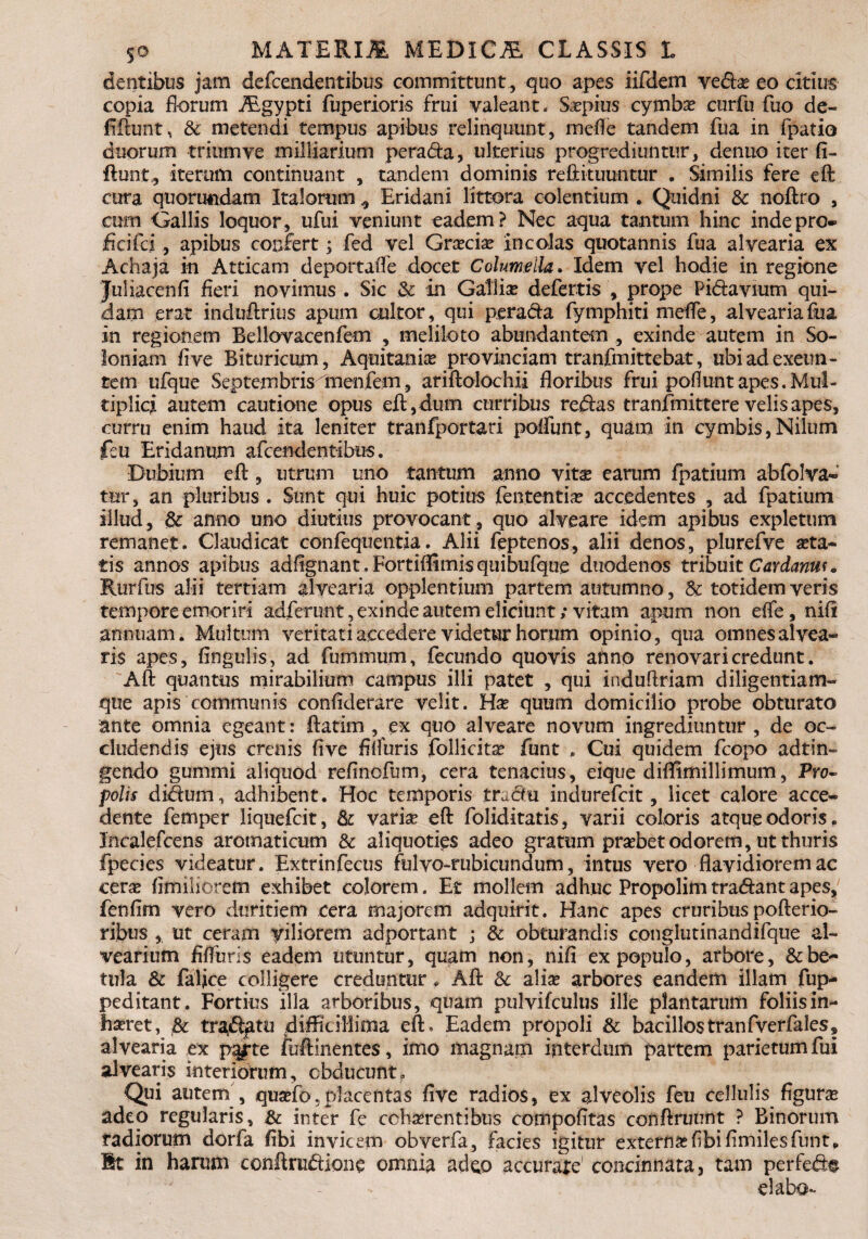 dentibus jam defcendentibus committunt , quo apes iifdem veda? eo citius copia florum iEgypti fuperioris frui valeant. Sa?pius cymba? etirfu fluo de- ■fiftunt, & metendi tempus apibus relinquunt, mefle tandem fua in fpatio duorum triitmve milliarium pera da, ulterius progrediuntur, denuo iter fi¬ dunt, iterum continuant , tandem dominis refiituunttir . Similis fere eft cura quorundam Italorum , Eridani littora colentium . Quidni & noftro , cum Gallis loquor, ufui veniunt eadem? Nec aqua tantum hinc inde pro* fieifci, apibus confert; fed vel Gra?cia? incolas quotannis fua alvearia ex Achaja in Atticam deportafTe docet Columella. Idem vel hodie in regione Juliacenfl fieri novimus . Sic & in Gailise defertis , prope Pidavium qui¬ dam erat incluftrius apum cultor, qui perada fymphiti mefle, alvearia fua in regionem Bellovacenfem , meliloto abundantem , exinde autem in So- loniam flve Bituricum, Aquitanise provinciam tranfmittebat, ubi ad exeun¬ tem ufque Septembris Inenfem, ariftolochii floribus frui poflunt apes. Mul¬ tiplici autem cautione opus eft, dum curribus redas tranfmittere velis apes, curru enim haud ita leniter tranfportari poliunt, quam in cymbis,Nilum fcu Eridanum afcendentibus. Dubium eft, utrum uno tantum anno vitx earum fpatium abfolva- tur, an pluribus . Sunt qui huic potius fententia? accedentes , ad fpatium illud, & anno uno diutius provocant, quo alveare idem apibus expletum remanet. Claudicat confequentia. Alii feptenos, alii denos, plurefve a?ta- tis annos apibus adflgnant .Fortiffimisquibufque duodenos tribuit Cardanut. Rurfus alii tertiam alvearia opplentium partem autumno, & totidem veris tempore emoriri adferunt, exinde autem eliciunt; vitam apum non eflfe, nili annuam. Multum veritati accedere videtur horum opinio, qua omnes alvea¬ ris apes, lingulis, ad fummum, fecundo quovis ahno renovari credunt. Aft quantus mirabilium campus illi patet , qui induftriani diligentiam¬ que apis communis conliderare velit. Ha? quum domicilio probe obturato ante omnia egeant: ftatim , ex quo alveare novum ingrediuntur , de oc¬ cludendis ejus crenis live filfuris follicita? funt Cui quidem fcopo adtin- gendo gummi aliquod refinofum, cera tenacius, eique diflimillimum, Pro- polis didum, adhibent. Hoc temporis tradu indurefcit, licet calore acce¬ dente femper liquefcit, & varia eft foliditatis, varii coloris atque odoris . Incalefcens aromaticum & aliquoties adeo gratum praebet odorem, ut thuris fpecies videatur. Extrinfecus fulvo-rubicundum, intus vero flavidiorem ac cerae flmilierem exhibet colorem. Et mollem adhuc Propolim tradant apes, fenfim vero duritiem cera majorem adquirit. Hanc apes cruribus pofterio- ribus , ut ceram Viliorem adportant ; & obturandis conglutinandifque al¬ vearium fifluris eadem utuntur, quam non, nili ex populo, arbore, & be¬ tula & faljce colligere creduntur * Aft & alia? arbores eandem illam fup- peditant. Fortius illa arboribus, quam pulvifculus ille plantarum foliis in¬ haeret, & traditu difficillima eft. Eadem propoli & bacillostranfverfales, alvearia ex p^rte fuftinentes, imo magnam interdum partem parietum fui alvearis interiorum, obducunt. Qui autem, quafo,placentas flve radios, ex alveolis feu cellulis figura? adeo regularis, & inter fe cohaerentibus compofitas conftrunnt ? Binorum radiorum dorfa fibi invicem obverfa, facies igitur externa?fibifimilesfunt. Bt in harum conftrudione omnia adeo accurate' concinnata, tam perfedg dabo*.