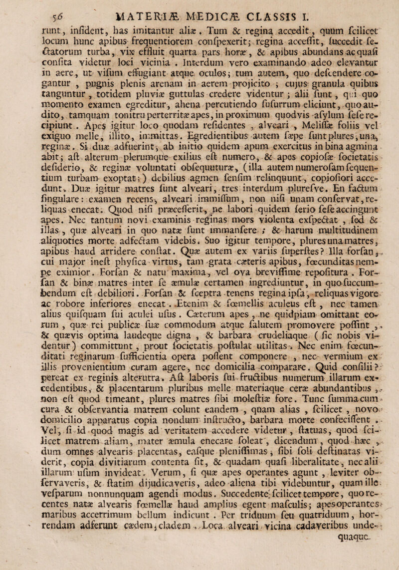 runt, inficient , has imitantur alias. Tum & regina accedit , quum fcilicet locum hunc apibus frequentiorem confpexerit; regina acceflit, (uccedit fe¬ llatorum turba, vix- effluit quarta pars horas, & apibus abundans acquafi confita videtur loci vicinia. Interdum vero examinando adeo elevantur in aere, ut vifum effugiant atque* oculos; tum autem, quo defcendere co¬ gantur , pugnis plenis arenam in aerem projicito ; cujus granula quibus tanguntur, totidem pluvias guttulas credere videntur; alii funt, qui quo momento examen egreditur , ahena percutiendo fufurrum eliciunt, quo au¬ dito , tamquam tonitru perterritas apes, in proximum quodvis afylum fefe re¬ cipiunt . Apes igitur loco quodam relidentes , alveari , Meliflas foliis vel exiguo meile, illito, immittas. Egredientibus autem faspe funtplures,una* reginas. Si ause adfuerint* ab initio quidem apum exercitus in bina agmina abit; alf alterum plerumcjub exilius efl; numero, & apes copiofas focietatis defiderio, & regina voluntati obfequuturas^ (illa autemnumerofam fequen- tium turbam exoptat ;) debilius agmen fenfim relinquunt:, copjofiori acce¬ dunt. Dux igitur matres funt alveari, tres interdum plurefve. En fadum- lingulare: examen recens-, alveari immiffum, non nifi unam confervat, re¬ liquas enecat. Quod nifi prasceflerit, ne labori quidem ferio fefe accingunt apes. Nec tantum novi examinis reginas mors violenta exfpe&at , fed 3c illas , quas alveari in quo natas funt nnmanfere ; & harum multitudinem, aliquoties morte adfedam videbis * Suo igitur tempore , plures una matres apibus haud arridere conflat. Quas autem ex variis fuperftes? Illa forfan3 cui major ineft phy fica virtus* tam grata casteris apibus, feecunditas nem¬ pe eximior. Forfan & natu maxima, vel ova breviffime repofitura . For¬ fan & binas matres inter fe asmulas certamen ingrediuntur, in quofuceum- bendum efl debiliori. Forfan fceptra tenens regina ipfa, reliquas vigore ac robore inferiores enecat. Etenim & foemellis aculeus efl, nec tamen alius quifquam fui aculei ufus . Casterum apes 5,ne quidpiam omittant eo¬ rum , quas rei publicas fuse commodum atque faliitein promovere poffint ,,, St quasvis optima laudeque digna , & barbara crudeliaque ( fic nobis vi¬ dentur) committunt, prout focietatis poftulat utilitas. Nec enim- foecun- ditati reginarum fuflicientia opera poffent componere , nec vermium ex illis provenientium curam agere, nec domicilia comparare. Quid confilii? pereat ex reginis alterutra* A A laboris fui frudibus numerum illarum ex¬ cedentibus, & placentarum pluribus meile materiaque ceras abundantibus non efl quod timeant, plures matres fibi moleftias fore. Tunc fummacum* cura & obfervantia matrem colunt eandem , quam alias , fcilicet , novo domicilio apparatus copia nondum inftru&o, barbara morte confeciffent ... Vel, fLid quod magis ad veritatem accedere videtur , ftatuas, quod fci- iicet matrem aliam, mater urnula enecare folear, dicendum , quod hasc , dura omnes alvearis placentas, eafque pleniflfimas* fibi foli deftinatas vi¬ derit, copia divitiarum contenta fit, & quadam quafi liberalitate, nec alii illarum; ufum invideat; Verum, fi quas apes operantes agunt , leviter ob« fervaveris, & flatim dijudicaveris, adeo aliena tibi videbuntur, quam ille: vefparum nonnunquam agendi modus. Succedente^ fcilicet tempore, quo re¬ centes natae alvearis foemellas haud amplius egent mafculis; apes operante maribus accerrimum bellum indicunt . Fer triduum feti quatriduum, hor¬ rendam adferunt caedem $ cladem .., Loca, alveari vicina cadaveribus unde-? - quaqua