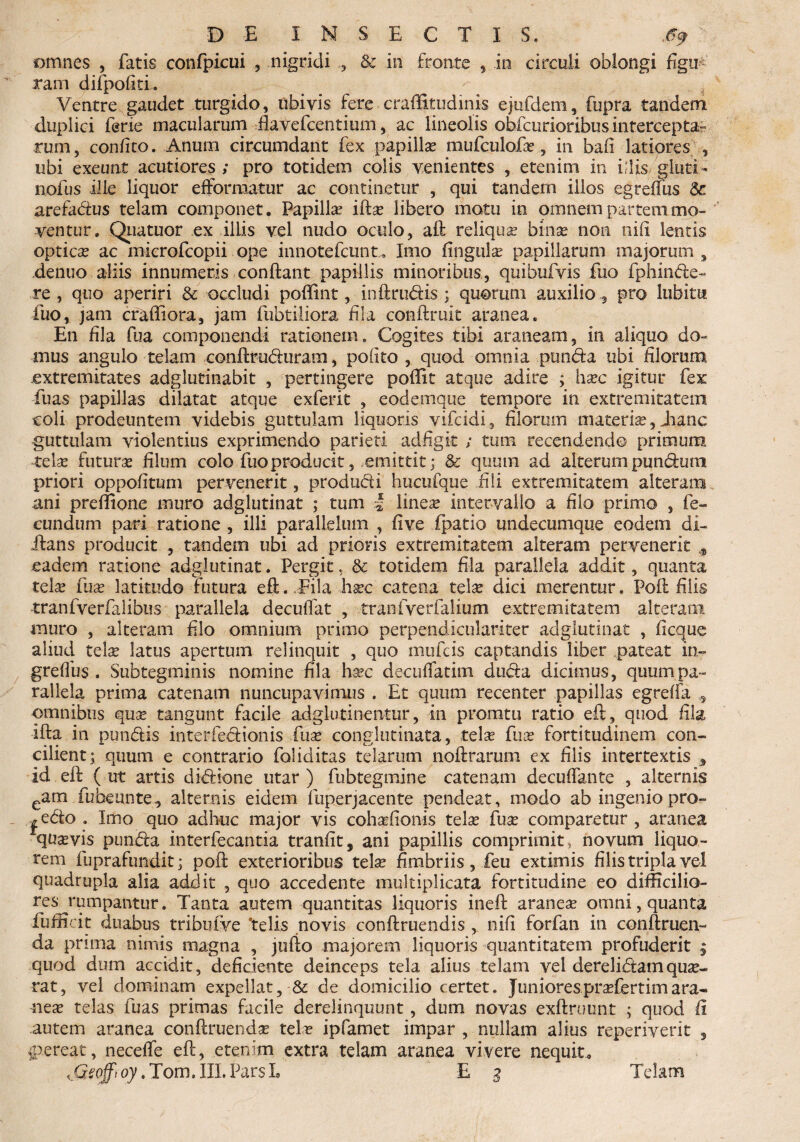 D E INSECTIS. .<5> omnes , fatis confpicui , nigridi ,, & in fronte , in circuli oblongi figu Tam difpofiti. ^ , Ventre gaudet turgido, ubivis fere craffitudini-s ejufdem, fupra tandem duplici ferie macularum fiavefcentium, ac lineolis obfcurioribus intercepta¬ rum, confito. Anum circumdant fex papillse mufculofte , in bafi latiores , ubi exeunt acutiores ; pro totidem colis venientes , etenim in i;iis gluti- nofus ille liquor efformatur ac continetur , qui tandem illos egreffus & arefadus telam componet. Papilla? ifta? libero motu in omnem partem mo¬ ventur. Quatuor ex illis vel nudo oculo, aft reliqua binse non nili lentis optica? ac microfcopii ope innotefcunt. Imo fingula? papillarum majorum, dentio aliis innumeris conflant papillis minoribus, quibufvis Tuo fphinde- re , quo aperiri & occludi poffint, inftrudis ; quorum auxilio pro lubitti Tuo, jam crudiora, jam fubtiliora fila conftruit aranea. En fila fua componendi rationem. Cogites tibi araneam, in aliquo do¬ mus angulo telam conftruduram, polito , quod omnia .punda ubi filorum .extremitates adglutinabit , pertingere poffit atque adire ; ha?c igitur fex fuas papillas dilatat atque exferit , eodemque tempore in extremitatem coli prodeuntem videbis guttulam liquoris vifcidi.., filorum materia?, Jianc guttulam violentius exprimendo parieti adfigit ; tum recendendo primum -tela: futura? filum colo Tuo producit, emittit; & quum ad alterum pundum priori oppofitum pervenerit, produdi hucufque fili extremitatem alteram ani preflione muro adglutinat ; tum | linea? intervallo a filo primo , fe¬ cundum pari ratione , illi parallelum , fi ve fpatio undecumque eodem di- ftans producit , tandem ubi ad prioris extremitatem alteram pervenerit * eadem ratione adglutinat. Pergit, & totidem fila parallela addit, quanta tela? fua? latitudo futura eft. Fila ha?c catena tela? dici merentur. Poft filis tranfverfalibus parallela decufiat , tranfverfalium extremitatem alteram muro , alteram filo omnium primo perpendiculariter adglutinat , ficque aliud telae latus apertum relinquit , quo mtifcis captandis liber pateat in- greftus . Subtegminis nomine fila h^c decuflatim dtida dicimus, quum pa¬ rallela prima catenam nuncupavimus . Et quum recenter papillas egreffa „5 omnibus quae tangunt facile adglutinentur, in promtu ratio eft, quod fila ifta in pundis interfedionis Tuae conglutinata, telae Tua? fortitudinem con¬ cilient; quum e contrario foliditas telarum noftrarum ex filis intertextis 9 id eft (ut artis didione utar) fubtegmine catenam decuffante , alternis eam Tuheunte., alternis eidem fuperjacente pendeat, modo ab ingenio pro¬ cedo . Imo quo adhuc major vis cohaefionis telae fuae comparetur , aranea quaevis punda interfecantia tranfit, ani papillis comprimit, novum liquo¬ rem fuprafundit; poft exterioribus telae fimbriis, Teu extimis filis tripla vel quadrupla alia addit , quo accedente multiplicata fortitudine eo difficilio¬ res rumpantur. Tanta autem quantitas liquoris ineft aranea? omni, quanta fufficit duabus tribuive telis novis conftruendis , nifi forfan in conftruen- da prima nimis magna , jufto majorem liquoris quantitatem profuderit ; quod dum accidit, deficiente deinceps tela alius telam vel derelidamqua?- rat, vel dominam expellat, & de domicilio certet. Juniorespra?fertimara¬ nea? telas fuas primas facile derelinquunt, dum novas exftruunt ; quod fi autem aranea conftruenda? teli? ipfamet impar , nullam alius reperiverit , pereat, neceffe eft, etenim extra telam aranea vivere nequit» ^PJ^o^.Tom.III.ParsL E g Telam