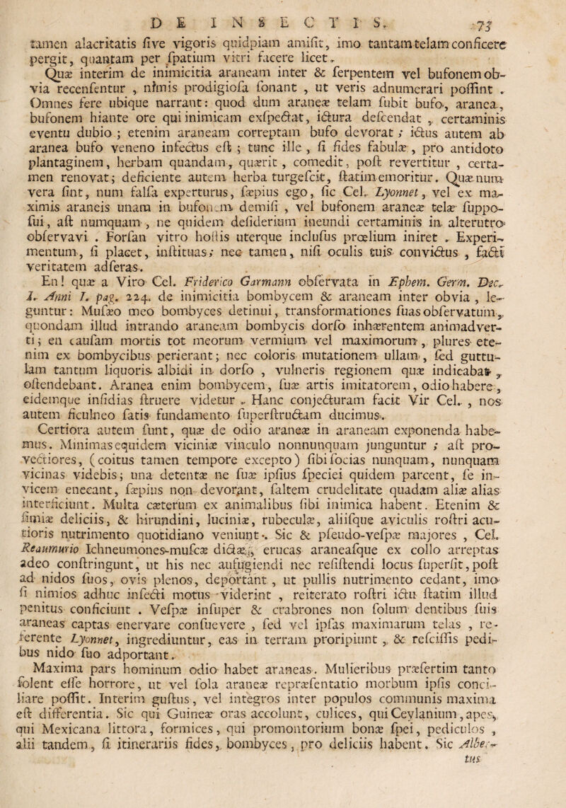 tamen alacritatis fi ve vigoris qnidpiam amiftt, imo tantam telam conficere pergit, quantam per /patium vitri facere licet, Quse interim de inimicitia araneam inter & ferpentem vel bufonem ob¬ via recenfentur , nimis prodigiofa fonant , ut veris adnumerari pofiint . Omnes fere ubique narrant: quod dum aranea* telam fubit bufo-, aranea., bufonem hiante ore qui inimicam exfpedat, idura defcendat certaminis eventu dubio ; etenim araneam correptam bufo devorat / idus autem ab aranea bufo veneno infectus eft ; tunc ille , fi fides fabula , pro antidoto plantaginem, herbam quandam•, qu^rit , comedit, poft revertitur , certa¬ men renovat; deficiente autem herba turgefck, ftarimem oritur, Qusenuna- vera fint, num falfa experturus, firpius ego, fic Cei» Lyomet, vel ex m&- ximis araneis unam in bufonum demift , vel bufonem araneae tela: fuppo- fui, aft numquam , ne quidem defiderium ineundi certaminis in» alterutro* obfervavi . Forfan vitro holi is uterque inclufus proelium iniret * Experi*. mentum, fi placet, inftimas; nec tamen,, nifi oculis suis convidus , fodi veritatem ad feras. En! qua: a Viro- Cei. Fricterico Garmann ©bfervata in Epbem. Germ. Dec,- I, Armi L pag* 224. de inimicitia bombycem & araneam inter obvia , le¬ guntur: Mufaeo meo bombyces detinui, transformationes fuasobfervatum5, quondam illud intrando araneam bombycis dorfo i nivere n te ra animadver¬ ti; en caufam mortis tot meorum vermium vel maximorum, plures* ete¬ nim ex bombycibus perierant; nec coloris mutationem ullam , £ed guttu¬ lam tantum liquoris albidi in dorfo , vulneris regionem qua: indicabafr v offendebant. Aranea enim bombycem, fua: artis imitatorem, odio habere, eideinque infidias finiere videtur »» Hanc conjeduram facit Vir Cei.. , nos autem ficulneo fatis fundamento fu p er ft rubiam ducimus. Certiora autem funt, qua: de odio aranea: in araneam exponenda habe¬ mus. Minimas equidem vicinia: vinculo nonnunquam junguntur ; aft pro¬ vectiores, (coitus tamen tempore excepto) fibi fodas nunquam, nunquam vicinas videbis; una detenta: ne fua: ipfius fpeciei quidem parcent, fe in¬ vicem enecant, fxpius non devorant, faltem crudelitate quadam alia: alias interficiunt. Multa cseterum ex animalibus fibi inimica habent. Etenim &c finfise deliciis, & hirundini, lucinis, rubecula, aliifque aviculis roftri acu¬ tioris nutrimento quotidiano veniunt-. Sic & pfeudo-vefpa majores , CeL Reaurnuvio Xchneuiiiones-mufca: didae-;, erucas araneafque ex collo arreptas adeo conftringunt, ut his nec aufugiendi nec reddendi locus fuperfit, poft ad nidos fuos, ovis plenos, deportant, ut pullis nutrimento cedant, imo ii nimios adhuc infedi motus -viderint , reiterato roftri idu fi: at i m illud penitus conficiunt . Vefpa: infuper & crabrones non foltnn dentibus fuis araneas captas enervare confuevere , fed vel ipfas maximarum telas , re¬ terente Lyomet, ingrediuntur, eas ia terram proripiunt ,, & refciftis pedE bus nido fuo adportant.. Maxima pars hominum odio habet araneas. Mulieribus pneiertim tanto folent eife horrore, ut vel fola aranea: repr^fentatio morbum ipfis conci¬ liare pofiit. Interim guftus, vel integros inter populos communis maxima eft differentia. Sic qui Guinea: oras accolunt, culices, quiCeylanium,apes*, qui Mexicana littora, formices, qui promontorium bona: fpei, pediculos , alii tandem, fi itinerariis fides,, bombyces, pro deliciis habent. Sic Alber-