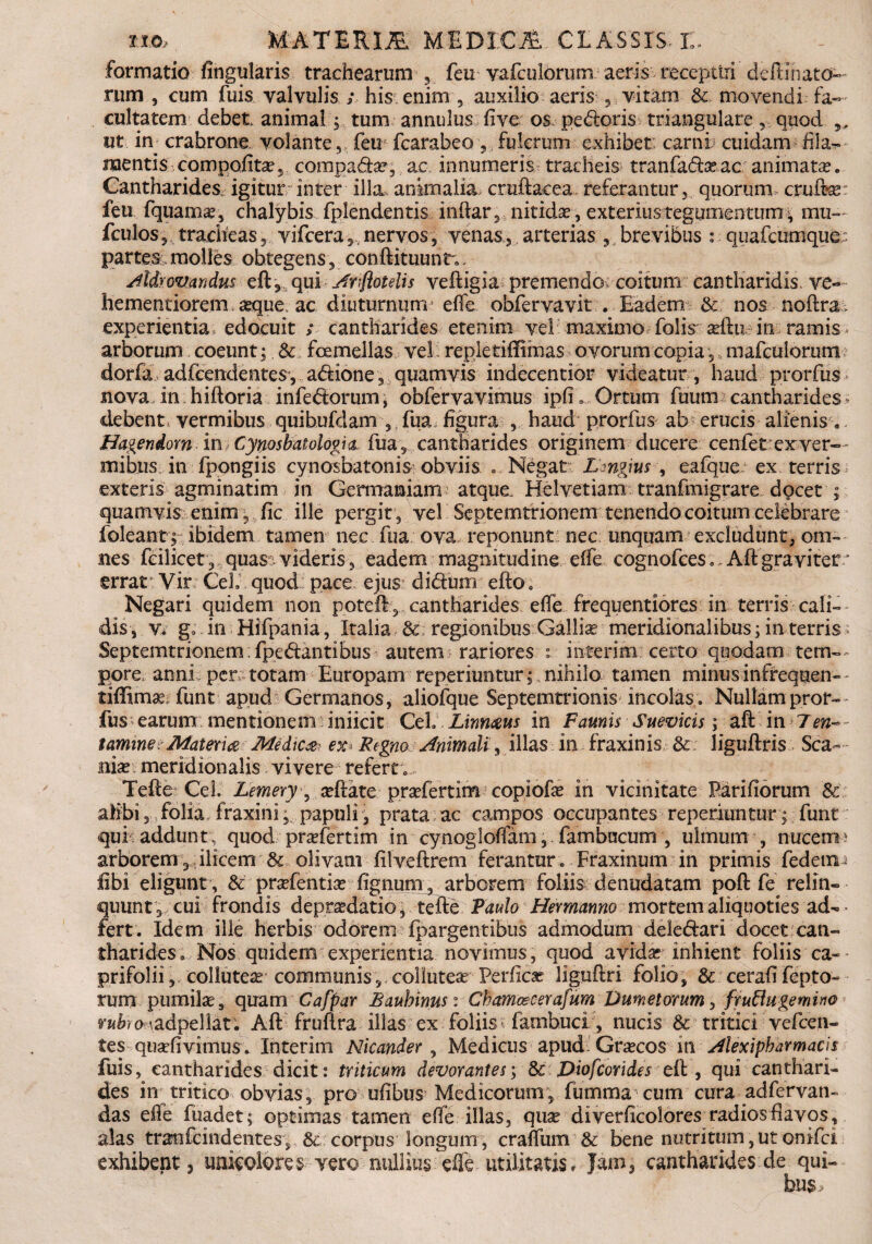 formatio lingularis trachearum , feu vafculorum aeris receptui deftinato-- rum , cum fuis valvulis ; his enim , auxilio aeris , vitam & movendi fa¬ cultatem debet animaltum annulus live os pedoris triangulare, quod 9, ut in crabrone volante,, feu fcarabeo, fulcrum exhibet carnh cuidam fila*» mentis compofitae, compadae, ac, innumeris tracheis tranfadaeac animatae. Cantharides, igitur inter illa animalia cmdacea referantur, quorum, crufe feu fquamae, chalybis fplendentis indar, nitidae, exterius tegumentum; mu— fculos, tracheas, vifcera,, nervos, venas, arterias , brevibus : quafcumque: partes, molles obtegens, condituun r*. /tIdyovmdus ed,qui Anflotelis vedigia premendo coitum cantharidis, ve- hementiorem aeque, ac diuturnum effe obfervavit . Eadem & nos noftra experientia edocuit > cantharides etenim vel maximo folis ^dti in ramis arborum coeunt;, &. fcemellas vel: repletiffimas ovorum copia ,, mafculorum dorfa adfcendentes, adione, quamvis indecentior videatur, haud prorfus nova, in hidoria infedorum, obfervavimus ipfii Ortum fuum cantharides debent vermibus quihufdam , fua figura , haud* prorfus ab erucis alienis a. Bagendom in, Cynosbatologi <t fua, cantharides originem ducere cenfet ex ver¬ mibus in fpongiis cynosbatonis obviis .. Negat Lmgius , eafque ex terris exteris agminatim in Germaniam atque. Helvetiam tranfmigrare docet ; quamvis enim , fic ille pergit , vel Septemtrionem tenendo coitum celebrare foleant j ibidem tamen nec fua ova reponunt nec unquam excludunt, om¬ nes feilicet, quas videris, eadem magnitudine effe cognofces *, Ad graviter * errar Vir Ceh quod pace ejus didum edo. Negari quidem non potefF, cantharides effe frequentiores in terris cali¬ dis, v* go. in Hifpania, Italia & regionibus Galliae meridionalibus; in terris ; Septemtrionemfpedantibus autem rariores : interim certo quodam tem¬ pore, anni per totam Europam reperiuntur; nihilo tamen minus infrequen- fiffimae funt apud Germanos, aliofque Septemtrionis incolas* Nullam pror¬ fus earum mentionem iniicit Ceh Linnaus in Faunis Suevicis; ad in 7*»- tamine e Materia Medica > ex* RegnoAnimali, illas in fraxinis & liguftris Sca¬ nia? meridionalis vivere refert * Tede Ceh Lemery, sedate praefertim copiofae in vicinitate Pariliorum Sc alibi,,folia, fraxini; papuli, prata ac campos occupantes reperiuntur ; funt qui addunt; quod praefertim in cynogloffam, fambucutn , ulmum , nucem? arborem, ilicem & olivam filvedrem ferantur. Fraxinum in primis fedetn < fibi eligunt , & prsefentia? fignum , arborem foliis denudatam pod fe relin¬ quunt, cui frondis depraedatio, tede Paulo Hermanno mortem aliquoties ad-- fert. Idem ille herbis odorem fpargentibus admodum deledari docet can¬ tharides. Nos quidem experientia novimus, quod avidas inhient foliis ca- prifolii, collute^ communis,. colluteae Perficas ligudri folio, & cerafi fepto- rum pumilae, quam Cafpar £aubinusa. Chamascerafum Dumetorum, fruflugemino vubiOMadpellat. Ad frudra illas ex foliis fambuci, nucis & tritici vefcen- tes quaefivimus. Interim Nicander , Medicus apud; Graecos in dlexipharmacis fuis, cantharides dicit: triticum devorantes; & Diofcorides ed , qui canthari¬ des in tritico obvias, pro ufibus; Medicorum, fumma cum cura adfervan- das effe fuadet; optimas tamen effe illas, quae diverficolores radios flavos, alas tranfcindentes, & corpus longum, craffum & bene nutritum,ut onifci exhibent, unicolores vero nullius effe utilitatis. Jam, cantharides de qui-