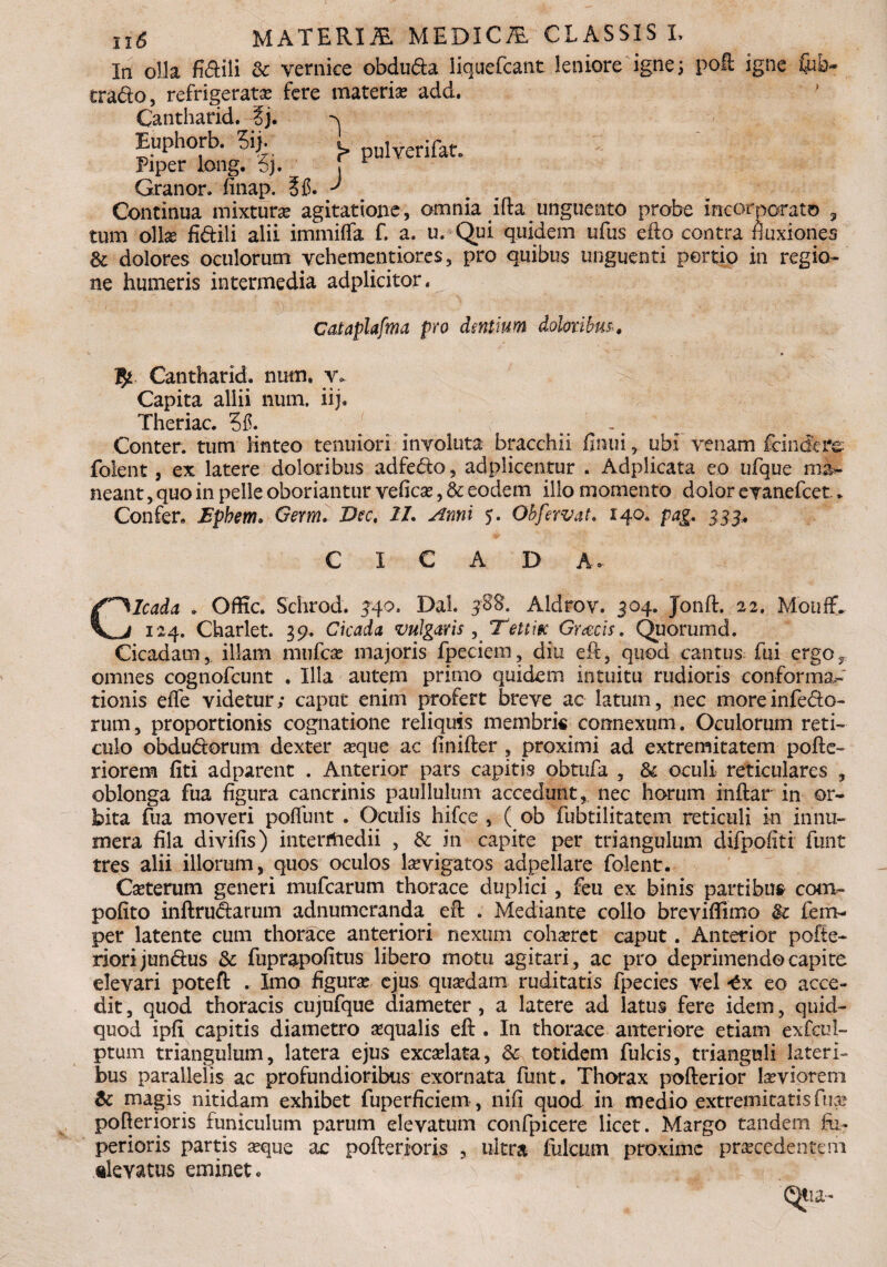 u6 MATERI iE MEDICiE CLASSIS L In olla fi&ili oc vernice obdu&a liquefiant leniore igne; poli igne fcb- trado, refrigerata fere materia add. Cantharid. ij, y Euphorb. 5ip j> pulverifat. Piper long. 6j. r Granor. finap. 515. J Continua mixtura agitatione, omnia i fla unguento probe incorporato 3 tum oll^ fi&ili alii immiffa f. a. u. Qui quidem ufus efto contra fluxiones & dolores oculorum yehementiores, pro quibus unguenti portio in regio¬ ne humeris intermedia adplicitor. Cataplafma pro dentium doloribus IJt Cantharid. num. yv Capita allii num. iij. Theriac. Conter. tum linteo tenuiori involuta bracchii finui, ubi yenam fcin&re folent, ex latere doloribus adfe&o, adplicentur . Adplicata eo ufque ma¬ neant, quo in pelle oboriantur veficse,& eodem illo momento dolor eyanefcet. Confer. Epbem* Germ* Dee, II. Anni 5. Oh fervat. 140. pag. 333* CICADA. Cicada . Offic. Schrod. 340. Dal. 388. Aldrov. 304. Jonft. 22. MouffV 124. Charlet. 39. Cicada vulgaris, Tettigc Gracis. Quorumd. Cicadam, illam mtifcse majoris fpeciem, diu eft, quod cantus fui ergo3 omnes cognofcunt . Illa autem primo quidem intuitu rudioris conforma¬ tionis effe videtur; caput enim profert breve ac latum, nec moreinfe&o- rum, proportionis cognatione reliquis membris connexum. Oculorum reti¬ culo obdu&orum dexter asque ac finifler , proximi ad extremitatem polle- riorem liti adparent . Anterior pars capitis obtufa , & oculi reticulares , oblonga fua figura cancrinis paullulum accedunt, nec horum mftar in or¬ bita fua moveri poffunt . Oculis hifce , ( ob fubtilitatem reticuli in innu¬ mera fila divilis) interrtiedii , & in capite per triangulum difpoliti funt tres alii illorum, quos oculos levigatos adpellare folent. Cseterum generi mufcarum thorace duplici, feu ex binis partibus coov* polito inllrudarum adnumeranda^ eft . Mediante collo brevifiimo 8c fem- per latente cum thorace anteriori nexum cohaeret caput. Anterior polle- riorijundus Sc fuprapofitus libero motu agitari, ac pro deprimendo capite elevari potefl . Imo figurax ejus qusedam ruditatis fpecies vel -£x eo acce¬ dit , quod thoracis cujufque diameter, a latere ad latus fere idem, quid- quod ipfi capitis diametro aqualis eft . In thorace anteriore etiam exfeul- ptum triangulum, latera ejus excadata, & totidem fulcis, trianguli lateri¬ bus parallelis ac profundioribus exornata funt. Thorax pofterior ftviorenx & magis nitidam exhibet fuperficiem, nifi quod in medio extremitatis fuce pollerioris funiculum parum elevatum confpicere licet. Margo tandem fti- perioris partis seque ac pollerioris , ultra fulcum proxime praecedentem «levatus eminet.