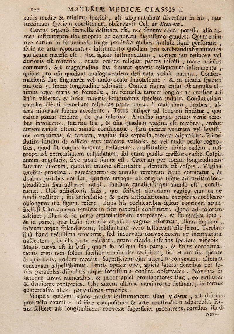 cadis; media?’&. minimas fpeciei', aft aliquantulum’ diverfam in his , qua? maximam fpeciem conftituunty obferyavit Cei. de Remmur . Cantus organis fcemella deftituta eft, nec fonum edere poteft; alio ta¬ men inftrumento libi proprio ac admiratu digniffimo gaudet; Quum enim ova earum .in foraminula. longe, produda quibus frufiiila ligni perforant , ferie ac. arte reponantur; inftrumento: quodam pro terebrandis f oraminulis gaudeant neceffe efl . Hoc igitur inftrumentum , corneas feu teftacese yel durioris effi materias ,, quam omnes reliqua partes infedi , more infedis communi.. Aft magnitudine fua fuperat quasyis reliquorum inftrumenta quibus pro ufu quodam analogo* eadem deftinata voluit natura . Confor¬ mationis fuas lingularia vel nudo- oculo innotefcunt ; &: in cicada fpeciei' majoris 5* .lineas» longitudine adtingit;. Conicas figuras enim eft annuliis ul¬ timus asque maris ac fcemelias , in: fcemella tameir longior ac craflior ad bafiiii videtur ,, & hifce. majoris longitudinis fpeciem induit; Conftat etiam annulus ille, fi fcemellam refpicias parte unica, fi mafculum , duabus , al¬ tera nimirum fubtus accedente . Totus infuper ad longum finditur , quo exitus pateat terebras, de qua inferius . Annulus itaque, primo venit tere¬ bras involucro Interim fua & alia: quasdam vagina eft terebras , ambas “ autem; canale ultimi annuli continentur Jam cicadas ventrem vel leviffi- me comprimas, & terebra,, vaginis fuis expreffa,reteda’ adparebir; Primo4 ftatim intuitir de officio ejus judicare valebis, & vel nudo oculo cogno- fces, quod fit corpus longum, teftaeeunr, craffitudine ubivis eadem , nifi prope ad extremitatem cufpidatam, ibi enim paullo craffiorevadit; Cufpis autem angularis, five jaculi figuras eft . Ceterum per totam longitudinem: laterum duorum, quorum unione efformattir; dentata eft cufpis .. Vagina: terebra proxima , egredientenr ex annulo terebram Haud comitatur , & duabus partibus conftat, quarum utraque ab origine ufque ad mediam lon¬ gitudinem fixa adhasret carni , fundurrr canaliculi: qui annulo eft , confti- tuenti Ubi: adhasfionis. finis , qua fcilicet dimidium vagina cum carne fundi neditur ; ibi articulatio ; & pars articulationem excipiens cochleare oblongum fua figura; refert . Binis his cochlearibus igitur contineri atque includi fcito apicem terebras in fitu naturali conftitutas; Quod ad colorem: adtinet; illum & in parte articulationem excipiente; & in; terebra ipfa ,, & in parte, quas baftn dimidias cujufvis vaginas efformat; illum inquam fulvum atque fplendentem, (ubftantiam vero teftaceam efte fcito. Terebra ipfa haud rediffima procurrit; fed incurvata convexitatem ex incurvatura nafcentem ,, in illa parte exhibet; quam cicada inferius fpedata videbis . Magis curva eft: in baft ; quam in reliqua fua parte , 8c hujus conforma¬ tionis ergo non folum facilior canaliculo recipitur , fed etiam fua fponte &quiefcens, eodem recedit. Superficiem ejus alteram convexam, alteram concavam adpellabimus. Lentis opticas ope, apicis latera; dentibus per fe¬ ries parallelas difpofitis atque fortiffimis* confita obfervabis . Novenas in utroque latere numerabis , & prout apici propinquiores funt , eo exiliores & denfiores confpicies * Ubi autem ultima maximasque delinunt; ibi ternas quaternafve alias, parviftimas repenes»* Simplex quidem primo intuitu inftrumentum; illud videtur , aft* diutius protrado examine mirifice compofitum & arte conftrudum adparebit. Ri- fcilicet: ad longitudinem i convexa fuperficiei procurrens, partibus illude corr-