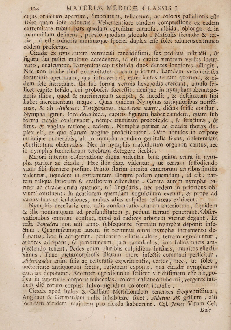 cujus orificium apertum, fimbriatum, teftaceum, ac coloris pallidioris effe folet quam ipfe aduncus . Vehementiore tandem compf effictae ex eadem extremitate tubuli pars quadam egreditur carnofa, albida, oblonga, & in mammillam definens , prasvio quodam globulo . Mafculis fecundas & ter¬ tias, id eft: minoris minimasque fpeciei duplex effe folet aduncus ex trunco eodem profe&ns. Cicada ex ovis autem vermiculi candidiffimi, fex pedibus inftrudi , 6c figura fu a pulici multum accedentes, id eft: capite ventrem v.erfus incur¬ vato , enafcuntur* Extremitas capitis bifida duos dentes longiores effingit . Nec non bifidas funt extremitates crurum priorum. Eamdem vero nidi feti foraminis aperturam, qua intraverant, egredientes terram quasrunt, & ei¬ dem fefe intrudunt. Ibi fub forma vermis hexapodis crefcunt, amiffo fet- licet capite bifido, cui probofds fucceffit, denique in nympham abeunt ge¬ neris illius, quod & nutrimentum accipit, & incedit , & deftinatum fibi habet incrementum majus . Quas quidem Nymphas antiquioribus notiffi- mas, & ab sfriflotele: 7~ettigcmetres, cicadarum matres, didas fuiffe conftat . Nympha igitur, fordido-albida, capitis figuram habet eamdem, quam fub forma cicadas confervabit , nempe munitam probofeide , & ftruduras , & fitus, & vaginas ratione , eadem . Nymphas pariter ac cicadas thorax du¬ plex eft, ex quo alarum vaginas proficifcuntur . Odo annulos in corpore utriufque numerabis, aft in nympha nondum genitalia fexus, differentiam cfcnftitutura obfervabis. Nec in nymphis mafculorum organon cantus,nec in nymphis femellarum terebram detegere licebit. Majori interim obfervatione digna videntur bina prima crura in nym¬ pha pariter ac cicada . Hasc illis data videntur , ut terram fuffbdiendo viam fibi fternere poffint. Primo ftatim intuitu cancrorum cruribusfimilia videntur, fiquidem in extremitate illorum pedem quemdam , id eft : par¬ tem reliqua latiorem & craffiorem oftendunt . Cetera autem nymphas pa¬ riter ac cicadas crura quatuor, nil fingularis, nec pedem in prioribus ob¬ vium continent; in acutiorem quemdam unguiculum exeunt, & prope ad varias fuas articulationes, multas alias cufpides teftaceas exhibent. Nymphis neceffaria erat talis conformatio crurum anteriorum, fiquidem & illas nonnunquam ad profunditatem 3. pedum terram penetrant. Obfer* vationibus omnium conftat, quod ad radices arborum vicinas degant . Et Tefte Fontedera non nifi anno fubfequente formam nymphae deponit infe- dum . Quantufcumque autem fit terminus omni nymphae incremento de- ftinatus; hoc fi adtigerint, perfentito cedatis calore, terram egrediuntur , arbores adrepant, & jam truncum, jam ramufculos, jam folios uncis am- pledendo tenent. Pedes enim pluribus cufpidibus hirfutis, munitos effe di¬ ximus . Tunc metamorphofis illarum more infedis communi perficitur . jlldvcvandus enim fuis ac reiteratis experimentis, certus, nec, ut folet , aufioritate- antiquorum fretus, rationem exponit, qua cicadas nympharum exuvias deponuntRecenter egredientem fcilicet viridiffimam effe ait,po- ftea in Superficie corporis nubeculas, colore caftaneo fuboriri,vergentetan- dem die totum corpus, fulvo-nigridum colorem induiffe . Cicada apud Italos & Galliam Meridionalem tenentes frequentiffima , Angliam & Germaniam nulla inhabitare folet . libertus M. grillum , alii Jotuftam viridem majorem pro cicada habuerunt. G?l, James Virum Ceh Dak