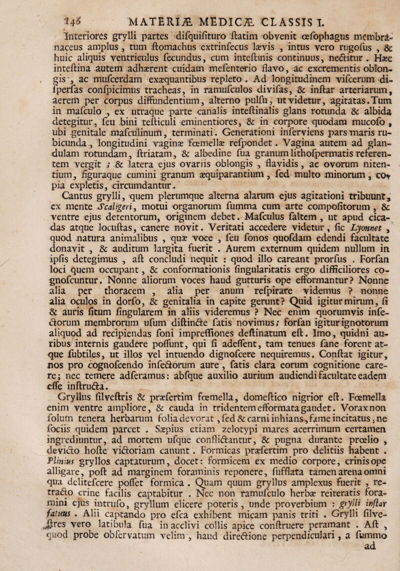 Interiores grylli partes difquifituro ftatim obvenit cefophagus membri- naceus amplus, tum ftomachus extrinfecus laevis , intus vero rugofus , & huic aliquis ventriculus fecundus, cum inteftinis continuus, neditur . Hsec inteftina autem adhaerent cuidam mefenterio flavo, ac excrementis oblon¬ gis', ac mufcerdam exaequantibus repleto . Ad longitudinem vifcerum di- fperfas confpicimus tracheas, in ramufculos divifas, & inftar arteriarum, aerem per corpus .diffundentium-, alterno pulfu, ut videtur, agitatas. Tum in mafculo , ex utraque parte canalis inteftinalis glans rotunda & albida detegitur , feu bini tefticuli eminentiores, & in corpore quodam mucofo , ubi genitale mafculinum, terminati. Generationi inferviens pars maris ru¬ bicunda , longitudini vagina foemellae refpondet. Vagina autem ad glan¬ dulam rotundam, ftriatam, & albedine fua granumlithofpermatis referen¬ tem vergit ; & latera ejus ovariis oblongis , flavidis, ac ovorum niten¬ tium , figuraque cumini granum sequiparantium, fed multo minorum, co* pia expletis, circumdantur. Cantus grylli, quem plerumque alterna alarum ejus agitationi tribuunt, ex mente Scaligeri, motui organorum fumma cum arte compofitorum, dc ventre ejus detentorum, originem debet. Mafculus faltem , ut apud cica¬ das atque locuftas, canere novit. Veritati accedere videtur, fic Lyonnet , quod natura animalibus , quse voce , feu fonos quofdam edendi facultate donavit , & auditum largita fuerit . Aurem externum quidem nullum in ipfis detegimus , aft concludi nequit : quod illo careant prorfus . Forfan loci quem occupant, & conformationis fingularitatis ergo difficiliores co- gnofcuntur. Nonne aliorum voces haud gutturis ope efformantur ? Nonne alia per thoracem , alia per anum refpirare videmus ? nonne alia oculos in dorfo, & genitalia in capite gerunt? Quid igitur mirum, fi & auris fitum lingularem in aliis videremus ? Nec enim quorumvis infe- cforum membrorum ufum diftin&e fatis novimus; forfan igitur ignotorum aliquod ad recipiendas foni impreffiones deftinatum eft. Imo, quidni au¬ ribus internis gaudere poffunt, qui fi adeffent, tam tenues fane forent at¬ que fubtiles, ut illos vel intuendo dignofcere nequiremus. Confiat igitur, nos pro cognofcendo infedorum aure , fatis clara eorum cognitione care¬ re; nec temere adferamus: abfque auxilio aurium audiendi facultate eadem effe inftrufta- Gryllus filveftris Sc praTertim foemella, domeftico nigrior eft. Foemella enim ventre ampliore, & cauda in tridentem efformata gaudet. Vorax non folufn tenera herbarum folia devorat, fed & carni inhians, fame incitatus 3 ne ibciis quidem parcet . Saepius etiam zelotypi mares acerrimum certamen ingrediuntur, ad mortem ufque confli&antur, & pugna durante proelio , devicto hofte vi&orlam canunt. Formicas praefertim pro delitiis habent . Plinius gryllos captaturum, docet: formicem ex medio corpore, crinis ope alligare, poft ad marginem foraminis reponere, fufflata tamen arena omni qua delitefcere poffet formica . Quam quum gryllus amplexus fuerit , re- tra£to crine facilis captabitur . Nec non ramufculo herba? reiteratis fora¬ mini ejus intrufo, gryllum elicere poteris , unde proverbium : grylli inftar fatuus . Alii captando pro efca exhibent micam panis triti . Grylli filve- ifoes vero latibula fua in acclivi collis apice conftruere peramant . Aft , quod probe obfervatum velim, haud diredione perpendiculari, a fummo