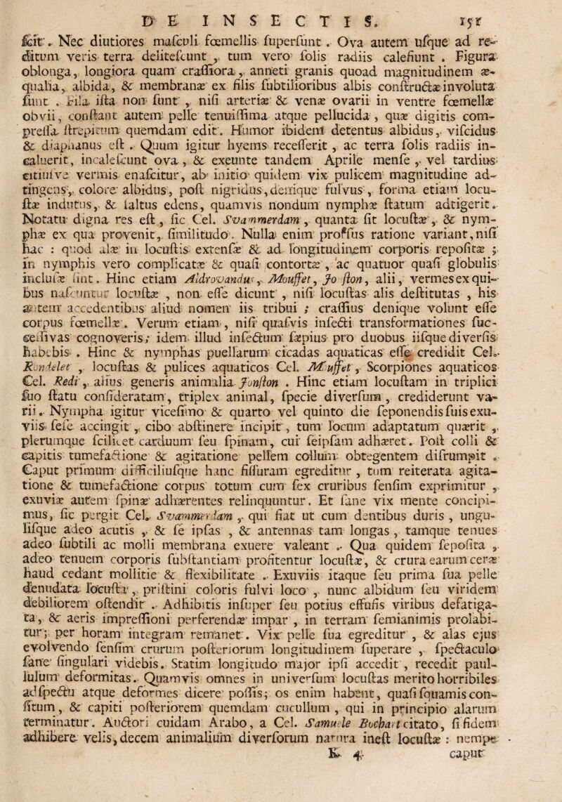 fiit. Nec diutiores mafculi fcemellis fuperfunt. Ova autem ufque ad re¬ ditum veris terra- delitefcunt r tum vero* folis radiis calefiunt . Figura oblonga, longiora quam crafiiora , anneti granis quoad magnitudinem ae¬ qualia^ albida-, & membrana ex Elis fubtilioribus albis conftruda involuta funt * Fila ifta non funt , nifi arteria; & venae ovarii in ventre fcemellas obvii , conftant autem pelle tenui(Tima atque pellucida , qua; digitis com- preifa Erepito® quemdam edit. Humor ibide® detentus albidus r vifcidus &■ diapiianus eft . Quum igitur hyems recefierit, ac terra folis radiis in¬ caluerit, incaleficunt ova, & exeunt e tandem Aprile menfe , vel tardius; cititiive vermis enafcitur, ab mitio* quidem vix pulice® magnitudine ad- tingens,, colore' albidus , poft nigridus, denique fulvus v forma etiam locu- indutus, & ialtus edens, quamvis nondum nymphae flatum adtigerit.. Notatu dtgna res eft , fic Cei. Svammerdam , quanta fit locuftar , & nym¬ phae ex qua provenit,, fimilitudo. Nulla- enim proffus ratione variant, nifi hac : quod alat in Iocoftis- extenfie & ad longitudinem’ corporis repones ;; in nymphis vero complicatae & quafi contorts , ac quatuor quafi globulis inclufs fiat. Hinc etiam Aldr ovandus,- MoufFet, Jo flony alii, vermes ex qui¬ bus fiafcmtur loeufbe , non effe dicunt , nifi locnftas alis delibutas , his a^tem accedentibus aliud nomen iis tribui ; crafiius denique volunt effe corpus foemeils'. Verum etiam , nifi quafvis infe<5li transformationes fuc- ceiiivas cognoveris; idem; illud infedum faepius pro duobus iifque diveriis habebis . Hinc & nymphas puellarum; cicadas aquaticas effe- credidit CeL Mi nddec , locnftas & pulices aquaticos Cei, Af uffet r Scorpiones aquaticos Cei. Medi r ahus generis animalia fonfton . Hinc etiam locuftam in triplici fuo ffatu confideratam, triplex animal, fpecie diverfum , crediderunt va¬ rii . Nympha igitur vice fimo & quarto vel quinto die feponendis fuis exu¬ viis fefe accingitcibo abftinere incipit, tum locum adaptatum qusrit ,, plerumque fcilket carduum feu fpinam, cui4 feipfam adhaeret. Poil colli & capitis- tumefaftione & agitatione pellem collum; obtegentem difrump.it ... Caput primum: dffieiliufque hanc fiffuram egreditur , tum reiterata agita¬ tione & tumefadione corpus totum cum fex cruribus fenfim exprimirur exuvia: autem (pinae adhaerentes relinquuntur. Et fane vix mente concipi¬ mus, fic pergit Cei- Svampm lam r qui fiat ut cum dentibus duris , ungu- lifque adeo acutis r & fe ipfas , 6c antennas tam longas , tamque tenues adeo fubtili ac molli membrana exuere valeant e. Qua quidem fepofit-a adeo tenuem corporis fubftantia® profitentur locufta;, & crura earum ceras haud cedant mollitie & flexibilitate .. Exuviis itaque feu prima fua pelle Renudata; losttffeprillim coloris fulvi loco r nunc albidum feu viridem debiliorem offendit .. Adhibitis infuper feu potius effufis viribus defatiga- ta, &' aeris impreffioni perferenda impar , in terram' femianimis profabi¬ tur; per horam integram'remanet. Vix'pelle fua egreditur , & alas ejus evolvendo fenfim crurum pofferiorum longitudinem fuperare , fpecftaculo fane* fingulari videbis. Statim longitudo major ipfi accedit , recedit paul- iulum deformitas . Quamvis omnes in univerfum locuftas merito horribiles adfpefiu atque deformes dicere'pofiis; os enim habent, quafifquamiscon~ fi tum, Sc capiti pofteriorem quemdam cucullum , qui in principio alarum terminatur. Au&ori cuidam Arabo, a Cei. Sammle Bocpart citato, fi fidem adhibere velis,decem animalium diverforum natura ineft loculis: nempe • & 4;- caput