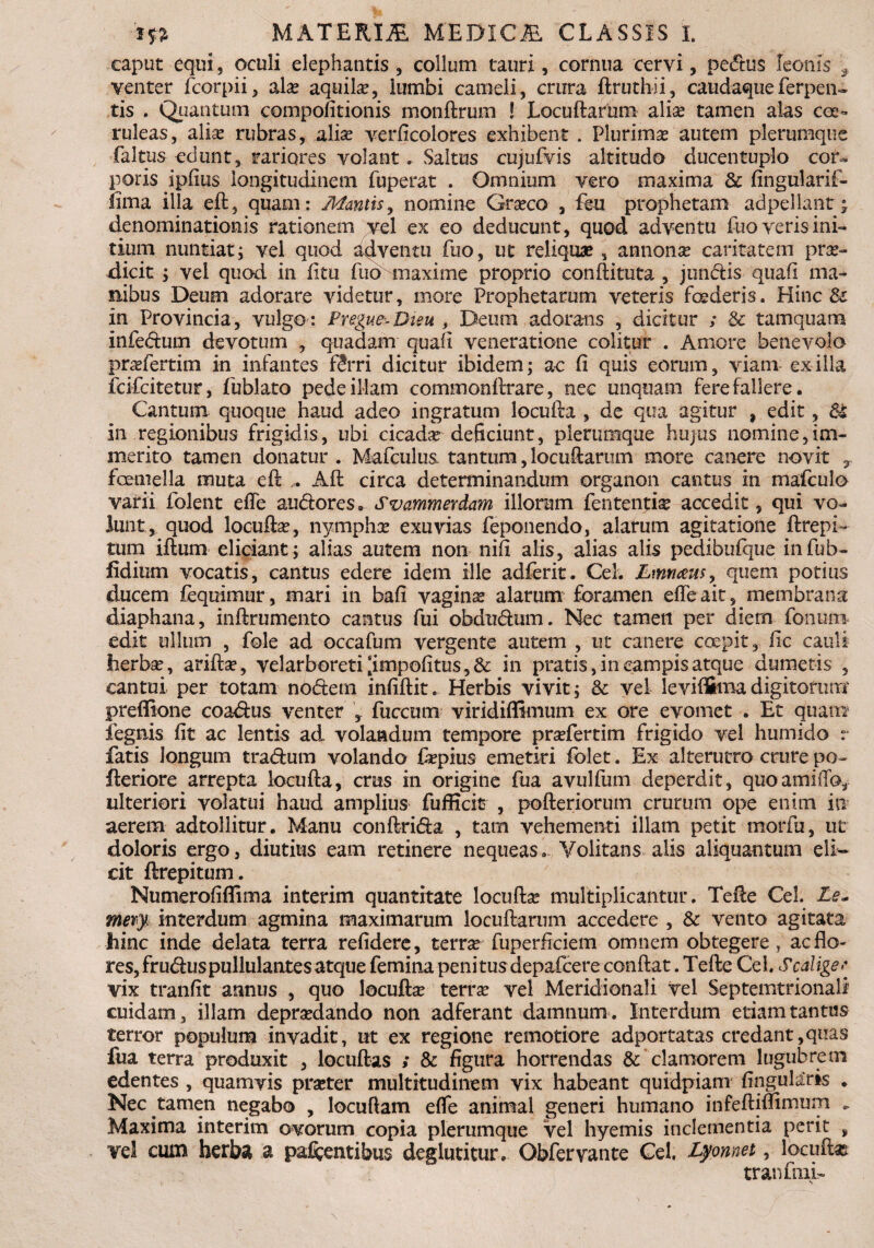 caput equi, oculi elephantis , collum tauri, cornua cervi, peftus leonis , venter fcorpii, alas aquila, lumbi cameli, crura ftruthii, caudaqueferpen- tis . Quantum compofitionis monftrum ! Locuftarum aliae tamen alas coe¬ ruleas, aliae rubras, aliae verficolores exhibent . Plurimae autem plerumque faltus edunt, rariores volant. Saltus cujufvis altitudo ducentuplo cor¬ poris ipiius longitudinem fuperat . Omnium vero maxima & fingularif- fima illa eft, quam: Mantis, nomine Grseco , feti prophetam adpellant; denominationis rationem vel ex eo deducunt, quod adventu fuo veris ini¬ tium nuntiati vel quod adventu fuo, ut reliquae , annonae caritatem prae¬ dicit i vei quod in fitu fuo maxime proprio conftituta , jundis quafl ma¬ nibus Deum adorare videtur, more Prophetarum veteris foederis. Hinc & in Provincia, vulgo: Pregue-Dteu f Deum adorans , dicitur ; & tamquam infedum devotum , quadam quali veneratione colitur . Amore benevolo praefertim in infantes f<?rri dicitur ibidem; ac (i quis eorum, viam exilia feifeitetur, fublato pede illam commonftrare, nec unquam fere fallere. Cantum quoque haud adeo ingratum locufta , de qua agitur , edit, & in regionibus frigidis, ubi cicadasdeficiunt, plerumque hujus nomine,im¬ merito tamen donatur . Mafculus. tantum, locuftarum more canere novit T femella muta eft . Aft circa determinandum organon cantus in mafculo varii folent efle audores. Svammerdam illorum fen tentis accedit, qui vo¬ lunt, quod locuftas, nymphas exuvias feponendo, alarum agitatione ftrepi- tum iftum eliciant; alias autem non nifi alis, alias alis pedibufque infub- fidium vocatis, cantus edere idem ille adferit. Cei. JLmmus, quem potius ducem fequimur, mari in bafi vaginas alarum foramen efle ait, membrana diaphana, inftrumento cantus fui obdudtim. Nec tamen per diem fonuni edit ullum , fole ad occafum vergente autem , ut canere erepit, fic cauli herbas, arifts, velarboreti [impolitus, & in pratis, in campis atque dumetis , cantui per totam nodem infiftit. Herbis vivit; & vel leviflSknadigitorum prefiione coadus venter , fuccum viridiffimum ex ore evomet . Et quam fegnis fit ac lentis ad. volandum tempore prasfertim frigido vel humido r fatis longum tradum volando faspius emetiri folet. Ex alterutro crure po- fteriore arrepta locufta, crus in origine fua avulfum deperdit, quoamiffo, ulteriori volatui haud amplius fufficit , pofteriorum crurum ope enim in aerem adtollitur. Manu conftrida , tam vehementi illam petit morfu, ut doloris ergo, diutius eam retinere nequeas. Volitans alis aliquantum eli¬ cit ftrepitum. Numerofiflima interim quantitate locuftas multiplicantur. Tefte Cei. Le« merj interdum agmina maximarum locuftarum accedere , & vento agitata hinc inde delata terra refidere, terras fuperficiem omnem obtegere, aeflo¬ res, fr udus pullulantes atque femina peni tus depafcere conftat. Tefte Cei. Scalige? vix tranfit annus , quo locuftas terras vel Meridionali vel Septemtrionali cuidam, illam depraedando non adferant damnum. Interdum etiam tantus terror populum invadit, ut ex regione remotiore adportatas credant,quas fua terra produxit , locuftas ; & figura horrendas & clamorem lugubrem edentes , quamvis praster multitudinem vix habeant quidpiam finguliris . Nec tamen negabo , locuftam efle animal generi humano infeftiffimum » Maxima interim ovorum copia plerumque vel hyemis inclementia perit , vel cum herba a pallentibus deglutitur» Obfervante Cei. Lyonnet, locuftas tr an fini.-