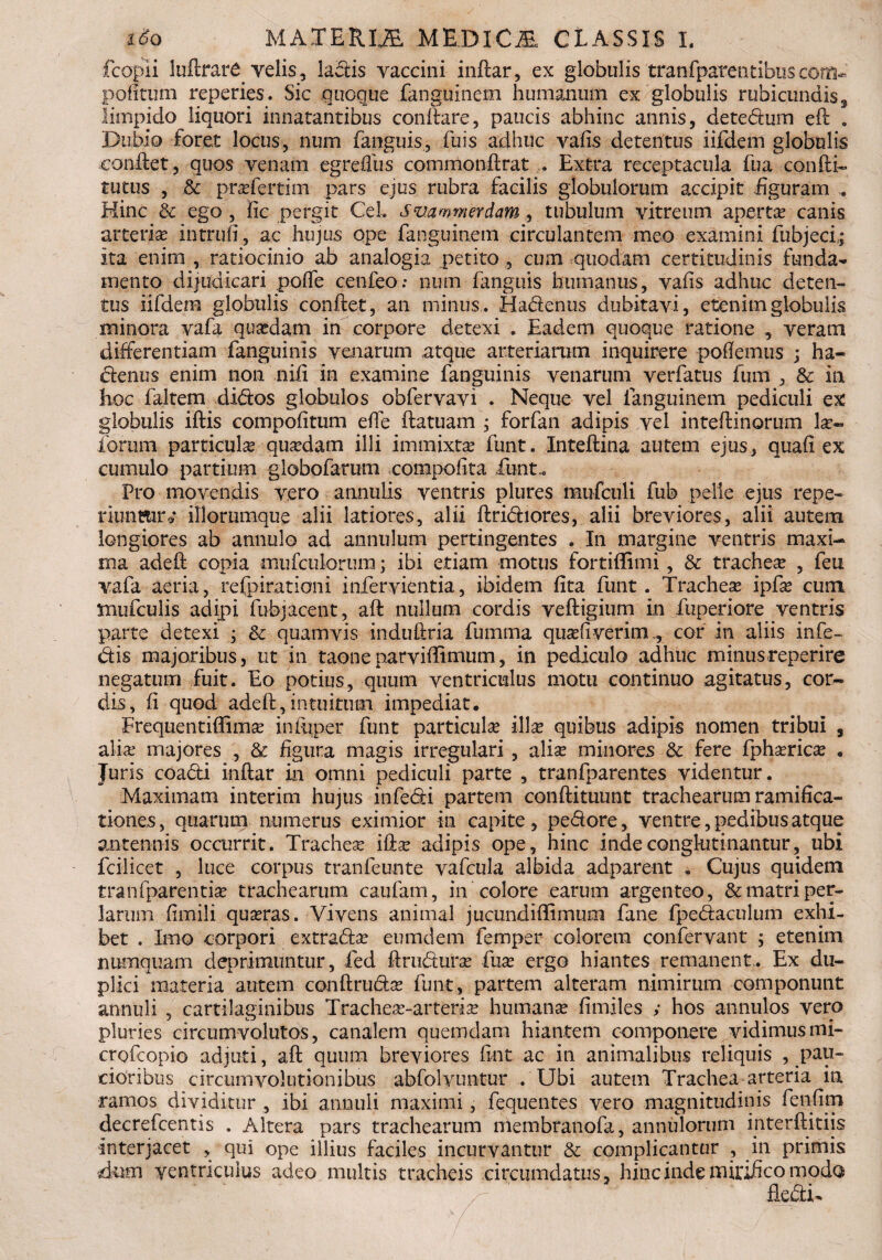 ido MAXERIJE ME.DlCiE CLASSIS I. fcobli lultrare velis, laciis vaccini inftar, ex globulis tranfpatentibuscotsu pofltum reperies. Sic quoque fanguinem humanum ex globulis rubicundis 3 limpido liquori innatantibus conila re, paucis abhinc annis, detedum eil „ Dubio foret locus, num fanguis., fuis adhuc vafis detentus iifdem globulis conflet, quos venam egreffus commonilrat . Extra receptacula fua confli- tutus , & prasfertim pars ejus rubra facilis globulorum accipit figuram .. Hinc & ego , fic pergit Cei. svammerdam, tubulum vitreum apertas canis arterias introii, ac hujus ope fanguinem circulantem meo examini fubjecf; Ita enim , ratiocinio ab analogia petito , cum quodam certitudinis funda¬ mento dijudicari poffe cenfeo; num fanguis humanus, vafis adhuc deten¬ tus iifdem globulis conflet, an minus. Hadenus dubitavi, etenim globulis minora vafa quasdam in corpore detexi . Eadem quoque ratione , veram differentiam fanguims venarum atque arteriarum inquirere pofiemus ; ha¬ denus enim non nifi in examine fanguinis venarum verfatus fum , & ia hoc faltem didos globulos obfervavi . Neque vel fanguinem pediculi ex globulis iflis compofitum effe flatuam ; forfan adipis vel inteflinorum Il¬ iorum particula quadam illi immixta; funt. Inteflina autem ejus, quafi ex cumulo partium globofarum conapofita fiunt.» Pro movendis vero annulis ventris plures muficuli fiub pelle ejus repe- riunrnr® iliorumque alii latiores, alii flridiores, alii breviores, alii autem longiores ab annulo ad annulum pertingentes . I11 margine ventris maxi¬ ma adeft copia mufcuiorura; ibi etiam motus fortiflimi, & tracheas , fieu vafia aeria, refpiraticrni infiervientia, ibidem fita fiunt. Tracheas ipfas cum vnufculis adipi fubjacent, afl nullum cordis vefligium in fiuperiore ventris parte detexi ; & quamvis induflria fiumma quasfiverimcor in aliis infe- dis majoribus, ut in taoneparvifiimum, in pediculo adhuc minusreperire negatum fuit. Eo potius, quum ventriculus motu continuo agitatus, cor¬ dis, fi quod adeft,intuitum impediat. Frequentiftimas infqper fiunt particulas illas quibus adipis nomen tribui , alias majores , & figura magis irregulari , alias minores 8c fere fphaericas . Juris coadi inftar in omni pediculi parte , tranfparentes videntur. Maximam in ter im hujus infedi partem conftituunt trachearum ramifica- tiones, quarum numerus eximior in capite, pedore, ventre, pedibus atque antennis ocairrit. Trachea iftas adipis ope, hinc inde conglutinantur, ubi fcilicet , luce corpus tranfeunte vafcula albida adparent . Cujus quidem tranfparentias trachearum caufam, in colore earum argenteo, & matri per- larum fimili quasras. Vivens animal jucundiffimum fiane fpedaculum exhi¬ bet . Imo corpori extradas eumdern femper eoiorem confervant ; etenim numquam deprimuntur, fied ftruduras fuse ergo hiantes remanent.. Ex du¬ plici materia autem conftrudas funt, partem alteram nimirum componunt annuli , cartilaginibus Tracheas-arterias humanas fimiles ,* hos annulos vero pluries circumvolutos, canalem quemdam hiantem componere vidimusmi- croficopio adjuti, aft quum breviores fint ac in animalibus reliquis , pau¬ cioribus circumvolutionibus abfolvuntur . Ubi autem Trachea arteria in ramos dividitur , ibi annuli maximi, fiequentes vero magnitudinis fienfim decreficentis . Altera pars trachearum niembranofa, annuloriim mterftitiis Interjacet , qui ope illius faciles incurvantur & complicantur , in primis dmti ventriculus adeo multis tracheis circumdatus, hinc inde mirifico modo fiedU