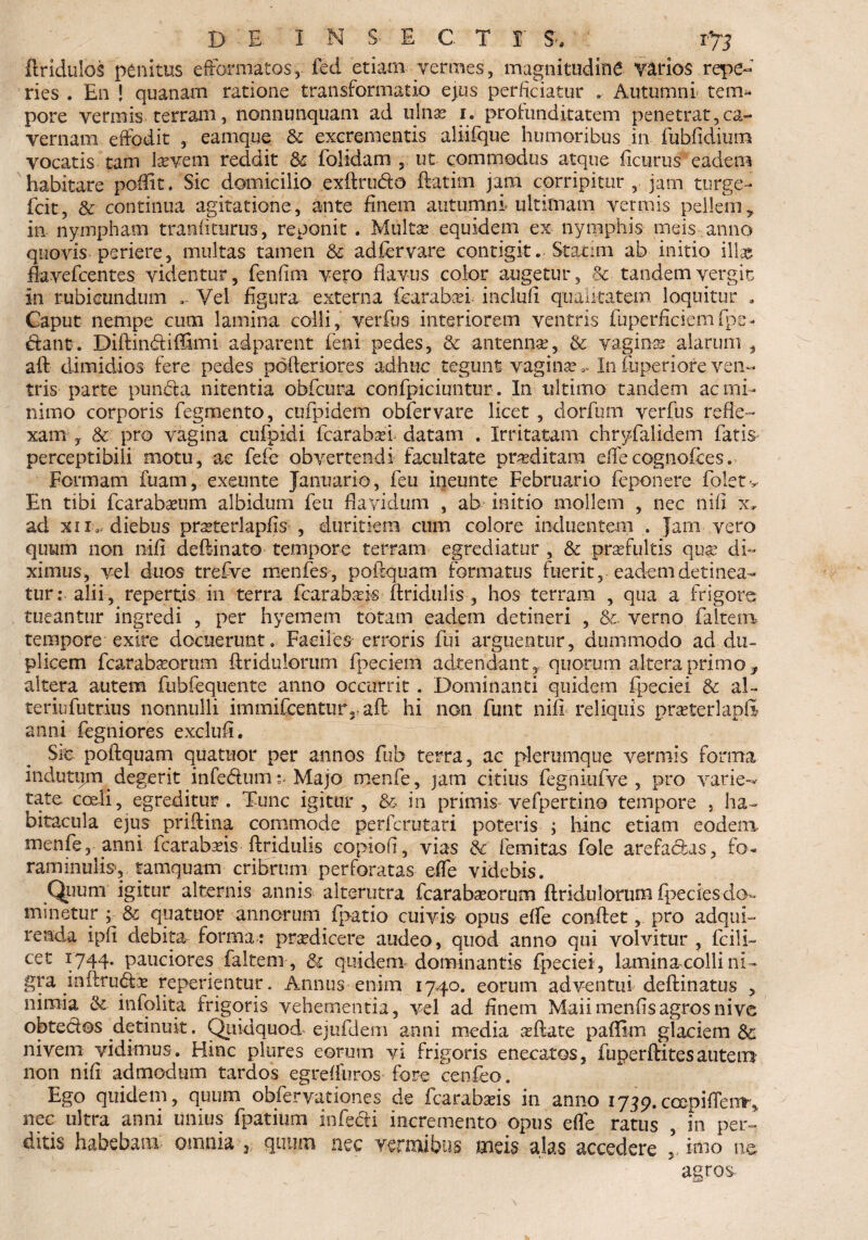 Aridulos penitus efForniatos, feci etiam vermes, magnitudine varios repe- ries . En ! quanam ratione transformatio ejus perficiatur . Autumni- tem^ pore vermis terram, nonnunquam ad ulnse i. profunditatem penetrat,ca¬ vernam effodit , eamque & excrementis aliifque humoribus in fubfidium vocatis tam laevem reddit & folidam ut commodus atque ficurus eacleni habitare poffit. Sic domicilio exftru&o ftatim jam corripitur , jam turge- fcit, & continua agitatione, ante finem autumni ultimam vermis pellem> in nympham tranfiturus, reponit . Multa? equidem ex nymphis meis anno quovis periere, multas tamen & adfervare contigit. Stanni ab initio illa» flavefcentes videntur, fenfim vero flavus color augetur, & tandem vergit in rubicundum Vel figura externa fcarabad inclufi qualitatem loquitur . Caput nempe cum lamina colli, verfus interiorem ventris fuperficiemfpc- dant. Diftindiffimi adparent feni pedes, & antennas, & vaginas alarum , aft dimidios fere pedes pditeriores adhuc tegunt vagina?In fuperiore ven¬ tris parte punda nitentia obfcura confpiciuntur. In ultimo tandem ac mi¬ nimo corporis fegmento, cufpidem oblervare licet , dorfum verfus refle¬ xam 5 & pro vagina cufpidi fcarabad datam . Irritatam chryfalidem fatis perceptibili motu, ac fefe obvertendi facultate proditam effecognofces. Formam luam, exeunte Januario, feu ineunte Februario ieponere foletv En tibi fcaraba?um albidum feu flavidum , ab initio mollem , nec nifi x., ad xir,, diebus prsterlapfls , duritiem cum colore induentem . Jam vero quum non nifi deftinato tempore terram egrediatur , & praefultis quae di¬ ximus, vel duos trefve menfes , poftquam formatus fuerit, eadem detinea¬ tur: alii, repertis in terra Icarabads ftridul is , hos terram , qua a frigore tueantur ingredi , per hyemem totam eadem detineri , &. verno faltenv tempore exire docuerunt. Faciles erroris fui arguentur, dummodo ad du¬ plicem fcaraba?ornm Aridulorum fpeciem adtendant, quorum altera primo y altera autem fubfequente anno occurrit . Dominanti quidem fpeciei & al~ teriufutrius nonnulli immifeentur,-aft hi non funt nifi reliquis prseterlapfi- anni fegniores exclufl. Sic poftquam qua tuor per annos fub terra, ac plerumque vermis forma indutum degerit infedum ■%< Majo menfe, jam citius feghiufve , pro varie-* tate coeli, egreditur . Tunc igitur , & in primis vefpertine tempore , ha¬ bitacula ejus priftina commode perferutari poteris ; hinc etiam eodem menfe, anni fcarabaeis- ftridulis copiofl, vias &' femitas fole arefa&as, fo- raminulis, tamquam cribrum perforatas effe videbis. Quum igitur alternis annis-alterutra fcarabseorum ftridulorunci fpeciesdo- minetur ; & quatuor annorum fpatio cuivis opus effe conftet, pro adqui- reada ipfi debita forma: prodicere audeo, quod anno qui volvitur , fcili- cet 1744. pauciores faltem, & quidem dominantis fpeciei, laminacolli ni¬ gra Jnftru&a? reperientur. Annus enim 1740. eorum adventui deftinatus , nimia & infolita frigoris vehementia, vel ad finem Maiimenfisagros nive obtectos detinuit. Quidquod• ejufdem anni media aftate paflkn glaciem & nivem vidimus. Hinc plures eorum vi frigoris enecatos, fuperftitesautem non nifi admodum tardos egrefiuros fore cenfeo. Ego quidem, quum obfervationes de fcarabaeis in anno 1739.ccepifiem, nec ultra anni unius fpatium infedti incremento opus effe ratus , in per¬ ditis habebam omnia j; quum nec vermibus meis alas accedere imo ne agros-