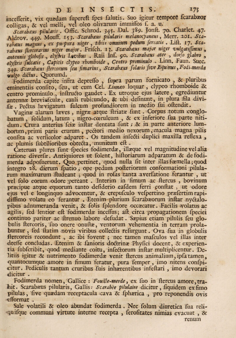 Sncefferit , vix quadam fupereft fpes falutis. Suo igitur tempora fcarabaeoi colligas, & vel melli, vel oleo olivarum immiflos f. a. u. Scarabaeus piiularis , Offic. Schrod. 34?* T)al. 3^9® Jonft. 70. Charlet. 47° Aldrov. 449. Mouff, 153. Scarabaeus pilularis melanocyaneus, Men\ 201. Sca¬ rabaeus magnus, ex purpura niger , tibiis omnium pedum ferratis . Lift. 17. «Ica- rabxus percomius niger major. Frifch. 13. Scarabaeus major niger vulgatiffmus „ antennis gbbofis„ elyjkis Uvibus Raii InF. 90. Scarabaeus ater , dorfo glabro 9 elyflris ifidcatis , Gijpifix clypeo rbomboide , prominulo „ Linn. Faun. Suec, 349. Scarabaeus flercorum [eu [marius3 Scardbms [olaris five Equinus [Fodi-merda vulgo ditius. Quorumd. o Fodimerda capite infra deprefifo , fupra parum fornicato , & pluribus eminentiis confito, Ceu, ut cum Cei. Lirm&o loquar , clypeo rbomboide & centro prominulo 3 inftrudo gaudet. Ex utroque ejus latere, egrediuntur antenna brevideulse, cauli rubicundo, & ubi definunt, in plura fila divi?» £x . Pedus levigatum fulcum profundiorem in medio fui oftendit* Vagina alarum lceves , nigra atque ftriara funt . Corpus itotum conglo¬ batum , folidum, latum , nigro-ccemleum , & ex Inferiore Tua parte niti¬ dum. Crura anterius fera inftar dentata funt; in parte anteriore lum¬ borum, primi paris crurum , pedori medio nexorum, macula magna pilis confita ac verficolor adparetOs tandem infedi duplici maxilla reflexa 3 ac plumis fubtilioribus obteda, munitum eft . Geterum plures funt Tpecies fodimerda, iliceque vel magnitudine vel alia ratione diverfa?. Antiquiores ut Folent, hiftoriarum adparatum & de fodi- merda adpofuerunt. Quo pertinet, quod nulla fit inter illas foemella; quod integro 28. dierum fpatio, ope pedum pofteriorum conformationi pilula¬ rum maximarum ;lludeant 5 quod in rofas tanta averfatione ferantur , ut vel folo eorum odore pereant . Interim in fimum ac ftercus , bovinum pracipue atque equorum tanto defiderio eafdem ferri conflat , ut odore ejus vel e longinquo advocentur, & crepufculo vefpertino prafertim rapi- diflimo volatu eo ferantur . Etenim plurium Fcaratraorum inftar nydalo- pibus adnumeranda venit, & fofis fplendore ocracatur- Eacilis volatus ac agilis, fed lentior eft fodimerdse incefius; aft circa propagationem fpeciei continuo pariter ac ftrenuo labore defudat. Saepius etiam pilulis feu glo¬ bulis ftercoris, fuo onere onufe, ventorum vehementia in terram prola- buntur , fed ftatim novis viribus colledis refurgunt. Ova fua in globulis ftercoreis recondunt , ac ibi fovent ; nec tamen mafculos vel illas inter deefle concludas. Etenim & fanioris dodrina? Phyfici docent, & experien¬ tia fubfcribit, quod mediante coitu, infedorum inftar multiplicentur. De¬ liriis igitur & nutrimento fodimerda* venit ftercus animalium,ipfatamen, quantocumque amore in fimum feratur, pura femper, imo nitens confpi- citur. -Pediculis tantum cruribus Tuis inhaerentibus infeftari , imo devorari dicitur . Fodimerda nomen, Gallice : Fouille-merde, ex fuo in ftercus amore,tra¬ hit. Scarabaeus pilularis, Gallis.* Scarabee pilulaire dicitur, Equidem ex fimo pilulas, 'five qusedam rreceptacula cava & fphaerica , pro reponendis ovis efformat... Sale volatili & oleo abundat fodimerda. Nec folum diuretica fua reli* quifque communi virtute interne recepta , ferofitates nimias evacuat , *& renum