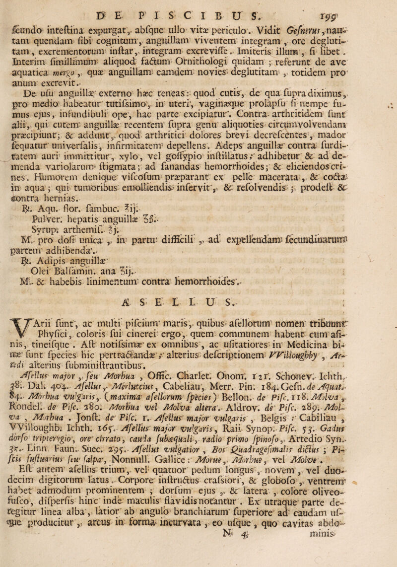 fenndo inteftina expurgat,* abfque ullo vita? periculov Vidit Gefntm,nm« tam quendam fibi cognitum, anguillam viventem integram , ore degluti- tam, excrementorum i nitar, integram excrevifie .* Imiteris illum , fi libet . Interim fimillimum aliquod fa&um? Ornitfiologi quidam ; referunt de ave aquatica mergo r. qua? anguillam camdem novies degiutitam r totidem pro anum excrevit De ufu anguillas/ externo ha?c teneas t quod cutis , de qua fupra diximus r pro medio habeatur tutifsimo, in uterfy vaginasque prolapfu fi nempe fu¬ rnus ejus, infundibuli ope, hac parte excipiatur'. Contra arthritidem funi alii, qui cutem* anguilla? recentem fupra genu aliquoties circumvolvendam praecipiunt; & addunt,, quod arthritici dolores brevi decrefcentes , mador fequatur univerfalis, infirmitatem depellens. Adeps anguilla contra furdi-*. tatem aurf immittitur., xylo , vel golfypio infiillatus ; adhibetur & ad de¬ menda variolaruim digmata; ad fanandas hemorrhoides; & eliciendos cri¬ nes. Humorem denique vifcofum prasparant ex pelle macerata , & coda in aqua ; qui tumoribus emolliendis*- infer vity* & refolvendis $; prodefi; 8£ Contra hernias.. B*. Aqu. flor, fambuc. Tijl Pulver, hepatis anguilla; Syrupi arthemif. Mf pro dofi unica’,, in partu’ difficili partem adhibenda’.. adi expellendam? fjn Adipis anguillas? Olei' Ballamur. ana 5ij.> E. &- habebis linimentum- contra Hemorrhoides A S E L L U S. JTArii funty ac multi pifciunr maris,, quibus? afellorum nomen tribuunt” Phyfici , coloris fui cinerei? ergo, quem communem habent? cimrafi- nis, tineifque . Alt notifsimas ex omnibus-, ac ufitatiores in Medicina bi^ flfc- funt' fpecies hic pertradand^ > alterius defcriptionem Willoughbyy Ar* t%di alterius fubminiftrantibus. Afdius major y feu Morhua , Offic. Charlet. Onom. 121; SchoneVo Ichth. 3$Dak 404.. Afellus r Merlttccius, Cabeliauy Merr. Pin: i84.Gefn. de Aquata 84.. Morhua vulgaris r (,maxima afellorum fpecies) Bellon. de Pifc. 11%. Malva r Rondel.- de' Pifc,- 280; Morhua vel Malva.’ altera Aldrov. de’ Pifc, Mal¬ va , Morhua , Jonft. deJ Pifc. r. Afellus major vulgaris , Belgis r Cabiliau j Wiiloughbi Iehth. 16Afellus major vulgaris\ Raii-Synop1 Pifc, 55. Gadtts dorfo tripterfgio, ore3 cirrato , cauia fubaqmii, radio primo fpinofor Artedio Sym- Linrr Faun, Suec. 2950- Afellus vulgatior, Bos Quadr age funali? ditius ; Fi- fcis fuflmdus ftw falpaq Nonnull. Gallice r Morue r Morbue, vel Molve , EO: autem afellus trium1,, vel quatuor pedum longus , novem,, vel duo¬ decim digitorum’ latus . Corpore inftrudus crafsiori , & globofo ventrem* habet admodum prominentem ; dorfum ejus & latera , colore oliveo- fufco, difperfis hinc inde maculis flavidis notantur . Ex utraque parte de¬ tegitur linea alba’,, latior ab angulo branchiarum* fuperiore ad caudam uR qm producitur ,, arcus in formauncurvata, eo ufque, quo cavitas abdo-* minis»