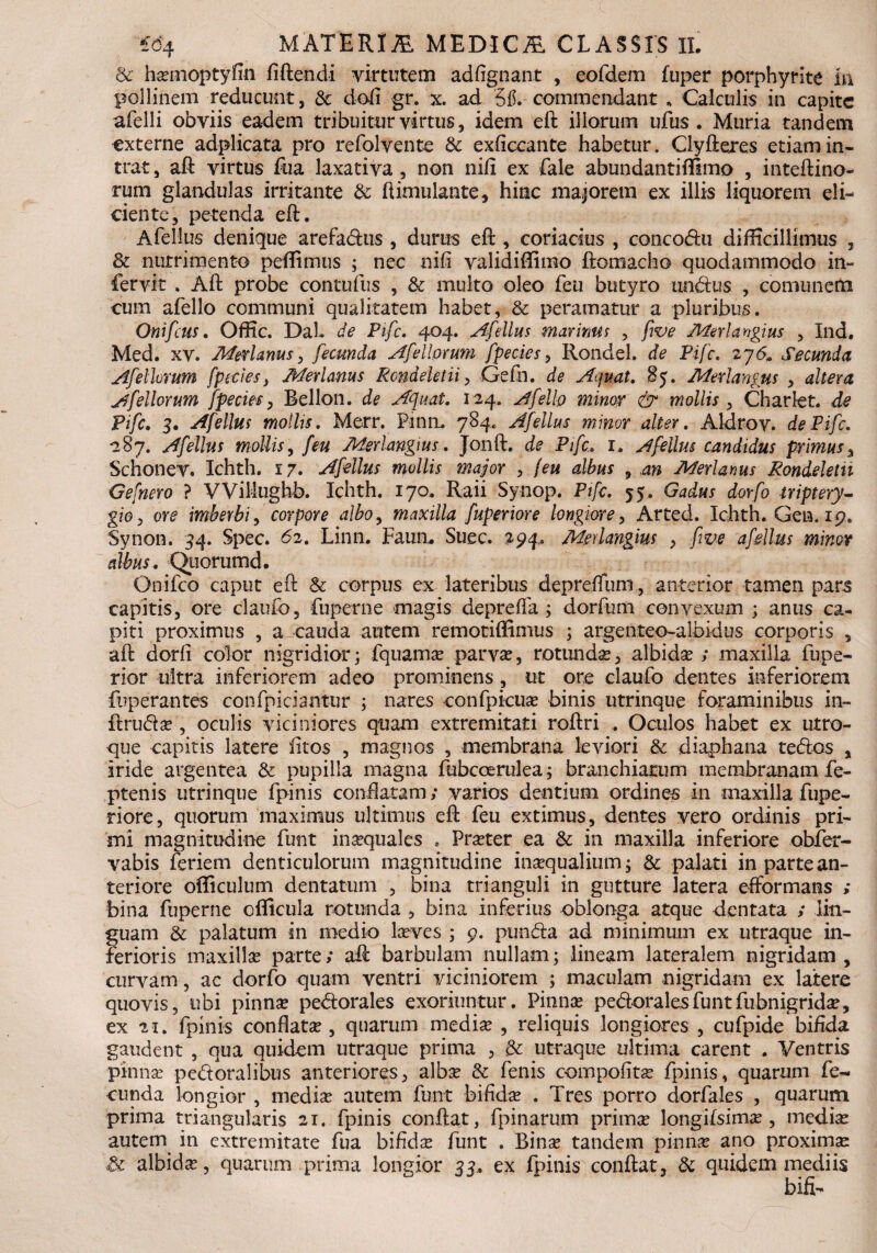 & hsemoptylfin fiftendi virtutem adfignant , eofdem fuper porphyrite hi pollinem reducunt, & dofi gr. x. ad 315. commendant * Calculis in capite afelli obviis eadem tribuitur virtus, idem eft illorum ufus . Muria tandem externe adplicata pro refolvente & exliccante habetur. Clyfteres etiam in¬ trat, aft virtus fua laxativa, non nili ex fale abundantiflfimo , inteftino- rum glandulas irritante & ftimulante, hinc majorem ex illis liquorem eli¬ ciente, petenda eft. Afellus denique arefa&us , durus eft , coriacius , conco<ftu difficillimus , & nutrimento peffimus ; nec nili validiffimo ftomacho quodammodo in- fervit . Aft probe contufus , & multo oleo feu butyro undius , comunem cum afello communi qualitatem habet, & peramatur a pluribus. Onifcus. Qffic. DaL de Pifc. 404. Afellus marinus , five Merlangius , Ind. Med. xv. Meri anu s, fecunda A fetiorum fpecies, Rondel. de Pifc. 27 6. Secunda Afelhrum fpecies, Merlanus Rcndeletii, Gefn. de Aquat. 85. Merlangus , altera Afellorum fpecies, Rellon. de Ajuat. 124. Afello minor & mollis, Charlet. de Pifc. 3. Afellus mollis. Merr. Pinrn 784« Afellus minor alter. Aldrov. de Pifc. 1287. Afellus mollis, /<?# Merlmgius. Jonft. de Pifc. 1. Afellus candidus primus, Schonev. Ichth. 17. Afellus mollis major , , 4» Merlanus Rondeleth Gefnero ? VVillughb. Ichth. 170. Raii Synop. Pifc. 55. Gadus dorfo triptery- gzo, or? imberbi, corpore albo, maxilla fuperiore longiore, Arted. Ichth. Geia. 19. Synon. 34. Spec. 62. Linn. Faun. Suec. 294.. Medangius , fiv-e afellus minor albus. Qtiorumd. Onifco caput eft & corpus ex lateribus depreflum , anterior tamen pars capitis, ore claufo, fuperne magis depreffa ; dorfum convexum ; anus ca¬ piti proximus , a cauda autem remotiffimus ; argenteo-albidus corporis , aft dorli color nigridior; fquamae parvas, rotundas, albida ; maxilla fupe- rior ultra inferiorem adeo prominens , ut ore claufo dentes inferiorem fuperantes confpiciantur ; nares confpicuae binis utrinque foraminibus in~ ftru&as , oculis viciniores quam extremitati roftri . Oculos habet ex utro¬ que capitis latere iitos , magnos , membrana leviori & diaphana tedos , Iride argentea & pupilla magna fubcoerulea; branchiarum membranam fe- ptenis utrinque fpinis conflatam; varios dentium ordines in maxilla fupe- riore, quorum maximus ultimus eft feu extimus, dentes vero ordinis pri¬ mi magnitudine funt inaequales . Praeter ea & in maxilla inferiore obfer- vabis feriem denticulorum magnitudine inaequalium; & palati in parte an¬ teriore officulum dentatum , bina trianguli in gutture latera efformans ; bina fuperne cfficula rotunda , bina inferius oblonga atque dentata ; lin¬ guam & palatum in medio lasves ; 9. pun£la ad minimum ex utraque in¬ ferioris maxillae parte; aft barbulam nullam; lineam lateralem nigridam , curvam, ac dorfo quam ventri viciniorem ; maculam nigridam ex latere quovis, ubi pinnae peblorales exoriuntur. Pinnae pe&oralesfuntfubnigridae, ex 21. fpinis conflatae, quarum mediae , reliquis longiores , cufpide bifida gaudent , qua quidem utraque prima , <k utraque ultima carent . Ventris pinnae pe&oralibus anteriores, albae & fenis compofitse fpinis, quarum fe¬ cunda longior , mediae autem funt bifidae . Tres porro dorfales , quarum prima triangularis 21. fpinis conflat, fpinarum primae longifsimae , mediae autern in extremitate fua bifidae funt . Binae tandem pinnas ano proximae Sc albidae, quarum prima longior 33.. ex fpinis conflat, & quidem mediis