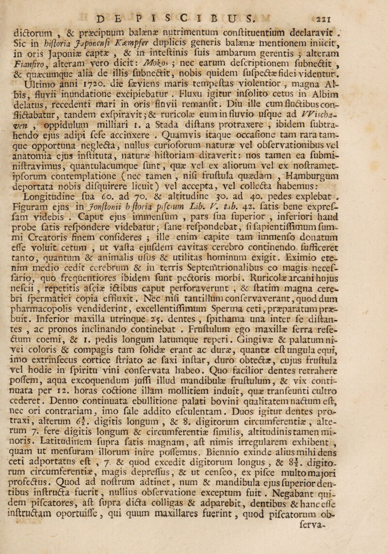 didorum , Sc pra?cipnum balaenae nutrimentum conftituentium declaravit . Sic in hiflorta Jjponenfc Kcempfer duplicis generis bala?na? mentionem inficit, in oris Japonia? capta? , 8c m finteftinis fuis ambarum gerentis ; alteram Fianfiro, alteram vero dicit: Mokos ; nec earum defcriptionem fubnedit , $c quaecumque alia de illis fubnedit, nobis quidem fufpeda? fidei videntur . Ultimo anni 1720. die faeviens maris tempeftas violentior , magna Al¬ bis, fluvii mundatione excipiebatur . Fluxu igitur infolito cetus in Albim delatus, recedenti mari in oris Invii rem an lit. Diu ille cum fludibus coiv ftidabatur, tandem exfpiravit;& ruricola? eum in fluvio ufque ad FFischa- *ven , oppidulum milliari r. a Stada diflans protraxere , ibidem fubtra- hendo ejus adipi fefe accinxere . Quamvis itaque occafione tam rara tam- que opportuna negleda, nullus curioforum naturae vel obfervatioiiibusvel anatomia ejus inftituta, natura hiftoriam ditaverit: nos tamen ea fiibmi- niftravimus, quantulacumque funt, qua? vel ex aliorum vel ex noftramet- ipforum contemplatione (nec tamen , nifi fruftula quaedam , Hamburgura deportata nobis difquirere licuit) vel accepta, vel colleda habemus r Longitudine fua 60. ad 70, & altitudine 30, ad 40. pedes explebat * Figuram ejus in Jonflonii b ftoria pifcmm Lib. V. ■ ub, 42. fatis bene expref* fam videbis . Caput ejus immenfuni , pars fua fuperior , inferiori haud probe fatis refpondere videbatur; fane refpondebat, fifapientiffi-mumfum- mi Creatoris finem confideres ; ille enim capite tam immenfo donatum efle voluit cetum , ut vafia ejufdem cavitas cerebro continendo fufficeret tanto, quantum 8c animalis ufus & utilitas hominum exigit. Eximio ete¬ nim medio cedit cerebrum & in terris Septentrionalibus eo magis necef- fario, quo frequentiores ibidem funt pedoris morbi. Ruricola? arcani hujus nefcii , repetitis afcia? idibus caput perforaverunt , & ftatim magna cere^ bri fpermatiei copia effluxit. Nec nifi tantillum conferva verant, quod dum pharmacopolis vendiderint, exccllentiflimum Sperma ceti,-prseparatumprae¬ buit. Inferior maxilla utrinque 25. dentes , fpithama una inter fe di flan¬ tes , ac pronos inclinando continebat . Frnflulum ego maxillae ferra refe- dum coemi, & 1. pedis longum latumque reperi. Gingiva? & palatum ni¬ vei coloris & compagis tam folida? erant ac dura?, quanta? eft ungula equi, imo extrmfeeus cortice ftriato ac faxi inftar, duro obtedse, cujus fruftula vel hodie in fpiritu vini confervata habeo. Quo facilior dentes retrahere poflem, aqua excoquendum jnffi illud mandibula? fruftulum, & vix conti¬ nuata per 12. horas codione illam mollitiem induit, qua? tranfeunti cultro cederet. Denuo continuata ebullitione palati bovini qualitatem nadum efts nec ori contrariam, imo fale addito efculentam. Duos igitur dentes pro- traxi, alterum 6\. digitis longum , & 8. digitorum circumferentia, alte¬ rum 7. fere digitis longum & circumferentia? fimilis, altitudinis tamen mi¬ noris. Latitudinem fupra fatis magnam, aft nimis irregularem exhibent , quam ut menfuram illorum inire poflemus. Biennio exinde alius mihi dens ceti adportatus eft , 7. & quod excedit digitorum longus , 8|. digito¬ rum circumferentiae, magis depreffus, & ut cenfeo, ex pifce multo majori profedus. Quod ad noftrum adtinet, num & mandibula ejus fuperior den¬ tibus inftruda fuerit, nullius obfervatione exceptum fuit. Negabant qui¬ dem pifcatores , aft fupra dida colligas & adparebit, dentibus & hanc efle inftrudam opormiffe, qui quum maxillares fuerint, quod pifcatorum ob- ferva-