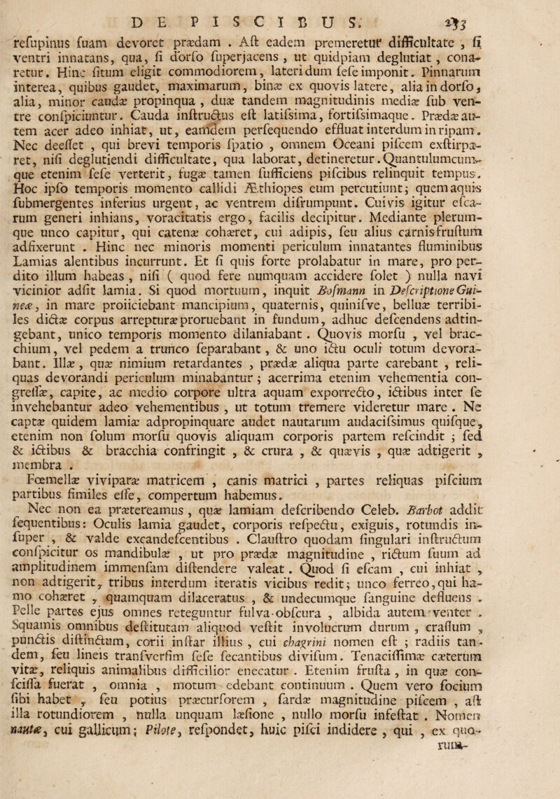 refuplnus fuam devoret prxdam . Aft eadem premeretur difficultate , fi ventri innatans, qua5 fi dbrfo fuper jacens , ut quidpiam deglutiat, cona¬ retur. Hinc iitum eligit commodiorem, lateri dum fefe imponit, Pinnarum interea, quibus gaudet, maximarum, bina? ex quovis latere, aliaindorfo* alia, minor cauda? propinqua , dux tandem magnitudinis medix fub ven¬ tre confpiciuntur. Cauda inftriidus eft latifsima, fortifsimaque„ Prxdx au¬ tem acer adeo inhiat, ut, eamdern perfequendo effluat interdum in ripam. Nec deeflet , qui brevi temporis fpatio , omnem Oceani pifcem exftirpa- ret, nifi deglutiendi difficultate, qua laborat, detineretur.Quantulumcunv que etenim fefe verterit, fugx tamen fufficiens pifcibus relinquit tempus. Hoc ipfo temporis momento callidi iEthiopes eum percutiunt ; quem aquis fubmergentes inferius urgent, ac ventrem difrurnpunt. Cuivis igitur efca- rum generi inhians, voracitatis ergo, facilis decipitur. Mediante plerum¬ que unco capitur, qui catena? cohxret, cui adipis, feu alius carnis fruftum adfixerunt . Hinc nec minoris momenti periculum innatantes fluminibus Lamias alentibus incurrunt. Et fi quis forte prolabatur in mare, pro per¬ dito illum habeas , nifi ( quod fere numquam accidere folet ) nulla navi vicinior adfit lamia. Si quod mortuum, inquit Bofmann in DefcriptioneGm- nece, in mare proficiebant'mancipium, quaternis, quinifve* bellux terribi¬ les didx corpus arrepturx proruebant in fundum , adhuc defcendens adtin- gebant, unico temporis momento dilaniabant . Quovis morfu vel brac- chium, vel pedem a trunco feparabant, & uno idu oculi totum devora» bant. Illa?, qua? nimium retardantes , pra?da? aliqua parte carebant , reli¬ quas devorandi periculum minabantur ; acerrima etenim vehementia con~ greflx, capite, ac medio corpore ultra aquam exporredo, idibus inter Ib invehebantur adeo vehementibus , ut totum tremere videretur mare . Ne capta? quidem lamia? adpropinquare audet nautarum audacifsimus qui-fque, etenim non folum morfu quovis aliquam corporis partem refcindit ; fed & idibus & bracchia confringit , & crura , & quaevis , qua? adtigerit 9 membra . Foemelix viviparx matricem , canis matrici , partes reliquas pifcium partibus fimiles effe, compertum habemus. Nec non ea prxtereamus , qtix lamiam defcribendo Celeb. Barbot addit fequentibus: Oculis lamia gaudet, corporis refpedu, exiguis, rotundis in- fuper , & valde excandefcentibus . Clauftro quodam Angulari inftrudum confpicitur os mandibulx , ut pro prxdx magnitudine , ridum ftium ad amplitudinem immenfam diftendere valeat. Quod fi efcam , cui inhiat , non adtigerit, tribas interdum iteratis vicibus redit; unco ferreo,qui ha¬ mo cohaeret , quamquam dilaceratus , & undecumque fanguine defluens . Pelle partes ejus omnes reteguntur fulva-obfcura , albida autem venter .. Squamis omnibus deftitutain aliquod veftit involucrum durum 3 craflum , pundis diftindum, corii inflar illius , cui chagrini nomen efl: ; radiis tan¬ dem, feu lineis tranfvcrfim fefe fecantibus divifum. Tenacifflmx exterum vitx, reliquis animalibus difficilior enecatur . Etenim frufta , in qux con- fcifla fuerat , omnia , motum edebant continuum . Quem vero fociura flbi habet , feu potius prxeurforem , fardx magnitudine pifcem , ad illa rotundiorem , nulla unquam Ixfione , nullo morfu infeftat . Nomen nant* 3 cui gallicum; Pilote, refpondet* huic pifei indidere , qui , ex qua¬ rtum-