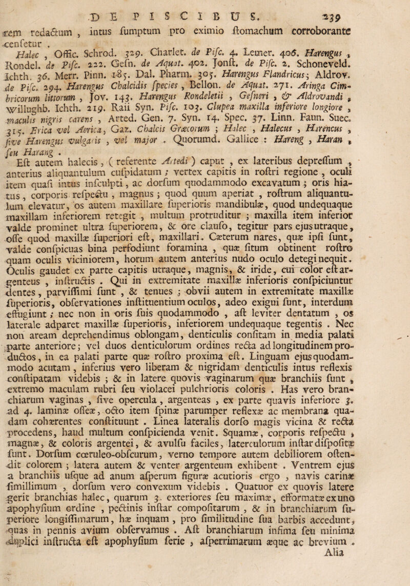 /D E PISCIBUS. ix%9 •cem redafium , intus fumptum pro eximio ftomachum corroborante cenfetur * Halec , OfKc. Schrod. 329. Charlet. de Pifc. 4. Lemer. 405. Harengus ,, Rondel. d? Pifc. 222. Gefn. Aqmt. 402. Jonft. Pifc. 2. Schoneveld. Ichth, 36, Merr. Pinn. 185. Dal. Pharm. 305. Harengus Flandricus5 Aldrov* je Pifc. 294. Harengus Chalcidis fpecies , Bellon. cfe Acjuat. 271» Aringa Citn- hricorum littorum , fov. 145. Harengus Rondeletii , Gefnsri , Aldrovandi 9 Willughb. Ichth. 219. Raii Syn. Pifc. 103. Clupea maxilla inferiore longiore , maculis nigris carens , Arted. Gen. 7» Syn. 14. Spec. 37. Linn. Faun. Suec* 315. jTr/w vel Aerie a, Gafc. Chalcis Granorum ; , Halecus , Harencus , cXVe Harengus vulgaris , m ma/ar .« Quorumd. Gallice 1 Hareng > Hdran , Harang . Eft autem halecis, ( referente ) caput , ex lateribus depreffum anterius aliquantulum cufpidatum ; vertex capitis in roftri regione , oculi itera quafi intus infculpti , ac dorfum quodammodo excavatum ; oris hia¬ tus , corporis refp.edu 5 magnus ; quod quum aperiat , roftrum aliquantu¬ lum elevatur, os autem maxillare fuperioris mandibula?, quod undequaque maxillam inferiorem retegit multum protruditur ; maxilla item inferior valde prominet ultra fuperiorera, & ore claufo, tegitur pars ejus utraque , ©fle quod maxilla? fuperiori eft, maxillari. Ceterum nares, qua? ipfi funt, valde confpicuas bina perfodiunt foramina , qua? fitum obtinent roftr© quam oculis viciniorem, horum autem anterius nudo oculo detegi nequit. Oculis gaudet ex parte capitis utraque, magnis, & iride, cui color eft ar¬ genteus , inftrudis . Qui in extremitate maxilla? inferioris confpiciuntur cientes, parviftimi Funt , & tenues obvii autem in extremitate maxilla? fuperioris, obfervationes inftituentiumoculos, adeo exigui funt, interdum effugiunt; nec non in oris fuis quodammodo , aft leviter dentatum , os laterale adparet maxilla? fuperioris, inferiorem undequaque tegentis . Nec non aream deprehendimus oblongam, denticulis confitam in media palati parte anteriore; vel duos denticulorum ordines reda ad longitudinem pro- dudos, in ea palati parte qua? roftro proxima eft. Linguam ejus quodam¬ modo acutam, inferius vero liberam & nigridam denticulis intus reflexis conftipatam videbis ; & in latere quovis vaginarum qua? branchiis funt , extremo maculam rubri feu violacei pulchrioris coloris . Has vero bran¬ chiarum vaginas , five opercula , argenteas , ex parte quavis inferiore ad 4. lamina? offea?, odo item fpina? parumper reflexa? ac membrana qua¬ dam coha?rentes conftituunt . Linea lateralis dorfo magis vicina & reda procedens, haud multum confpicienda venit. Squama?, corporis refpedu * magna?, 8c coloris argentei, & avu-lfu faciles, laterculorum inftardifpofitae funt. Dorfum coeruleo-obfcurum, verno tempore autem debiliorem often- dit colorem ; latera autem & venter argenteum exhibent . Ventrem ejus a branchiis ufque ad anum afperum figura? acutioris ergo , navis carina? Simillimum , dorfum vero convexum videbis . Quatuor ex quovis latere gerit branchias halec, quarum 3, exteriores feu maxima?, efformatse ex uno apophyfium ordine , pedinis inftar compofitarum , & in branchiarum fu- periore longiflimarum, ha? inquam, pro fimilitudine fua barbis accedunt, quas in pennis avium obfervamus Aft branchiarum infima feu minima duplici inftruda eft apophyfium ferie , afperrimarum a?que ac brevium « Alia