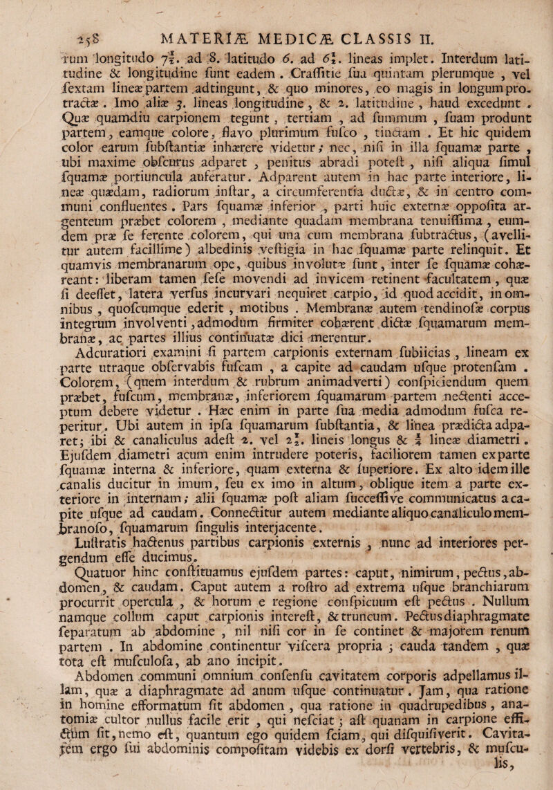 tum longitudo 7I. ad 8. latitudo <5. ,ad 6E lineas implet. Interdum lati¬ tudine & longitudine funt eadem . Craflitie lua quintam plerumque , yel fextam linea? partem . ad tingunt, & quo minores, eo magis in longum pro- tradst? . Imo alia? 3. lineas longitudine , & 2. latitudine , haud excedunt . Qua? quamdiu carpionem tegunt , tertiam , ad fummum , Tuam produnt partem 3 eamque colore, flavo plurimum fu ico , tinctam . Et hic quidem color earum jfubftantia? .inhaerere videtur; nec, mfi in illa fquama? parte , ubi maxime obfcurus adparet , penitus abradi poteft , n.ifi aliqua fimul fquamse portiuncula auferatur . Adparent autem in hac parte interiore, li¬ nea? quadam, radiorum inftar, a circumferentia duda?, & in centro com¬ muni confluentes . Pars fquama? inferior parti huic externa? oppofita ar¬ genteum prsebet colorem , mediante quadam membrana tenuiffima , eum- dem pra? fe ferente .colorem, qui una cum membrana fubtradus, (avelli¬ tur autem facillime) albedinis yeftigia in hac fquama? parte relinquit. Et quamvis membranarum ope, quibus involuta? funt, inter Te fquamse cohae¬ reant: liberam tamen fefe movendi ad invicem retinent facultatem , qua? fi deeflet, latera verfus incurvari nequiret carpio, id quod accidit, in om¬ nibus , quofcumque ederit , motibus . Membrana? autem tendinofa? corpus integrum involventi, admodum firmiter cohserent dida? fquamarum mem¬ brana? , ac partes illius contifiuatse dici merentur. Adcuratiori examini fi partem carpionis externam fubiicias , dineam ex parte utraque obfervabis fufcam , a capite ad caudam ufque protenfam . Colorem, (quem interdum & rubrum animadverti) confpiciendum quem praebet, fufcum, membranae, inferiorem fquamarum partem nedenti acce¬ ptum debere videtur . Ha?c enim in parte fua media admodum fufca re¬ petitu r. Ubi autem in ipfa fquamarum fubftantia, & linea pr^didaadpa¬ ret; ibi & canaliculus adeft 2. vel 2*. lineis longus & | linea? diametri. Ejufdem diametri acum enim intrudere poteris, faciliorem tamen exparte fquamse interna & inferiore, quam externa & luperiore. Ex alto idem ille canalis ducitur in imum, feu ex imo in altum, oblique item a parte ex¬ teriore in internam; alii fquamse poft aliam fucceflive communicatus a ca¬ pite ufque ad caudam. Conneditur autem mediante aliquo canaLiiculomem- branofo, fquamarum fingulis interjacente. Lullratis hadenus partibus carpionis vexternis , nunc ad interiores per¬ gendum efle ducimus» ' ; Quatuor hinc confiituamus ejufdem partes: caput, nimirum, pedus,ab¬ domen, & caudam. Caput autem a roftro ad extrema ufque branchiarum procurrit opercula , & horum e regione confpicuum eft pedus . Nullum namque collum caput carpionis intereft, & truncum. Pedus diaphragmate feparatum ab abdomine , nil nifi cor in fe continet & majorem renum partem . In abdomine continentur vifcera propria ; cauda tandem , qua? tota eft mufculofa, ab ano incipit . Abdomen xommuni omnium confenfu cavitatem corporis adpellamus il¬ lam, quse a diaphragmate ad anum ufque continuatur. Jam, qua ratione in homine efformatum fit abdomen , qua ratione in quadrupedibus , ana- tomia? cultor nullus facile erit , qui nefeiat; aft quanam in carpione effi- dhm fit,nemo eft, quantum ego quidem fciam, qui difquifiverit. Cavita¬ tem ergo fui abdominis compofitam videbis ex dorfi vertebris, & mufeu- /