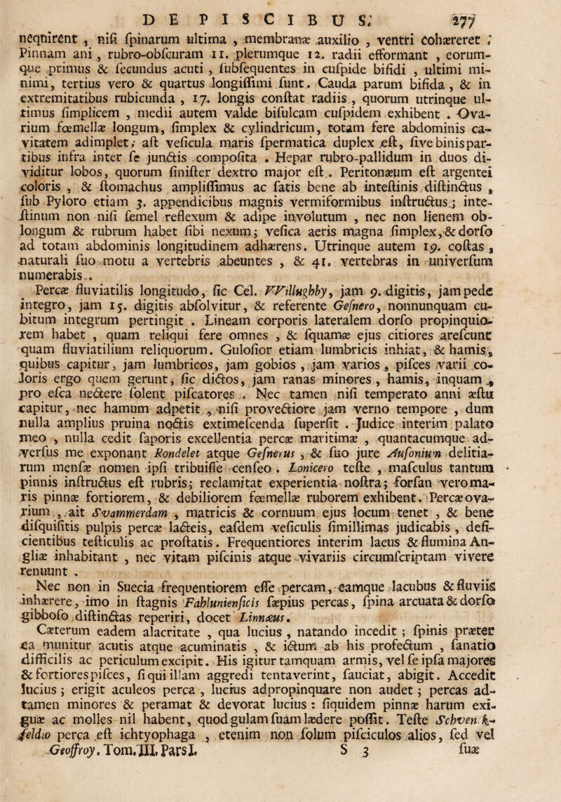 DE PISCIBUS; $77 nequirent 5 nifi fpinarum ultima , membrana .auxilio , ventri Cohaereret ; Pinnam ani , rujbro-obfcuram ii. plerumque 12. radii efformant , eorum* que primus & fecundus acuti , fubfequentes in cufpide bifidi , ultimi mi* nimi, tertius vero & quartus Jongiffimi funt. Cauda parum bifida , & in extremitatibus rubicunda , 17. longis conflat radiis , quorum utrinque ul¬ timus fimplicem , medii autem valde bifulcam cufpidem exhibent . Ova* rium foemellae longum, fimplex & cylindricum, totam fere abdominis ca¬ vitatem adimplet; aft veficula maris fpermatica duplex eft, five binis par¬ tibus infra inter fe j undis .compofita . Hepar rubro-pallidum in duos di¬ viditur lobos, quorum finifter dextro major eft,.. Peritoneum eft argentei coloris , & ftomachus ampliflimus ac fatis bene ab inteftinisdiftindus # fub Pyloro etiam 3, appendicibus magnis vermiformibus inftrudus j inte- jftinum non nifi femel reflexum & adipe involutum , nec non lienem ob¬ longum .& rubrum habet fibi nexum; vefica aeris magna fimplex, & dor fo ad totam abdominis longitudinem adhaerens. Utrinque autem 19, coftas a naturali fuo motu a vertebris .abeuntes , & 41, vertebras in univerfum numerabis... Percae fluviatilis longitudo, fic CeL FFillughby, jam p. digitk, jam pede integro, jam 15. digitis abfolvitur, & referente Gefnero, nonnunquam cu¬ bitum integrum pertingit . Lineam corporis lateralem dorfo propinquiou xem habet , quam reliqui fere omnes , & fquamae ejus citiores arefcunt quam fluviatilium reliquorum. Gulofior etiam lumbricis inhiat, & hamis,, quibus capitur, jam lumbricos, jam gobios , jam varios , pifces varii co¬ loris ergo quem gerunt, fic didos, jam ranas minores , hamis, inquam * pro efca nedere folent pifcatores...« Nec tamen nifi temperato anni aeftu capitur, nec hamum adpetit mfi provediore jam verno tempore , dum nulla amplius pruina nodis extimefcenda fuperfit . Judice interim palato meo , nulla cedit faporis excellentia percas maritimae , quantacumque ad- verfus me exponant Mondelet atque Gefnerus , fuo jure Aufonium delitia- rum menfae nomen ipfi tribuifle cenfeo . Lonkero tefte , tnafculus tantum * pinnis i-nftrudus eft rubris ; reclamitat experientia noftra; forfan vero ma¬ ris pinnae fortiorem, & debiliorem foemellae ruborem exhibent. Percae ova¬ rium.,.ait Svammerdam 9 matricis & cornuum ejus locum tenet , & bene difquifitis pulpis perese ladeis, eafdem veficulis fimillimas judicabis , defi¬ cientibus tefticulis ac proflatis. Frequentiores interim lacus & flumina An- glise inhabitant , nec vitam pifeinis atque vivariis circumfcriptam vivere renuunt . Nec non in Suecia frequentiorem efle percam, eamque lacubus & fluviis inhaerere, imo in ftagni $ Fahlunienficis faepius percas, fpina arcuata & dorfo gibbofo. diftindas reperiri, docet Lirmms, Caeterum eadem alacritate , qua lucius , natando incedit ; fpinis praeter ca munitur acutis atque acuminatis , & idum ab his profedum , fanatio difficilis ac periculum excipit. His igitur tamquam armis, vel fieipfa majores & fortiores pifces, fi qui illam aggredi tentaverint, fauciat, abigit. Accedit lucius; erigit aculeos perca , lucius adpropinquare non audet; percas ad- tamen minores & peramat & devorat lucius : fiquidem pinnae harum exi¬ guae ac molles nil habent, quod gulam fuam laedere poffit. Tefte $cbven%+ 4eldio perca eft ichtyophaga 5 etenim non folum pifciculos alios, fed vel