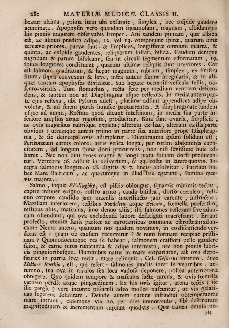 beatur ultima , prima item ubi exfuigic , fimplex , nec cufpide gaudens acuminata . Apophyfin vero quandam fquamofam , magnam , albidamque his pinnis majorem obfervabis femper . Ani tandem pinnam , qua? albida efl, ac aliquo praedita adipe, 12. vel 13. componunt fpina?, quarum bina; ternaeve priores, parva? funt, & fimplices*, longiffima? omnium quarta, &. quinta, ac cufpide gaudentes, reliquarum inflar, bifida. Caudam denique nigridam & parum bifulcam , feu ut circuli fegmentum efformatam , 19, fpina? longiores conftituunt , quarum ultimae reliquis funt breviores . Cor efl falmoni quadratum, & hepar magnum , rubrum , fimplex , ex fmiflra fitum, fupra convexum & laeve, infra autem figurae irregularis, & in ali¬ quas tantum apophyfes dividitur. Sub hepate occurrit veficula fellis, ob- fcuro-viridis . Tum flomachus , reda fere per medium ventrem defen¬ dens, & tantum non ad Diaphragma ufque reflexus. In-media autem par¬ te ejus reflexa , ubi Pylorus adefl , plurimae adfunt appendices adipe ob¬ voluta?, & ad finem partis hujufce procurrentes. A diaphragmate tandem ufque ad anum, Redum quod dicunt inteflinum, in media fua parte in¬ feriore amplius atque rugofum, producitur. Bina funt ovaria, fimplicia , ac ovis majoribus rubrifque expleta ; alterum ex hae , alterum ex illa parte obvium ,* utrumque autem primo in parte fua anteriore prope Diaphrag¬ ma , & fic deinceps ovis adimpletur . Diaphragma ipfum folidum efl ; Peritonseum carnis colore; aeris vefica longa, per totam abdominis capa¬ citatem , ad longum fpina? dorfi procurrens , non nifi leviflime huic ad¬ haeret . Nec non bini renes magni & longi juxta fpinam dorfi producun¬ tur. Vertebras 36. adfunt in univerfiim, Sc 3 j. cofla? in latere quovis. In¬ tegra falmonis longitudo 28; digitis & 7. lineis abfolvitur . Patriam ha¬ bet Mare Baiticum , ae quascumque in illud fefe egerunt , flumina quae¬ vis majora» Salmo , inquit FFillugbby, efl pifcis oblongus, fqtiamis minimis te&us , capite infuper exiguo, roflro acuto , cauda bifulca , dorfo coeruleo , reli¬ quo corpore candido jam maculis interftin&o jam carente , inflru&us . Maxillam inferiorem, teflibus Rondeletio atque Belcnio, femella prasfertim, teflibus aliis, mafculus, imo denuo aliis, illi falmones reflexam fi ve adun¬ cam oflendunt, qui ova excludendi labore defatigati macrefcunt . Errant profeftOy etenim fanis pariter ac asgrotantibus commune efl roflrtim adun¬ cum: Nemo autem, quantum nos quidem novimus, in eo difcutiendo ver- fatus efl •• quam ob caufam recurvetur ? & nuru formam recipiat prifli- uam ? Quomodocumque res fe habeat , falmonem crafliori pelle gaudere fcito, & carne intus rubicunda & adipe intertexta, nec non pinnis lubri¬ cis pinguioribufque. Fluminibus natus in mare exfpatiatur, afl ova depo¬ liturus in patria loca redit, mare relinquit . Cei. Gefnsrus interim , ducc HeBore Boethio , efl, qui refert: falmones jmfeis inter fe ventribus , au¬ tumno, fua ova in rivulos feu loca vadofa deponere, poftea autem arena obtegere. Quo quidem tempore & mafculus la&e carens, & ovis femella carnem perdit atque pinguedinem . Ex his ovis igitur , arena tecflis ( fic ille pergit ) vere ineunte pifciculi adeo molles nafcuntur , ut vix gelati- nas fuperent foliditate . Deinde autem naturas infliifeui obtemperantes mare intrant , eidemque vix 20. per dies immorando , fibi deftinatam gnagnitudinem & incrementum capiunt quod vis . Qua? tamen omnia no-