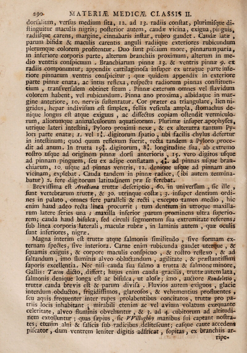 doriaJiutn, verfus medium flta, 12. ad 13. radiis conftat, plurimifque dl- ftinguitur maculis nigris; pofterior aurem., caudas vicina, exigua,pinguis, radiifque carens, margine, cinnabaris inftar, rubro gaudet. Caucis latas , parum bifidx & maculis carentis anguli radiique exteriores rubicundum plerumque colorem profitentur. Duo funt pifduni more, pinnarum paria, in inferiore corporis parte, alterum branchiis proximum, alterum in me¬ dio ventris confpicuum ... Branchiarum pinnse 13. & ventris pinnae p. ex radiis componuntur; appendix cartilaginofa infuper ex utraque parte infe¬ riore pinnarum ventris confpicitur ; quas quidem appendix in exteriore parte pinnas enata, ac intus reflexa, refpedu radiorum pinnas conflituen- tium , tranfverfalem obtinet fitum . Pinnas cseterum omnes vel Ravidum colorem habent, vel rubicundum. Pinna ano proxima, albidaque In mar¬ gine anteriore, 10. nervis fuftentatur. Cor praeter ea triangulare , lienni- gridus, hepar indivifum eft fimplex, fellis veficula ampla, domachus de¬ nique longus eft atque exiguus 5 ac difledus copiam oftendit vermiculo¬ rum, aliorumque animalcuJorum aquaticorum. Plurimas infuperapophyfest utrique lateri inteftini, Pyloro proximi nexas, & ex alterutra tantum Py¬ lori parte enatas; 1, vel i£. digitorum fpatio , mbi facilis chylus defertur in inteftinum; quod quum reflexum fuerit, reda tandem a Pyloro proce¬ dit ad anum. In trutta 19I. digitorum, Bj. longitudine fua, ab extremo roftro ufque ad originem pinnas dorfi anterioris , 15. vero digitos ufque ad pinnam pinguem , feu ex adipe conflatam , 4^. ad pinnas ufque bran¬ chiarum, 10. ufque ad pinnas ventris, 12. denique ufque ad pinnam ano vicinam, explebat . Cauda tandem in pinnas radice, (ibi autem termina¬ batur) 2. fere digitorum latitudinem pras fe ferebat. Breviflima eft Jrtediana trutta defcriptio, 60. in univefTum fic ille , funt vertebrarum trutta, jk 30. utrinque coftas; 3. infuper dentium ordi¬ nes in palato, omnes fere paralleli & redi , excepto tamen medio , hic enim haud adeo reda linea procurrit ; tum dentium f n utroque maxilla¬ rum latere feries una ; maxilla inferior parum prominens ultra fuperio- rem; cauda haud bifulca, fed circuli fegmentum fua extremitate referens; fub linea corporis faterali, maculas rubras, In laminis autem , quas oculis funt inferiores, nigras. Magna Interim eft truttas atque falmonis fimilitudo , five formam ex¬ ternam fpedes, five interiora. Carne enim rubicunda gaudet uterque , 8>c fquamis exiguis, & corpore maculis confpicuo , Sc roftro reflexo , & ad faltandum , Imo fluminis alveo obludandum , agilitate , & prasftantiflimi faporis excellentia. Nec nifi cauda fua falmo a trutta & falmoneminore, Gallis: Tacon dido, ^differt; hujus enim cauda * gracilis, truttas autem lata, falmonis denique longa eft ac bifulca, ut alofas; imo, audore Rondeletio, truttas cauda brevis eft & parum divifa . Fluvios autem exiguos , glacie interdum obdudos, frigidiffimos, glareofos, & vehementius profluentes , feu aquis frequenter inter rupes prolabentibus concitatos , truttas pro pa¬ triis locis inhabitant ^ mirabili etenim ac vel avium volatum exaequante celeritate, alveo fluminis obvehuntur , & 3. ad 4. cubitorum ad altitudi¬ nem extolluntur ; quas fsepius, fic FFillughby manibus fui captant noftra- tes; etenim alni & filicis fub radicibus delitefcunt; eafque caute accedens pifcator, -dum ventrem leniter digitis addicat, fopitas, ex branchiis ar-