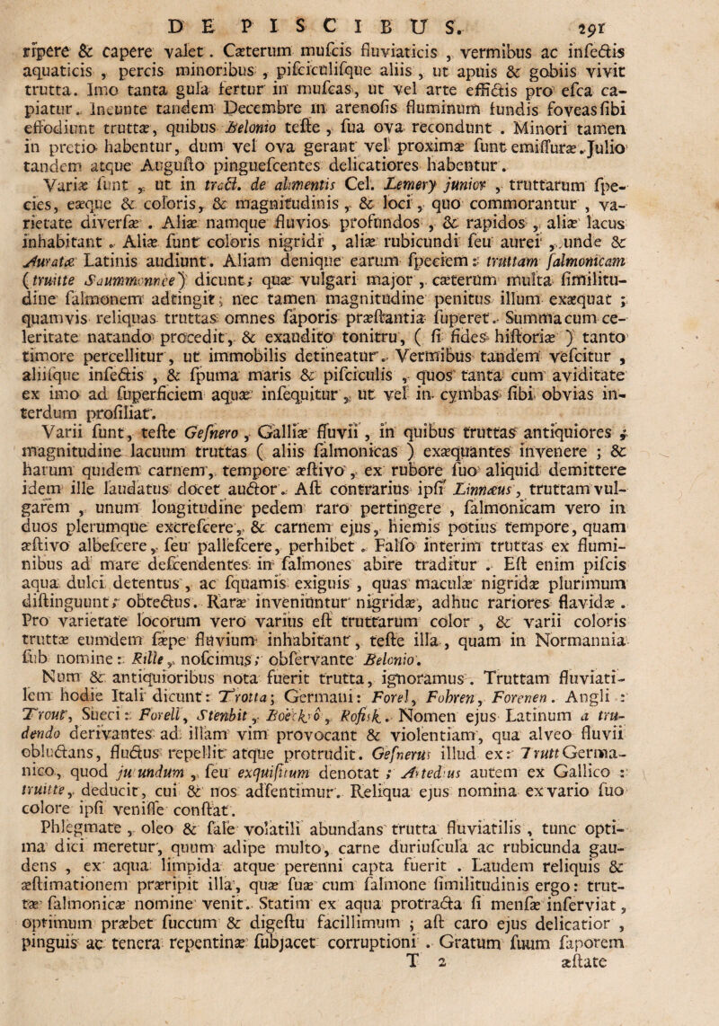 ripcre & capere valet. Ca?terum rnufcis fluviaticis ,, vermibus ac infedis aquaticis , percis minoribus , pifcicnlifque aliis , ut apuis & gobiis vivit trutta. Imo tanta gula fertur in mufcas, ut vel arte effidis pro efca ca¬ piatur. Ineunte tandem Decembre in arenofis fluminum fundis foveas flbi effodiunt trutta , quibus Belonio tefte , fua ova recondunt . Minori tamen in pretio habentur, dum vel ova gerant vel proxima fimt emiflurse.-Julio tandem atque Angufto pinguefcentes delicatiores habentur. Variae funt , ut in trccl. de alimentis Cei. Lemery junior , truttarum fpe- cies, eaeqjue & coloris, & magnitudinis t & loci, quo commorantur , va¬ rietate diverfa? . Alia? namque fluvios profundos , & rapidos 5, alias lacus inhabitant 0 Alia?, funr coloris nigridf , aliae rubicundi feu auref ,-.,unde Aurata: Latinis audiunt . Aliam denique earum fpeeiemtrimam falmomcam (tmnte SaummomeeJ, dicunt; qua? vulgari major , ca?tertim multa fimilitu- dine falmonem adtingit; nec tamen magnitudine penitus illum exaquat ; quamvis reliquas truttas omnes faporis praffantia iliperet „ Summa cum ce¬ leritate natando procedit, & exaudito tonitru , ( fi fides hiftoria? j tanto timore percellitur, ut immobilis detineatur. Vermibus tandem vefcitur , aliifque infedis , & fpuma maris & pifciculis , quos tanta cum' aviditate ex imo ad fuperficiem aqua infequitur 5v ut vel in- cymbas- flbi- obvias in¬ terdum profiliat; Varii fiant,- tefte Gefnero ,- Gallia fluvii , in quibus truttas antiquiores * magnitudine lacuum truttas ( aliis falmonkas ) exaquantes invenere ; & harum quidem carnem', tempore aftivo , ex rubore fuo aliquid demittere idem ille laudatus docet audor Aft contrarius ipff Linnaus, truttam vul¬ garem , unum longitudine pedem raro pertingere , falmonicam vero in duos plerumque excrefcere5 & carnem ejus, hiemis potius tempore, quam seftivo albefcere * feu pallefcere, perhibet . Falfo interim truttas ex flumi¬ nibus ad mare defcendentes in5 falmones abire traditur . Eft enim pifcis aqua dulci detentus , ac fquamis exiguis , quas macula nigrida? plurimum diftinguunt; obtedus. Rara? inveniuntur nigri da?, adhuc rariores flavida . Pro varietate locorum vero varius eft truttarum color , & varii coloris trutta? eumdern fa?pe fltfviurm inhabitant, tefte illa , quam in Normannia fub nomine :• Rille y. nofcimus; obfervante £ e lenio. Num Sc antiquioribus nota fuerit trutta, ignoramus . Truttam fluviati¬ lem hodie Itali dicunt: rTvoita\ Germani: Forel, Fohren, Forenen. Angli : Sueci: Forelly Stenbit, Boeth o r Rofisk. Nomen ejus Latinum a tru¬ dendo derivantes ad; illam vim provocant & violentiam, qua alveo fluvii obludans, fludus repellit: atque protrudit. Gefnerm illud ex: 7 Germa¬ nico, quod juundum , feu excjuifuum denotat ; AvtedLus autem ex Gallico : nuittSy deducit , cui & nos adfentiintir. Reliqua ejus nomina ex vario fuo> colore ipfi veniffe conftat. Phlegmate , oleo & fale volatili abundans trutta fluviatilis , tunc opti¬ ma dici meretur, quum adipe multo, carne duriufcula ac rubicunda gau¬ dens , ex aqua limpida atque perenni capta fuerit . Laudem reliquis & a?ftimationem pra?ripit illa, qua? fua?'cum falmone fimilitudinis ergo: mit¬ tas falmonica? nomine venit. Statinr ex aqua protrada fi menfa? inferviat, optimum pra?bet fuccum & digeftu facillimum ; aft caro ejus delicatior , pinguis ac tenera repentina? fubjacet corruptioni . Gratum futim faporem T 2 atilate