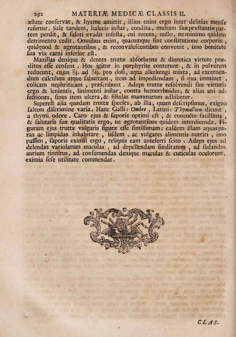 seflate confervat, & hyeme amittit, illius enim ergo inter delitias menfte refertur. Sale tandem, halecis inftar, condita, multam fusepraeftantiaepar¬ tem perdit, & faluti evadit infefta, cui recens, nullo, ne minimo quidem detrimento cedit. Omnibus enim, quacumque fint conftitutione corporis , quidquod & aegrotantibus, & reconvalefcentibus convenit , imo bonitate fua vix carni inferior eft. Maxillas denique Sc dentes truttae abforbente & diuretica virtute prae¬ ditos effe cenfent . Hos igitur in porphyrite conterunt , & in pulverem reducunt, cujus 3j. ad 5ij. pro dofi, aqua alkekengi mixta, ad excernen¬ dum calculum atque faburram , item ad impediendam , fi qua imminet , colicam nephriticam , prasfcribunt. Adeps truttae refblvendi fuae virtutis ergo & lenientis, linimenti inftar, contra hemorrhoides, & alias ani ad- fe&iones, finus item ulcera,& fiftulas mammarum adhibetur. Supereft alia quaedam truttae fpecies , ab illa* quam defcripfimus, exiguo faltem difcrimine varia. Hanc Galli: Ombre , Latini: Thymallum dicunt , a thymi odore . Caro ejus & faporis optimi eft , & conco&u facillima , & falutaris fuae qualitatis ergo, ne aegrotantibus quidem interdicenda. Fi¬ guram ejus truttae vulgaris figurae effe fimillimam; eafdem illam aquas pu¬ ras ac limpidas inhabitare , iifdem , ac vulgares alimentis nutriri , imo paffim , faporis eximii ergo , reliquis eam anteferri fcito . Adeps ejus ad delendas variolarum maculas , ad depellendam furditatem , ad fedandos aurium tinnitus, ad confumendas denique maculas & cuticulas oculorum, eximia fefe utilitate commendat. CLAS-