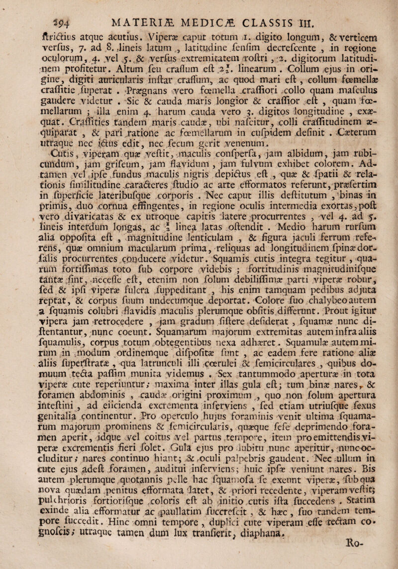 ftridius atque acutius. Vipera caput totum j. digito longum, &verticem verfus, 7. ad 8. .lineis latum latitudine Xenfim decrefcente , in regione oculorum, 4. (yel 5*.Sc verfus extremitatem xoftri, :2. digitorum latitudi¬ nem profitetur. Altum feu craflum eft ;2*. linearum . Collum ejus in ori¬ gine, digiti auricularis rnftar craffum, ac quod mari eft , collum femella craflitie fuperat . ;Pra?gnans vero foemella xrafliori collo quam mafculus gaudere videtur . Sic & cauda maris longior Sc craffior eft , quam foe- mellarum ; illa enim 4. harum cauda vero 3. digitos longitudine , exae¬ quat. CY$ffitks tandem maris caudae, ubi nafcitur, colli craftitudinem a?- quiparat , & pari jatioiie ,ac foemellarum in cufpidem definit . Ca?terum utraque nec idus edit, nec fecum gerit venenum. Cutis 5 vipefam quse veftit, .maculis confperfa, jam albidum, jam rubi¬ cundum , jam grifeum, jam flavidum , jam fulvum exhibet colorem. Ad- tamen vel dpfe fundus maculis nigris depidus eft , qua? & fpatii Sc rela¬ tionis fimilitudinexaraderes Audio ac arte efformatos referunt, profertim in fuperficie lateribufque xorporis . Nec caput illis deftitutum , binas in primis, duo tornua effingentes, in regione oculis intermedia exortas, poft vero divaricatas & ex utroque capitis iatere ^procurrentes , vel 4. ad 5. lineis interdum longas, ac i line^ latas oftendit . Medio harum rurfum alia oppofita eft , ^magnitudine lenticulam & figura jaculi ferrum refe-^ rens, qua? omnium macularum prima, reliquas ad longitudinem;fpina?dor- falis procurrentes cppducere videtur. Squamis cutis integra tegitur , qua¬ rum fortiffimas toto fub corpore videbis ; fortitudinis magnitudinifque tanta? ;fint, neccffe eft, etenim non folum debiliffima? parti vipera robur, fed Sc ipfi vipera? fulcra fuppeditant , his enim tamquam pedibus adjuta reptat, & corpus fuum undecumque .deportat. Colore fuo chalybeoautem a fquamis colubri .flavidis .maculis plerumque obfitis differunt. Prout igitur vipera jam retrocedere , jam gradum fiftere defiderat , fquama? nunc di- ftentantur, nunc coeunt. Squamarum majorum extremitas autem infra aliis fquamulis, corpus totum obtegentibus nexa ad Inure t. Squamula? autem mi¬ rum in modum ordinemque difpofita? funt , ac eadem fere ratione alia? aliis fupefftrata?, qua latrunculi illi vcerulei Sc femicirculares , quibus do¬ muum teda paffim munita videmus . Sex tantummodo apertura in tota vipera? cute reperiuntur; maxima inter illas gula eft; tum bina? nares y Sc foramen abdominis , cauda? origini proximum ^ quo non folum apertura inteftini , ad eiicienda excrementa inferviens , fed etiam utriufque fexus genitalia continentur. Pro operculo hujus foraminis venit ultima fquatna- rum majorum prominens Sc feniicircularis, quaque fefe deprimendo .fora¬ men aperit, idque vel coitus vel partus .tempore, item pro emittendis vi¬ pera excrementis fieri folet. Gula ejus pro aubitu nunc aperitur, nuncoc- cluditur / nares continuo hiant; Sc toculi palpebris gaudent. Nec mullum in cute ejus adeft foramen, auditui inferviens; huic ipfa? veniunt nares. Bis autem plerumque, quotannis pelle hac fquaniofa fe exeunt viperae, fub qua nova quaedam .penitus efformata -latet, Sc priori recedente, viperam veftit; pulchrioris fortiorifque xoloris eft ab initio .cutis ifta fuccedens . Statim exinde alia xfformatur ac rpaullatim fuccrefcit , Sc ha?c, fuo tandem tem¬ pore fuccedit. Hinc omni tempore , duplici cute viperam vffe tedani co- gnofcis; utraque tamen dum lux tranfierit; diaphana. Ro-