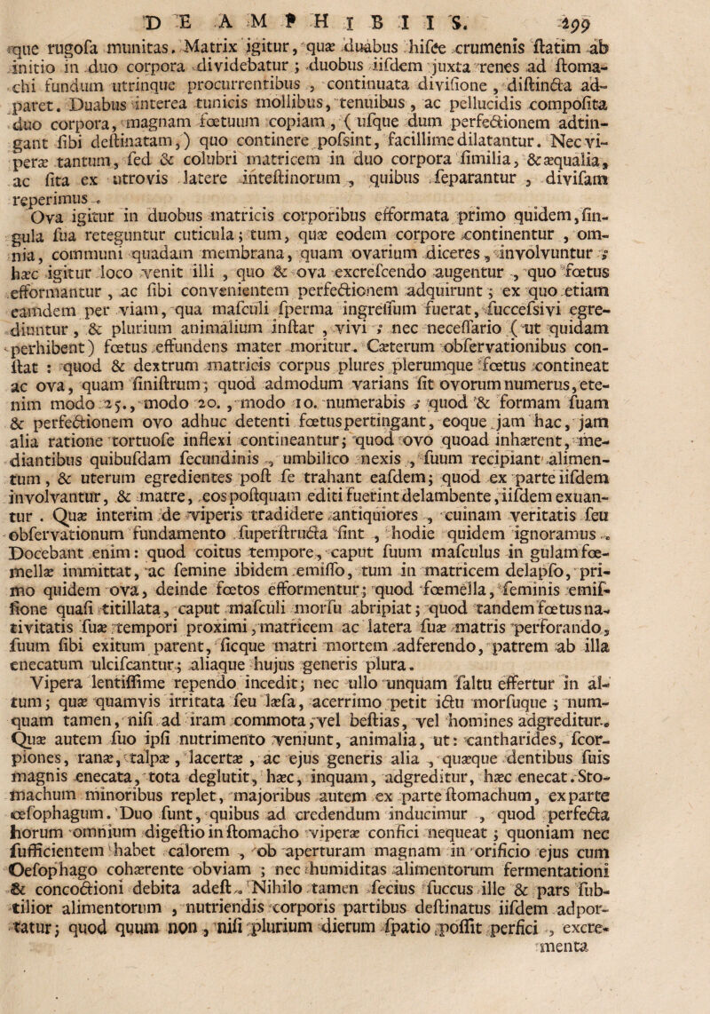 que rugofa -munitas. Matrix igitur, quas duabus hifce crumenis ftatim ab initio in duo corpora .dividebatur; .duobus iifdem juxta renes ad ftoma- chi fundum utrinque procurrentibus , continuata divifione , diftin&a ad» paret. Duabus interea tunicis mollibus, tenuibus , ac pellucidis compofita duo corpora, magnam foetuum copiam , { ufque dum perfe&donem adtin- gant libi deftmatam,) quo continere pofsint, facillime dilatantur. Nec vi- perse tantum, fed & colubri matricem in duo corpora fimilia, & aqualia, ac fita ex utrovis latere ihteftinorum, quibus feparantur , divifam reperimus ... Ova igitur in duobus matricis corporibus efformata primo quidem, fin- gula fua reteguntur cuticula; tum, quas eodem corpore xontinentur , om¬ nia, communi quadam membrana, quam ovarium diceres, involvuntur .7 hxc igitur loco venit illi , quo Bc ova excrefcendo augentur , quo foetus efformantur , ac (ibi convenientem perfe&ionem adquirunt; ex quo . etiam eamdem per viam, qua mafculi fperma ingreifum fuerat, fuccefsivi egre¬ diuntur , & plurium animalium inftar , vivi 7 nec neceflario ( ut quidam ^perhibent) fcetus effundens mater moritur. Ceterum obfervationibus con¬ itar : quod & dextrum matricis corpus plures plerumque foetus contineat ac ova, quam finiftrum; quod admodum varians iit ovorum numerus, ete¬ nim modo a5.,-modo 20. , modo 10. numerabis 7 quod & formam fuam Bc perfe&ionem ovo adhuc detenti fce tus pertingant, eoque Jam hac, jam alia ratione tortuofe inflexi ^contineantur; quod ovo quoad inhaerent, me¬ diantibus quibufdam feciindinis v umbilico nexis , fuum recipiant'.alimen¬ tum , & uterum egredientes pofl fe trahant eafdem; quod ex parte iifdem involvantur, & matre, eospoflquam editi fuerint delambente,iifdem exuan¬ tur . Qua* interim de “viperis tradidere ^antiquiores , cuinam veritatis feu obfervationum fundamento fiiperftrudfa iint , hodie quidem ignoramus Docebant enim: quod coitus temporecaput fuum mafculus in gulamfoe- mellas immittat, ac femine ibidem;emiflb, tum in matricem delapfo, pri¬ mo quidem ova, deinde Foetos efformentur* quod foemella, feminis emif- flone quafl titillata, caput mafculi morfu abripiat; quod tandem foetus na¬ tivitatis fuse rtempori proximi, matricem ac latera fuse matris perforando, fuum fibi exitum parent, Aeque matri mortem adferendo, patrem ab illa enecatum ulcifcantur; aliaque hujus generis plura. Vipera lentiffime rependo incedit; nec ullo unquam faltu effertur in al¬ tum ; quse quamvis irritata feu lasfa, acerrimo petit i<Au morfuque ; num- quam tamen, nifi ad iram commota, vel beftias, vel homines adgreditur® Quse autem fuo ipfi nutrimento “veniunt, animalia, ut: cantharides, fcor- piones, ranas,'talpas, lacerta* , ac ejus generis alia , quasque dentibus fuis magnis enecata, tota deglutit, hsec, inquarn, adgreditiir, hsec enecat . Sto¬ machum minoribus replet, majoribus autem ex parteftomachum, exparte «xfophagum.‘Duo funt,'quibus ad credendum inducimur , quod perfedfca horum omnium digeflio in ftomacho viperas confici nequeat; quoniam nec fufficientem habet calorem , ob aperturam magnam in orificio ejus cum Oefophago cohasrente obviam ; nec ?humiditas alimentorum fermentationi & conco&ioni debita adeft,. Nihilo tamen fecius fuccus ille & pars Fub- tilior alimentorum , nutriendis corporis partibus deftinatus iifdem ad por¬ tatur; quod quum non, -nifi plurium dierum fpatio poflit perfici excre* : menta