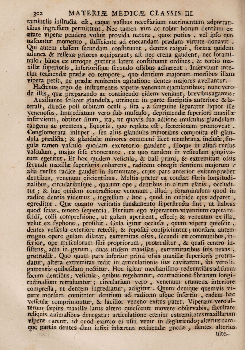 raminulis inliruda eft , eaque vafibus neceffarium nutrimentum adportan- tibus. ingrelfiim permittuntNec tamen vim ac robur horum dentium ex aetate viperae pendere voluit provida natura ,, quos potius , vel ipfo quo nafcuntur momento ,, fufficiente ad enecandam praedam virtute donavit Qui autem cladem fecundam conftituunt , dentes, exigui , forma quidem adunca & reflexa priores aequiparantaft nec crena gaudent, nec forami- nulo; binos, ex utroque gutturis latere conftituunt ordines * 6c tertio ma¬ xillae fuperioris ,, inferiorifque fecunda ofsibus adhaerent ... Infervlunt inte- rim retinenda: praedae eo tempore quo; dentium majorum morfibus illam vipera petit, ne prada renitentis agitatione dentes, majores avellantur. Hadenus ergo de in ftr umentis vipera: venenum ejaculantibus,- nunc vero* de illis, qua praeparanda ac continenda eidem veniunt, brevibus agamus:: Auxiliante lcilicet glandula, utrinque in parte linei pit is anteriore & la¬ terali5, direde poft orbitam oculi ,. fita , a fanguine feparatur liquor ille venenofus. Immediatum vero fub mufculo , deprimenda fuperiorl maxilla infer vientf, obtinet litum, ita,, ut quavis fua adione mufculus glandulam tangens ac premens , liquoris, quo repleta eft , fecretionem promoveat . Conglomerata infuper , feu aliis glandulis minoribus compofita. eft glan¬ dula pradida; & glandula minores communi licet membrana inclufa, lin¬ gula tamen vafculo quodam excretorio gaudent , ilioque in aliud rurfus vafculum , majus fefe exonerante , ex quo tandem In veficulam gingiva¬ rum egeritur»- Et hac quidem velicula, & bali primi, & extremitati ofsis fecundi maxilla: fuperioris coharens ,: radicem obtegit dentium majorum ; alia rurfus radice gaudet in fummitate, cujus pars anterior exitum prabet dentibus, venenum eiicientibus . Multis prater ea conftat fibris longitudi¬ nalibus,, circularibufque ,, quarunr ope , dentibus in altum elatis, occludi¬ tur ; & hac quidem contradione venenum ,. illud , foraminulum quod in radice dentis videmus , ingreffum ; hoc , quod in cufpide ejus adparet r egreditur . Qua quanto veritatis fundamento fuperftruda fint, ut habeas quod' fcias, teneto* fequentia., Plurium ego viperarum viventium capita re- fcidi , colli comprefsione, ut gulam aperirent , effeci ; & venenum ex illa ,, velut ex fyphone , profiliit. Gula igitur occlufa , quum vipera quiefeit , dentes velicula exteriore retedi , & repolit! confpiciuntur; morfura autem magno opere gulam dilatat ; extremitas ofsis, fecundi ex communibus, in¬ ferior, ope roufculorum libi propriorum , protruditur, & quali centro in- iiftens,, ada in gyrum , duas itidem maxillas , extremitatibus fuis nexas , protrudit. Quo quum parsr inferior primi ofsis maxilla fuperioris protru¬ datur, altera extremitas redit in articulationis fua cavitatem , ibi; vero li¬ gamentis quibufdam neditur. Hoc igitur mechanifmo redeuntibus ad furntr locum dentibus ; velicula , quibus tegebantur, contradione fibrarum longi¬ tudinalium retrahuntur ; circularium vero , venenum crumena interiore compreffa, ut dentem ingrediatur , adigitur ,, Quum denique quemvis vi¬ pera mcrlmn comitetur dentium ad radicem ufque iniertio , eadem hac velicula comprimuntur , & facilior veneno exitus patet. Viperam veroal- terurrr fapius maxilla latus altero quiefeente movere obfervabis, facultate reliquis animalibus denegata; articulatione etenim extremitatesmaxillarum vipera carenr, id quod eximio ei ufui venit in deglutiendo ; alterius nam- , que partis dentes dum. infixi; inharenk retinenda prada dentes alterius. r' ' ulte.-