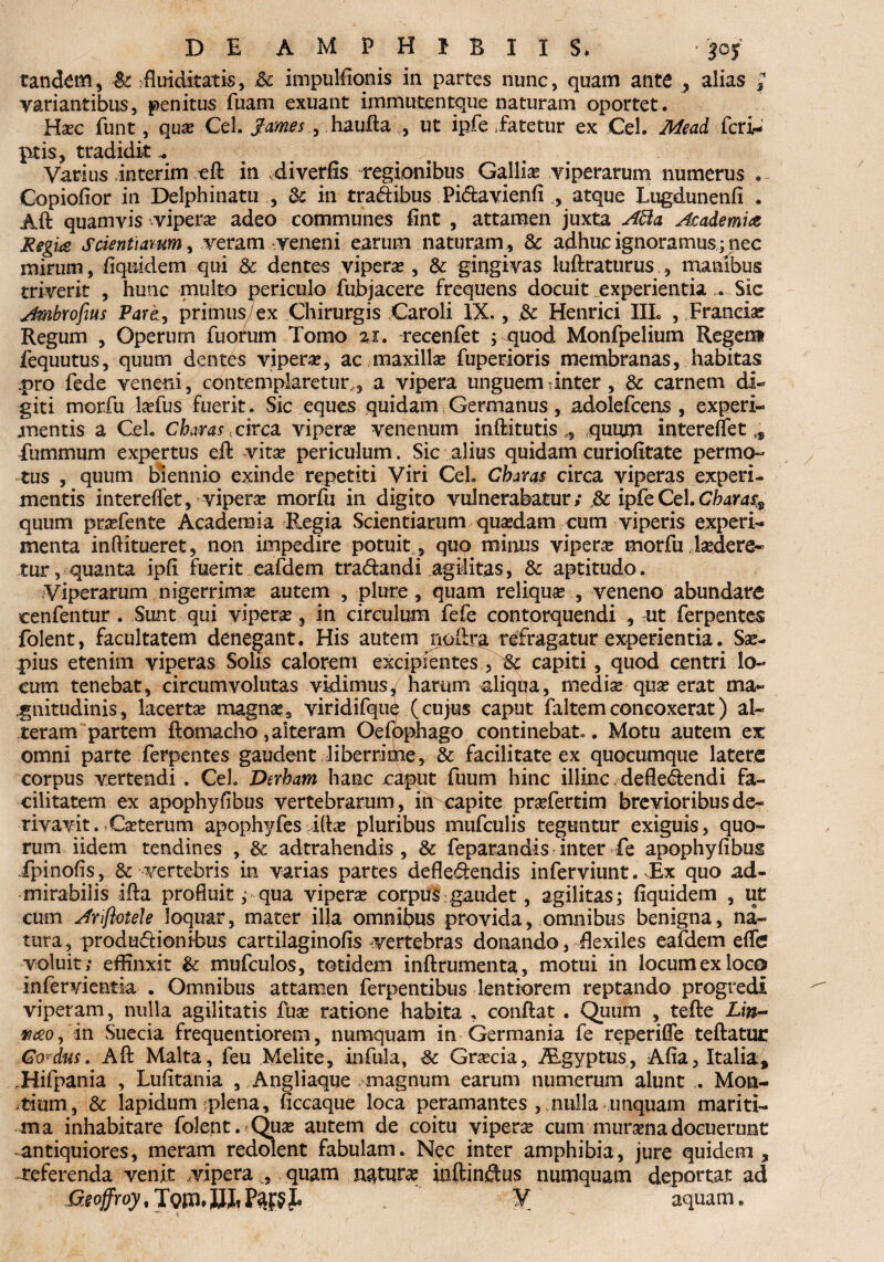 DE AMPHIBIIS. tandem, 4c fluiditatis, & impulfionis in partes nunc, quam ante , alias •; variantibus, penitus fuam exuant immutentque naturam oportet. Hxc funt, qua? CeL James., haufta , ut ipfe fatetur ex Cei. Mead fcri- pris, tradidit Varius interim eft in diverfis regionibus Gallia viperarum numerus . Copiofior in Delphinatu , 3c in tradibus Pi&avienfiatque Lugdunenfi . Aft quamvis vipera? adeo communes fint , attamen juxta A8a Asademia Regia Scientiarum, veram veneni earum naturam , & adhuc ignoramus ; nec mirum, fiqnidem qui & dentes vipera?, & gingivas luftraturus , manibus triverit , hunc multo periculo fubjacere frequens docuit experientia Sic jfmbrofius P^rc, primus/ex Chirurgis Caroli IX., & Henrici IIL , Francise Regum , Operum fuofum Tomo 2.1. recenfet ; quod Monfpelium Regem fequutus, quum dentes viperae, ac maxillae fuperioris membranas, habitas pro fede veneni, contemplaretur,, a vipera unguem inter, & carnem di¬ giti morfu la?fus fuerit. Sic eques quidam Germanus, adolefcens , experi- jmentis a CeL Charas , circa vipera? venenum inftitutis 0, quum intereflet „ fummum expertus eft vita? periculum. Sic alius quidam curiofitate permo- tus , quum biennio exinde repetiti Viri CeL Charas circa viperas experi¬ mentis intereflet, vipera? morfti in digito vulnerabatur; & ipfe CeL Charas9 quum prsefente Academia Regia Scientiarum qua?dam cum viperis experi¬ menta inftitueret, non impedire potuit , quo minus vipera? morfu Edere¬ tur, quanta ipfi fuerit eafdem tradandi agilitas, & aptitudo. Viperarum nigerrima? autem , plure , quam reliqua? , veneno abundare cenfentur , Sunt qui vipera?, in circulum fefe contorquendi , ut ferpentes folent, facultatem denegant. His autem nollra refragatur experientia. Sae¬ pius etenim viperas Solis calorem excipientes,, St capiti, quod centri lo¬ cum tenebat, circumvolutas vidimus, harum aliqqa, media? qua? erat ma¬ gnitudinis , lacerta? magna?, viridifque (cujus caput faltemconcoxerat) al¬ teram partem ftomacho, alteram Oefophago continebat.. Motu autem ex omni parte ferpentes gaudent liberrime, & facilitate ex quocumque latere corpus vertendi . Cei. Derbam hanc caput fuum hinc illinc deflectendi fa¬ cilitatem ex apophyfibus vertebrarum, in capite praefertim brevioribus de¬ rivavit. *Ca?terum apophyfes ifta? pluribus mufculis teguntur exiguis, quo¬ rum iidem tendines , & adtrahendis , & feparandis inter fe apophyfibus Tpinofis, & vertebris in varias partes defle&endis inferviunt. Ex quo ad¬ mirabilis ifta profluit; qua vipera corpus .gaudet, agilitas; fiquidem , ut cum Ariftotele loquar, mater illa omnibus provida, omnibus benigna, na¬ tura, produftionifjus cartilaginofis vertebras donando, flexiles eafdem eflfe voluit; effinxit &: mufculos, totidem inftrumenta, motui in locum ex loco infervientia . Omnibus attamen ferpentibus lentiorem reptando progredi viperam, nulla agilitatis fua? ratione habita , conflat . Quum , tefte tneo, in Suecia frequentiorem, numquam in Germania fe reperifle teftatur; Gw&us. Aft Malta, feu Melite, infula, Gra?cia, iEgyptus, Afia, Italia, .Hifpania , Lufitania , Angliaque magnum earum numerum alunt ,. Mon¬ tium, & lapidum plena, ficcaque loca peramantes , nulla unquam mariti¬ ma inhabitare folent. Qua? autem de coitu viperae cum mursenadocuerunt antiquiores, meram redolent fabulam. Nec inter amphibia, jure quidem, referenda venit vipera ^ quam natura? inftinftus numquam deportat ad Qeoffroy, Tm WJi P$E$ J* ¥ aquam.