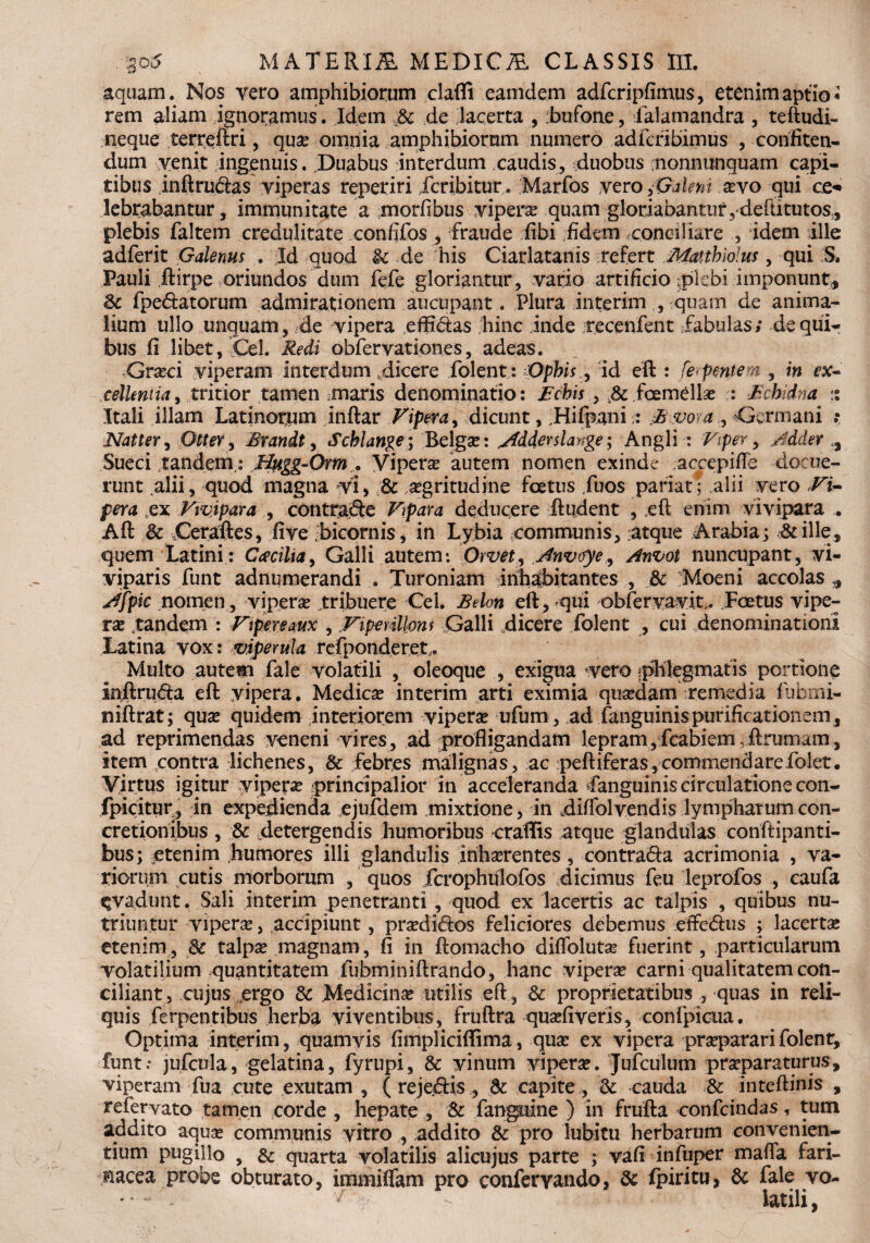 aquam. Nos vero amphibiorum clafii eamdem adfcripfimus, etenimaptio* rem aliam ignoramus. Idem de lacerta , bufone, falamandra, teftudi- neque terreftri, quas omnia amphibiorum numero adfcfibimus , confiten¬ dum venit ingenuis. Duabus rinterdum caudis, duobus nonnunquam capi¬ tibus inftrudas viperas reperiri icribitur. Marfos vero palent sevo qui ce* lebrabantur, immunitate a morfibus vipera quam gloriabantur,deftitutos, plebis faltem credulitate confifos , fraude fibi fidem conciliare idem ille adferit Galenus . Id quod .& de his Ciarlatanis refert JkfatthioJus , qui S. Pauli ftirpe oriundos dum fefe gloriantur, vario artificio j>kbi imponunt* 3c fpedatorum admirationem aucupant . Plura interim , quam de anima¬ lium ullo unguam, de vipera efficias hinc iride recenfent .fabulas; de qui¬ bus ii libet, iCel. Redi obfervationes, adeas. Grxci viperam interdum dicere folent: Ophis , id eft: : ferpmtem , in ex¬ cellentia , tritior tamen =maris denominatio: Echis , ,& foemdlse :: Echidna :s Itali illam Latinorum inftar Vipera, dicunt, Hifpani : E vo-: a , Germani : Natter, Otter, Brandt, Scblange; Belgas: Mderslaysge; Angli : Viper, Jdder Sueci tandem,: Hugg-Orm ... Vipera: autem nomen exinde accepifte -docue¬ runt alii, quod magna vi, & asgritudine fcetus Tuos pariat; alii vero Vi¬ pera ex Vivipara , contrade Vpara deducere ftudent , eft enim vivipara . Aft & Ceraftes, five bicornis, in Lybia communis, atque Arabia; &ille, quem Latini: Cacilia, Galli autem: Owet, Anvoye, Anvot nuncupant, vi¬ viparis funt adnumerandi . Turoniam inhabitantes , & ;Moeni accolas ,, Jfpic nomen, viperas tribuere Cei. Belon eft, qui oblervavit.. Foetus vipe¬ ra .tandem : Vipereaux , Viperillom Galli dicere folent , cui denominationi Latina vox: viperula rcfponderet,. Multo autem fale volatili , oleoque , exigua vero iphlegmatis portione injftruda eft: vipera. Medicas interim arti eximia quasdam remedia fubmi- niftrat; quas quidem interiorem viperas ufum, ad fanguinis purificationem, ad reprimendas veneni vires, ad profligandam lepram,fcabiem,ftrumam, item contra lichenes, & febres malignas, ac peftiferas, commendarefolet. Virtus igitur vipera principalior in acceleranda languinis circulatione con- fpicitur, in expedienda ejufdem mixtione, in diffolvendis lymphatum con¬ cretionibus , & ^detergendis humoribus c rallis atque glandulas coriftipanti- bus; etenim humores illi glandulis inhasrentes, contrada acrimonia , va¬ riorum cutis morborum , quos fcrophulofos dicimus feu leprofos , caufa ^vadunt. Sali interim penetranti , quod ex lacertis ac talpis , quibus nu¬ triuntur viperas, accipiunt, prasdidos feliciores debemus effedus ; lacertas etenim, & talpas magnam, fi in ftomacho diftolutse fuerint, particularum volatilium quantitatem fubminiftrando, hanc viperas carni qualitatem con¬ ciliant , cujus ergo & Medicinas utilis eft, & proprietatibus , quas in reli¬ quis ferpentibus herba viventibus, fruftra quasfivefis, confpioua. Optima interim, quamvis fimpliciflima, quas ex vipera prasparari folent, funt; jufcula, gelatina, fyrupi, & vinum viperas. Jufculum prasparaturus, viperam fua cute exutam , ( rejedis , & capite , & cauda & inteftinis , refervato tamen corde , hepate , & fanguine ) in frufta confcindas, tum addito aquas communis vitro , addito & pro lubitu herbarum convenien¬ tium pugillo , & quarta volatilis alicujus parte ; vafi infuper mafta fari¬ nacea probe obturato, immiflam pro conferyando, 8c fpiritu, & fale vo- 'Vf - latili,