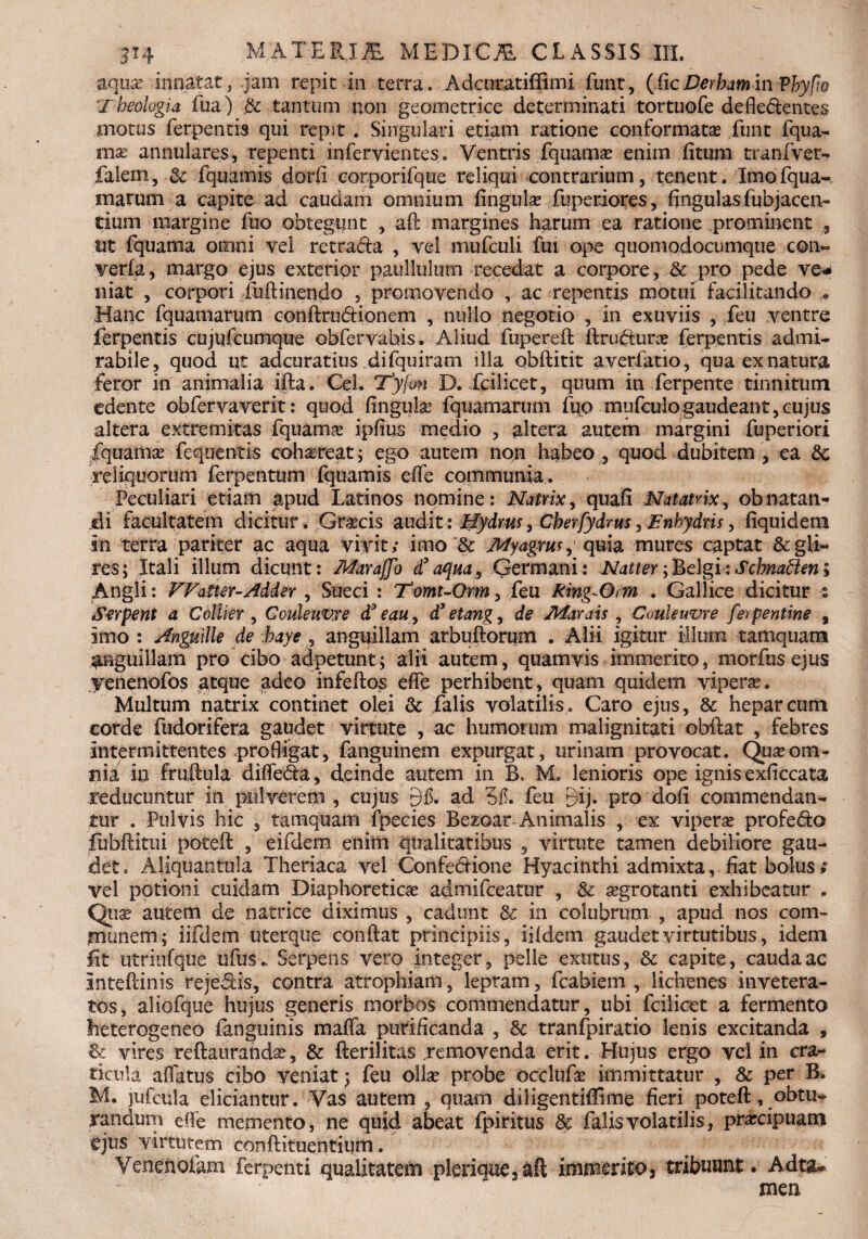 aqua? innatat, ,jam repit io terra. Adcuratiffimi funt, (iicDerham in Vbyflo Theologia fiia) tantum non geometrice determinati tortuofe defledtentes motus ferpentis qui repit . Singulari etiam ratione conformatas funt fqua- mx annulares, repenti infervientes. Ventris fquama? enim litum tranfver- falem, & fquamis dor(i corporifque reliqui contrarium, tenent. Imofqua-. marum a capite ad caudam omnium fingula? fuperiores, fingulasfubjacen- tium margine fuo obtegunt , aft margines harum ea ratione prominent , ut fquama omni vel retra&a , vel mufculi fui ope quomodocumque con- ver Ia, margo ejus exterior pauiiiilum recedat a corpore, & pro pede ve¬ niat , corpori fuftinendo , promovendo , ac repentis motui facilitando « Hanc fquamarum conftru&ionem , nullo negotio , in exuviis , feu ventre ferpentis cujqfcumque obfervabis. Aliud fupereft ftru&ura? ferpentis admi¬ rabile, quod qt adcuratius difquiram illa obftitit averfatio, qua ex natura feror in animalia ifta. Cei. ‘jtyfm D. fcilicet, quum in ferpente tinnitum edente obfervaverit: quod finguhe fquamarum fuo mufculogaudeant,cujus altera extremitas fquama ipfius medio , altera autem margini fuperiori fquamse fequentis cohareat; ego autem non habeo , quod dubitem , ea dc reliquorum ferpentum fquamis effe communia. Peculiari etiam apud Latinos nomine: Natrix, quafi Natatnx, obnatan¬ di facultatem dicitur. Gr&cis audit: JTydrus, Cherfydrus, Fnhydns, fiquidem In terra pariter ac aqua vivit; imo & Myagmquia mures captat & gli¬ res; Itali illum dicunt: Marajjo d’aqua. Germani: Natter;BelgkScbnaften; Angli: VVatter-Adder , Sueci : Tomt-Orm, feu Ring-Om . Gallice dicitur -% Serpent a Collier, Couleuvre ds eau, d3 etang, de JAarais , Couleuvre feipentine , imo : Angullle de haye , anguillam arbuftorum . Alii igitur illum tamquam anguillam pro cibo adpetunt; alii autem, quamvis immerito, morfus ejus yenenofos atque adeo infeftos effe perhibent, quam quidem vipera?. Multum natrix continet olei & falis volatilis . Caro ejus , & hepar cum corde fudorifera gaudet virtute , ac humorum malignitati obftat , febres intermittentes profligat, fanguinem expurgat, urinam provocat. Qua*-om¬ nia in fruflula diffecia, deinde autem in B, M. lenioris ope ignis exficcata reducuntur in pulverem , cujus 9$. ad feu gij. pro doli commendan¬ tur . Pulvis hic , tamquam fpecies Bezoar Animalis , ex vipera? profedo fubftitui poteff , eifdem enim qualitatibus 5 virtute tamen debiliore gau¬ det c Aliquantula Theriaca vel ConfedHone Hyacinthi admixta, fiat bolus; vel potioni cuidam Diaphoreticae admifceatur , & aegrotanti exhibeatur . Quae autem de natrice diximus , cadunt & in colubrum , apud nos com¬ munem; iifdem uterque conflat principiis, ii Idem gaudet virtutibus, idem fit utriufque tffus.. Serpens vero integer, pelle exutus, & capite, cauda ac Inteftinis rejedHs, contra atrophiam, lepram, fcabiem , lichenes invetera¬ tos, aliofque hujus generis morbos commendatur, ubi fcilicet a fermento heterogeneo fanguinis maffa purificanda , & tranfpiratio lenis excitanda , & vires reftauranda?, & fterilitas .removenda erit. Hujus ergo vel in cra¬ ticula affatus cibo veniat; feu olla? probe occlufa? immittatur , & per B. M. jufcula eliciantur. Vas autem , quam diligentiffime fieri poteft, obtu¬ randum effe memento, ne quid abeat fpiritus & falis volatilis, prarcipuam ejus virtutem conftituentium. Venehofam Ferpenti qualitatem plerique2aft immerito 2 tribuunt. Adta» men