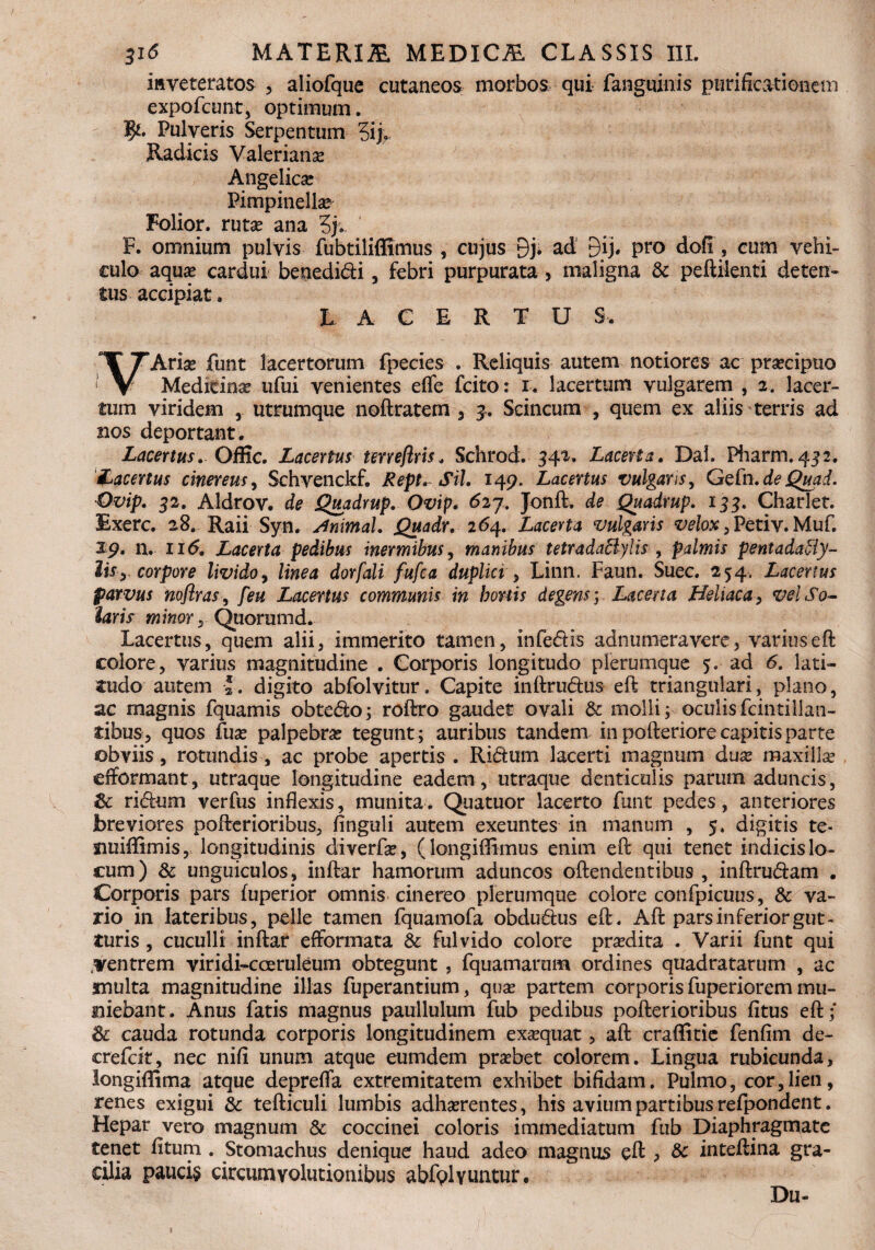 ittveteratos , aliofque cutaneos morbos qui fanguinis purificationem expofcunt, optimum. Pulveris Serpentum 5ij> Radicis Valerianae Angelicae Pimpinella* Folior. rutae ana 3j. F. omnium pulvis fubtiliffimus , cujus 9j. ad 9u* pro dofi, cum vehi¬ culo aquae cardui benedidi, febri purpurata > maligna & peftilenti deten¬ tus accipiat 8 lacertus. VArie funt lacertorum fpecies . Reliquis autem notiores ac praecipuo Medicina ufui venientes effe fcito: r. lacertum vulgarem , 2. lacer¬ tum viridem utrumque noftratem 3 3. Scincum , quem ex aliis terris ad nos deportant. Lacertus, Offic. Lacertus terreflris„ Schrod. 342. Lacerta, Dal. Pharm. 432. lacertus cinereus, Schvenckf. Rept, Sil, 149. Lacertus vulgans, Gefn. de Quad. Ovip, 32, Aldrov. de Quadrup. Ovip. 6ij. Jonft. de Quadrup. 133, Charlet. Exerc. 28. Raii Syn. sfnimal, Quadr. 264. Lacerta vulgaris velox , Petiv. Muf. Z9. n. 116, Lacerta pedibus inermibus, manibus tetradaHylis > palmis pentadacty¬ lis y corpore livido, linea dorfali fufca duplici , Linn. Faun. Suec. 254, Lacertus parvus noftras, feu Lacertus communis in bonis degens. Lacerta ffeliaca, vel So¬ lari? minor y Quorumd. Lacertus, quem alii, immerito tamen, infedis adnumeraverc, varius eft colore, varius magnitudine . Corporis longitudo plerumque 5. ad 6. lati¬ tudo autem *. digito abfolvitur. Capite inftrudus eft triangulari, plano, ac magnis fquamis obtedo; roftro gaudet ovali & molli; oculisfcintillan- tibus, quos fuse palpebrse tegunt; auribus tandem in pofteriore capitis parte obviis, rotundis , ac probe apertis . Ridum lacerti magnum dux maxillse efiformant, utraque longitudine eadem, utraque denticulis parum aduncis, & ridum verfus inflexis, munita. Quatuor lacerto funt pedes, anteriores breviores pofterioribus, finguli autem exeuntes in manum , 5. digitis te- siuiflimis, longitudinis diverfe, (longiffimus enim eft qui tenet indicis lo¬ cum) & unguiculos, inftar hamorum aduncos oftendentibus , inftrudam . Corporis pars fuperior omnis cinereo plerumque colore confpicuus, & va¬ rio in lateribus, pelle tamen fquamofa obdudus eft. Aft pars inferior gut¬ turis , cuculli inftar efformata & fulvido colore predita . Varii funt qui .ventrem viridi-cceruleum obtegunt , fquatnarum ordines quadratarum , ac multa magnitudine illas fuperantium, que partem corporis fuperiorem mu¬ niebant. Anus fatis magnus paullulum fub pedibus pofterioribus fitus eft; Sc cauda rotunda corporis longitudinem exaequat, aft craffitie fenfim de- crefdt, nec nifi unum atque eumdem prebet colorem. Lingua rubicunda, longiflima atque depreflfa extremitatem exhibet bifidam. Pulmo, cor,lien, renes exigui & tefticuli lumbis adherentes, his avium partibus refpondent. Hepar vero magnum & coccinei coloris immediatum fub Diaphragmate tenet fitum . Stomachus denique haud adeo magnus eft > & inteftina gra¬ cilia pauci§ circumvolutionibus abfplyuntur. Du-