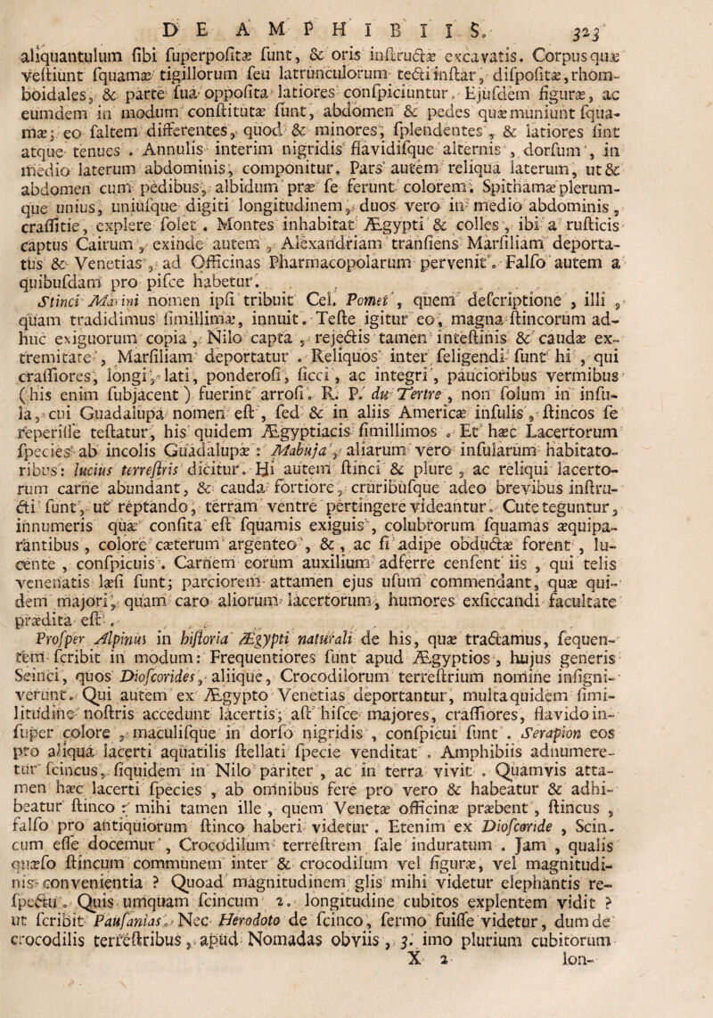 aliquantulum fibi fuperpofitae funt, & oris iu&ructe excavatis. Corpusqu:e veftiunt fquama/ tigillorum feu latru-nculorum- tedliinftar,■■ difpofitaj,rhom¬ boidales, & parte fua;oppo(ita? latiores conrpiciuntiir. Ejurdein figura, ac eumdem in modum conftitutse funt , abdomen & pedes qiia» muniunt fqua- mx; eo faltem differentes ,• quod & minores; fplendentes y & latiores fint atque tenues . Annulis- interim nigridis flavidifque alternis , dor fu m ', in medio laterum abdominis, componitur. Pars* autem reliqua laterum, ut& abdomen cum pedibus, albidum prae fe ferunt colorem; Spithama*plerum¬ que- unius, uniufque digiti longitudinem,< duos vero in medio abdominis, craffitie, explere folet. Montes inhabitat Aegypti & colles , ibi a rufticis captus Cairum y exinde autem , Alexandriana tranfiens Marfiliam deporta¬ tus Sc Venetiasy ad Officinas Pharmacopolarum pervenit'. Falfo autem a quibufdam pro pifce habetur. , f Stincr Marini nomen ipfi tribuit Cei. Pomet s quem defcriptione , illi 3 quam tradidimus fimiHima:, innuit . Tefte igitur eo, magna ftincorum ad¬ huc exiguorum copia, Nilo capta s rejedis tamen inteftinis & cauda ex¬ tremitate', Marfiliam/ deportatur . Reliquos inter feligendP funt hi , qui craffiores, longi,- lati, ponderofi, ficci, ac integri , paucioribus vermibus ( his enim fubjacent ) fuerint arrofl. R. V. du Tertre y non Colum in infu¬ la, cui Guadalupa nomen efty fed & in aliis America: infulis , ftincos fe reperifle teftatur, his quidem TEgyptiacis fimillimos . Et hac Lacertorum fpecies-ab incolis Guadalupa : Mabuja y aliarumt vero infularum habitato¬ ribus: lucius terre/iris dicitur. Hi autem ftlnci & plure , ac reliqui lacerto¬ rum carne abundant, & cauda-’ fortiore, cruriBufque adeo brevibus inAm» dti funt, ut reptando, terram ventre pertingere videantur. Cute teguntur 3 innumeris qua confita efF fquamis exiguisy colubrorum fquainas aquipa- rantibus , colore caterum ’ argenteo y & , ac fi adipe obdu&ae forent , lu¬ cente, confpicuis . Carnem eorum auxilium ad ferre cenfent iis , qui telis venenatis lafi funt; parciorem-attamen ejus ufum commendant, qua qui¬ dem majori/ quam caro aliorum? lacertorum, humores exficcandi facultate praedita efc-, w- ,, , . . Pro f per Alpinus in hiftoria /Egypti naturali de his, qua tradamus, fequen-- tbnt fcribit in modum: Frequentiores funt apud iEgyptios , hujus generis Seinci, quos Diofcoridesy aliique. Crocodilorum terreftrium nomine inflgni-* verunt. Qui autem exv TEgypto Venetias deportantur, multa quidem fimi- litu’dme noftris accedunt lacertis; aft hifce majores, craffiores, flavido in-- fuper colore ? maculifque in dorfo nigridis , confpicui funt. Serapion eos pro aliqua lacerti aquatilis ftellati fpecie venditat ’ , Amphibiis adnumere- ttir fcincusv fiquidem in Nilo pariter , ac in terra vivit . Quamvis atta¬ men haec lacerti fpecies , ab omnibus fere pro vero & habeatur & adhi¬ beatur' ftinco r mihi tamen ille y quem Veneta officinae praebent , ftincus , falfo pro antiquiorum ftinco haberi videtur . Etenim ex Diofcortde , Scinu cum effe docemur , Crocodilum: terreftrem fale induratum . Jam , qualis qnaefo ftincum communem inter & crocodilum vel figurae, vel magnitudi¬ nis-convenientia ? Quoad magnitudinem glis mihi videtur elephantis re~ fpedu o ^ Quis umquam fcincum; 2. longitudine cubitos explentem vidit ? ut fcriSit * PaUfaniasl’Nec Herodoto de fcinco, fermo fuiffe videtur, dum de crocodilis terreftribus ? apud Nomadas obviis , 3. imo plurium cubitorum X 2 Ion-