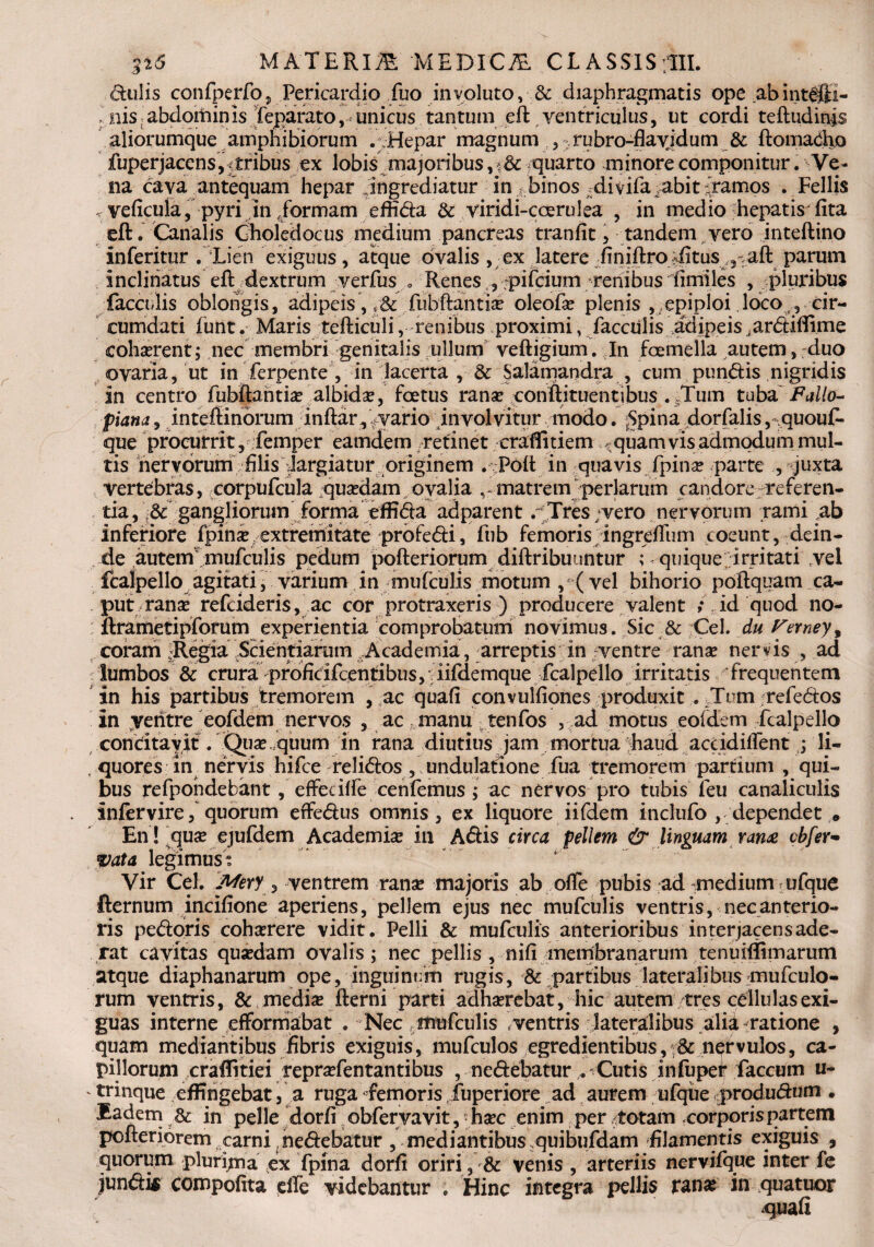 %i6 MATERI® ME DIC® CLASSlSfllL dulis confperfo, Pericardio fuo involuto, & diaphragmatis ope abintHh- k nis abdoiiiinis feparato, unicus tantum eft yentriculus, ut cordi teftudinis aliorumque amphibiorum . Hepar magnum 3 rubro-flayjdum & ftomacho fuperjaccns,: tribus ex lobis majoribus, quarto minore componitur. Ve¬ na cava antequam hepar ingrediatur in t binos divifa^abit Jramos . Fellis < veficula, pyri in/ormam effida & viridi-ccerulea , in medio hepatis fita eft. Canalis Choledocus medium pancreas tranfit, tandem vero inteftino inferitur . Lien exiguus, atque ovalis , ex latere finiftro iitus , aft parum inclinatus eft dextrum verfus , Renes , fpifcium renibus fimiles , pluribus faeculis oblongis , adipeis V>& fubftantise oleofte plenis , epiploi loco ^ cir¬ cumdati f unt. Maris tefticuli, renibus proximi, faeculis adipeis .ardiflime cohserent; nec membri genitalis ullum veftigium. In fcemella autem, duo ovaria, ut in ferpente , in lacerta , & Salamandra , cum pundis nigridis in centro fubftantia? albidse, foetus ranse eonftituentibus . Tum tuba Fuilo- piana, inteftinorum inftar, vario involvitur modo. 5pina dorfalis ,quou£- que procurrit, femper eamdem retinet craflitiem ^quamvis admodum mul¬ tis nervorum filis largiatur originem . Pott in quavis fpina? parte , juxta vertebras, corpufcula quasdam ovalia , matrem perlarum candore referen¬ tia, & gangliorum forma effida adparent . Tres vero nervorum rami ab inferiore fpinse extremitate profedi, ftib femoris ingreffum coeunt, dein¬ de autem mufculis pedum pofteriorum diftribuuntur ; quique irritati vel fcalpello agitati, varium in mufculis motum y(vel bihorio poftquam ca¬ put ranse refeideris, ac cor protraxeris ) producere valent / id quod no- ftrametipforum experientia comprobatum novimus. Sic & Cei. du Fvmey, coram :Regia Scientiarum Academia, arreptis in ventre ranse nervis , .ad lumbos & crura pfoficifeeutibus, iifdemque fcalpello irritatis frequentem in his partibus tremorem , ac quali convulfiones produxit . Tum refedos in ventre eofdem nervos , ac manu tenfos , ad motus eofdem fcalpello concitavit. Quae quum in rana diutius jam mortua haud accidiifent ; li- . quores in nervis hifce relidos , undulatione fua tremorem partium , qui¬ bus refpohdebant, effecilfe cenfemus ; ac nervos pro tubis feu canaliculis infervire, quorum eifedus omnis, ex liquore iifdem inclufo , dependet • En! quae ejufdem Academise in Adis circa pellem & linguam rana cbfer- vata legimus i ‘ ~  Vir Cei. Mery, ventrem ranse majoris ab ofle pubis ad medium ufque fternum incifione aperiens, pellem ejus nec mufculis ventris, nec anterio¬ ris pedoris cohserere vidit. Pelli & mufculis anterioribus interjacens ade¬ rat cavitas quaedam ovalis; nec pellis ,-nifi membranarum tenuiffimarum atque diaphanarum ope, inguinum rugis, & partibus lateralibus mufculo- rum ventris, & mediae fterni parti adhaerebat, hic autem tres cellulas exi¬ guas interne efforrriabat . Nec .mufculis .ventris lateralibus alii-ratione , quam mediantibus fibris exiguis, mufculos egredientibus, & nprvulos, ca¬ pillorum craffitiei repraefentantibus , nedebatur . Cutis infuper faecum u- ' trinque effingebat, a ruga «femoris fuperiore ad aurem ufque produdum . Eadem & in pelle dorfi obfervavit, haec enim per totam corporis partem pofteriorem carni nedebatur , mediantibus.quibufdam filamentis exiguis , quorum plurima ex fpina dorfi oriri, & venis , arteriis nervifque inter fe jundis compofita elfe videbantur . Hinc integra pellis rana? in quatuor