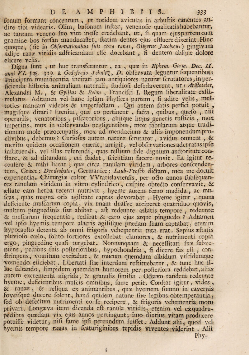 tonum formant concentum , ut totidem aviculas in arbuftis canentes au¬ dire tibi videaris. Olim, bufonum inftar, venenofa; qualitatis habebantur, ac tantam veneno fuo vim inefle credebant, ut, fi quam ejus partem cura gramine bos forfan manducaffet, flatim dentes ejus effluere dixerint. Hinc quoque, (fic in Obfewationibus fuis circa ranas, Oligerus Jacob&us) gingivam adipe rana? viridis. ad fricandam efle docebant , fi dentem abfque dolore elicere velis. Digna funt , ut huc transferantur , ea , qua; in Epbem. Germ. Dec. 11. anxii VI. pag. 520. a Godcfredo SehultD. obferyata leguntur fequentibu&i Principum. munificentia incitati jam antiquiores natura? fcrutatores , in per¬ ficienda hiiioria animalium naturali, fiudiofi defuda verant, ut: Arifioteles, Alexandri M. , Sc Gytlius Sc Belon , Francifci I. Regum liberalitate exfli- mulatus. Adtamen vel hanc ipfam Phyfices partem , fi adire velis, mut- toties mancam videbis Sc imperfedtam . Qui autem fatis perfici potuit , magifque ditari? Etenim, qua; eo pertinent , fadia , quibus , qusefo , nifi operariis , venatoribus , pifcatoribos , aliifque hujus generis rufiicis , mox imperitis, mox in obfervando negligentibus, mox fabularum atque tradi¬ tionum mole praeoccupatis, mox ad mendacium Sc aliis, imponendum pro¬ clivibus , debemus ? Curiofus autem natura; fcrutator, avidus omnem merito quidem occafionem qimfit, arripit, vel ohfervationes ad curatas ipfe infiituendi, vel illas referendi, quas tefiium fide dignium au&oritate con¬ flare , Sc ad ditandam , cui fludet, fcientiam facere novit. Ea igitur re^ cenfere Sc mihi liceat , qua; circa ranulam viridem , arbores confcenden- tem, Grxce: Der drcbates, Germanice: Laub-Frofch diflam, mea me docuit experientia. Chirurgia cultor VVratislavienfis, per o6fo annos fubfequen.- tes ranulam viridem in vitro cylindrico , csefpite obtefto confervavit, Sc seflate eam herba recenti nutrivit , hyerne autem foeno madida , ac mu- fcas , quas magna oris agilitate captas devorabat . Hyerne igitur , quum deficiente mufcarum copia, vix unam duafve acciperet quatriduo quovis, multum pinguedinis fuse abibat , afl redeunte edatis tempore , redeunte & mufcarum frequentia , redibat Sc caro ejus atque pinguedo ? Adtamen vel ipfo hyemis tempore alacris agilifque prsedam fuam captabat , etenim hypocauflo detenta ab omni frigoris vehementia tuta erat. Ssepius afflatis pluviofo coelo, folito fortiores extollebat clamores, Sc nutrimenti copia ergo, pinguedine quafi- turgebat. Nonnunquam & neceflitati fua; fubve- niens , pedibus fuis pollerioribus , hypochondria , fi dicere fas efl , con- flringens, vomitum excitabat, Sc mucum quemdam albidum vifciclumque vomendo eiiciebat . Libertati fuse interdum reflituebatur , Sc tunc huc il¬ luc faltando, limpidum quemdam humorem per polieriora reddebat, alias autem excrementa nigrida, Sc granulis fimilia . O&avo tandem redeunte hyerne, deficientibus mufcis omnibus, fame perit. Conflat igitur, vides, Sc ranas, Sc reliqua ex animantibus, qua; hyemem fomno in cavernis foveifque ducere folent, haud quidem natura; fua? legibus obtemperantia, fed ob defedum nutrimenti eo fe recipere , Sc frigoris vehementia motu privari. Longava item dicenda efl ranula viridis, etenim vel ex quadru¬ pedibus quasdam vix ejus annos pertingunt; imo diutius vitam producere potuifle videtur, nifi fame ipfi pereundum fuiffet. Addunt alii, quod vel hyemis tempore ranas in fcaturiginibus tepidis viventes viderint . Alii Phy-