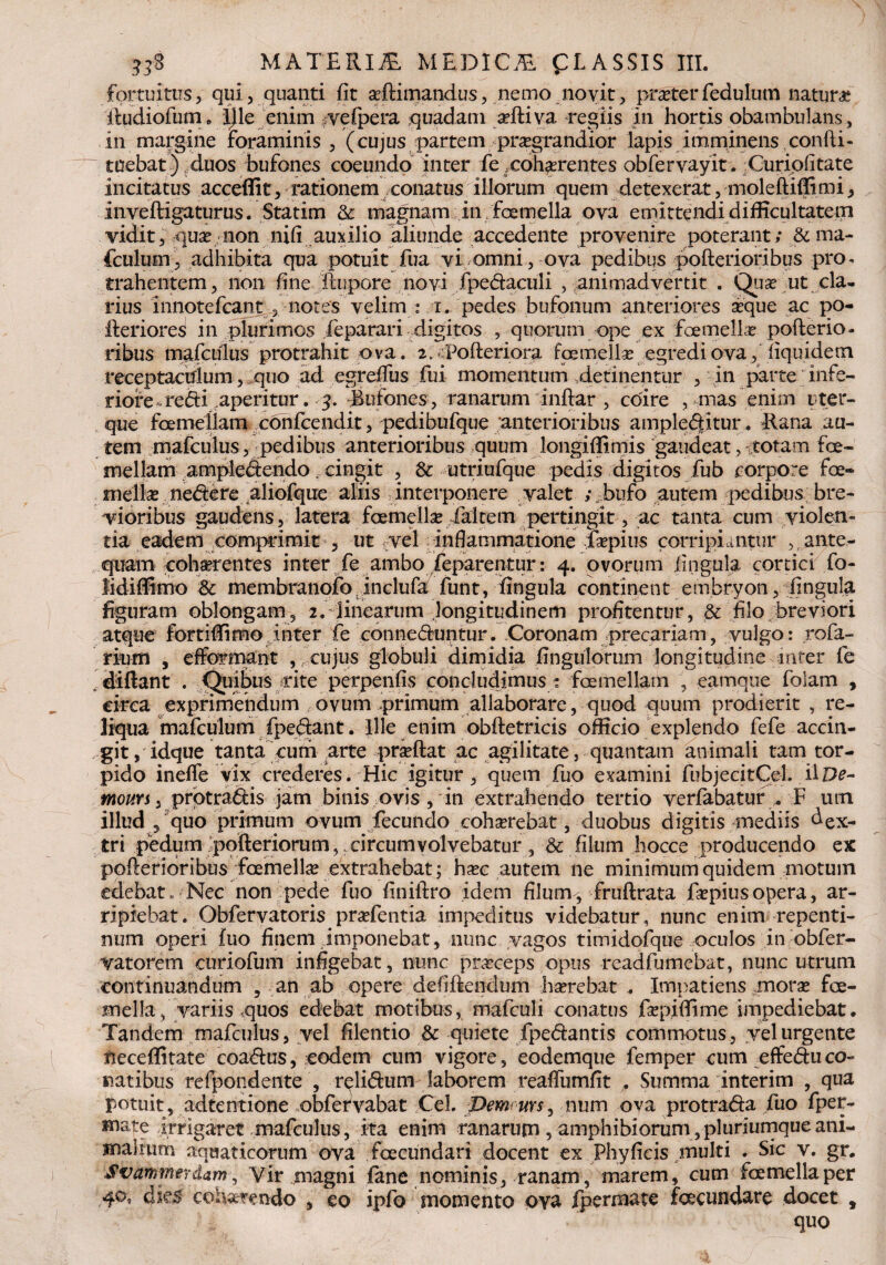 fortuitus, qui, quanti fit adHmandus, nemo novit, piveterfedulum natura ihidiofum„ Ille enim vefpera quadam adKva ceglis in hortis obambulans, in margine foraminis , (cujus partem praegrandior lapis imminens confli- tuebat ) duos bufones coeundo inter fe .cohaerentes obfervayit. Curipfitate incitatus acceflit, rationem conatus illorum quem detexerat, moleftiffimi, inveftigaturus. Statim & magnam in femella ova emittendi difficultatem vidit, quae non nifi auxilio aliunde accedente provenire poterant; & ma- fculum, adhibita qua potuit fua vi omni, ova pedibus pofterioribus pro- trahentem, non fine ftupore novi fpedaculi , animadvertit . Qiix ut cla¬ rius innotefcant , notes velim : x. pedes bufonum anteriores aeque ac po- lleriofe in plurimos feparari digitos , quorum ope ex femella? poflerio- ribus mafculus protrahit ova. 2;*Pofteriora fcemella? egredi ova, fiquidern receptacifium, quo ad egreflus fui momentum .detinentur , in parte infe¬ riore, redti,aperitur . 3. Bufones, ranarum inflar , coire , mas enim uter¬ que femellam confcend.it, pedibufque 'anterioribus ampleditur. Rana au¬ tem mafculus, pedibus anterioribus quum longiffimis gaudeat, totam fe¬ mellam ampledendof cingit , Sc utriufque pedis digitos fub corpore fe» mellas nedere aliofque aliis interponere valet -bufo autem pedibus bre¬ vioribus gaudens, latera femella /altem pertingit, ac tanta cum violen¬ tia eadem comprimit , ut vel inflammatione fsepius corripiantur ,, ante¬ quam cohaerentes inter fe ambo feparentur: 4. ovorum lingula cortici fo- lidiffimo & membranofo inclufa funt, fingula continent embryon, lingula figuram oblongam, 2. linearum longitudinem profitentur, & filo breviori atque fortiffimo inter fe conneduntur. Coronam precariam, vulgo: rofa- rmm , efformant , cujus globuli dimidia fingulorum longitudine inter fe diftant . Quibus rite perpenfis concludimus : femellam , eamque folam , circa exprimendum ovum primum allaborare, quod quum prodierit , re¬ liqua mafculum fpedant. Ille enim obftetricis officio explendo fefe accin¬ git, idq ue tanta cum arte prasftat ac agilitate, quantam animali tam tor¬ pido inelfe vix crederes. Hic igitur, quem fuo examini fubjecitCeh ilD?- mour$, prptradis jam binis ovis , in extrahendo tertio verfabatur .. F um illud 5 quo primum ovum fecundo coh^rebat, duobus digitis mediis dex¬ tri pedum pofteriorum, .circumvolvebatur, & filum hocce producendo ex pofterioribus femella extrahebat; h^c autem ne minimum quidem motum edebat. Nec non pede fuo finilfro idem filunv, fruftrata faspiusopera, ar¬ ripiebat. Obfervatoris pradentia impeditus videbatur, nunc enim repenti¬ num operi fuo finem imponebat, nunc vagos timidofque oculos in obfer- vatorem curiofum infigebat, nunc pr&ceps opus readfumebat, nunc utrum continuandum s an ab opere defiftendum haerebat . Impatiens morae fe¬ mella , variis quos edebat motibus, mafculi conatus faepiffime impediebat. Tandem mafculus, vel filentio & quiete fpedantis commotus, vel urgente fieceffitate coa&us, eodem cum vigore, eodemque femper cum effeduco¬ natibus refpondente , r^li&um- laborem reafTumfit . Summa interim , qua potuit, adtentione obfervabat Cei. Demrms, num ova protra&a fuo fper- *nate irrigaret mafculus, ita enim ranarum , amphibiorum ,pluriumqueani- inalium aquaticorum ova fecundari docent ex Phyfieis multi . Sic v. gr. Svammtrdam, Vir magni fane nominis, ranam, marem, cum femella per 40, dks cohaerendo , eo ipfo momento ova Ipermate fecundare docet quo