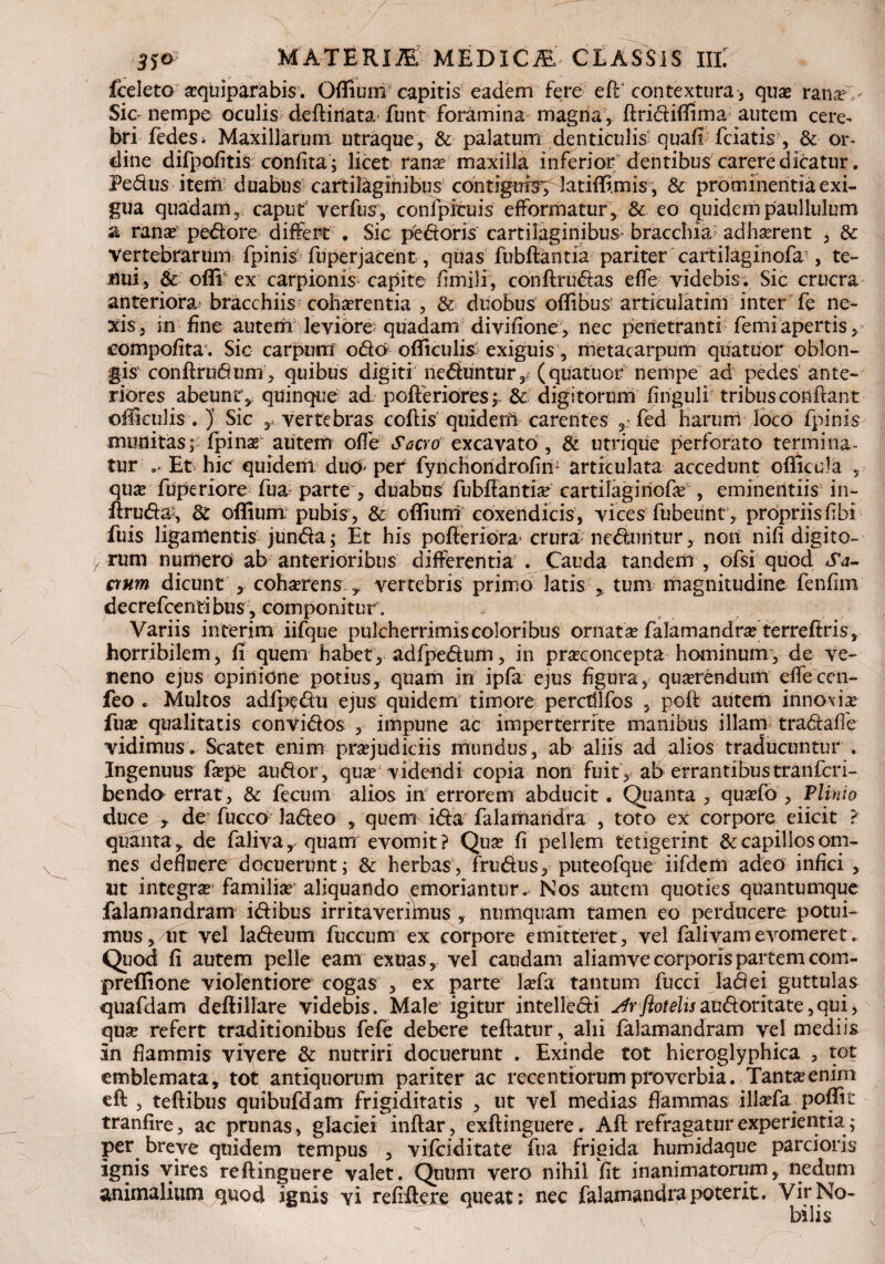 fceleto a®quiparabi$. Offium capitis eadem fere eft contextura, quae rana: Sic- nempe oculis deftinata funt foramina magria, ftridiffima autem cere¬ bri fedes. Maxillarum utraque, & palatum denticulis quafi fciatis , or* dine difpofitis confita ; licet rana? maxilla inferior dentibus carere dicatur. Pedus item duabus cartilaginibus contiguis; latiffimis , & prominentia exi¬ gua quadam, caput verfusy conipicuis efformatur, & eo quidempaullulum a ranae pedore differt • Sic pedoris cartilaginibus- bracchia adhserent , & vertebrarum fpinis fuperjacent , quas fubftantia pariter cartilaginofa , te¬ nui, & oflV ex carpionis capite fimili, conftrudas effe videbis . Sic crucra anteriora bracchiis cobarentia , & duobus offibus articularim inter fe ne¬ xis, in fine autem leviore quadam divifione, nec penetranti femiapertis, compofita*. Sic carpum odo offi culis exiguis, metacarpum quatuor oblon¬ gis conftrudum, quibus digiti neduntur,; (quatuor nempe ad pedes ante- riores abeunt, quinque ad; pofteriores; & digitorum finguli tribus conflant ©ffieulis . )' Sic ,, vertebras collis quidem carentes fed harum loco fpinis munitas; fpina® autem olle Sacroexcavato , 81 utriqiie perforato termina¬ tur Et hic quidem duo per fynchondrofin articulata accedunt officula 5 quse fuperiore fua parte , duabus fubfiantia? cartilagiriofie , eminentiis in- flruda:, & offium; pubis, & offium coxendicis , vices fubeunt , propriis libi fuis ligamentis junda; Et his pofteriora^ crura nedtintur, non nili digito- ^ rum numero ab anterioribus differentia . Cauda tandem , ofsi quod Sa¬ mum dicunt cohserens , vertebris primo latis-* tum magnitudine fenfim decrefcentibus, componitur . Variis interim iifque pulcherrimiscoloribus ornata falamandra? terreftris, horribilem, fi quem habet, adfpedum, in praxoncepta hominum, de ve¬ neno ejus opinione potius, quam in ipfa ejus figura, quaerendum effecen- feo . Multos adipcdu ejus quidem timore perctllfos , poft autem inno\ia? fua? qualitatis convidos , impune ac imperterrite manibus illam tradaffe vidimus. Scatet enim praejudiciis mundus, ab aliis ad alios traducuntur . Ingenuus faepe audor, qua? videndi copia non fuit , ab errantibus tranfcri- bendo errat, & fecum alios in errorem abducit. Quanta , qua?fo , Plinio duce * de/ fucco ladeo , quem ida falamandra , toto ex corpore eiicit ? quanta, de faliva, quam evomit? Quae fi pellem tetigerint & capillos om¬ nes defluere docuerunt; & herbas, frudus, puteofque iifdem adeo infici , ut integra familia aliquando emoriantur. Nos autem quoties quantumque falamandram idibus irritaverilnus , numquam tamen eo perducere potui- musj/iit vel ladeum fuccum ex corpore emitteret, vel falivam evomeret. Quod fi autem pelle eam exuas, vel caudam aliamve corporis partem com- preffione violentiore cogas , ex parte la?fa tantum fucci ladei guttulas quafdam deftillare videbis. Male igitur intelledi Arftotelisauctoritate,qui, qua? refert traditionibus fefe debere teftatur, alii falamandram vel mediis in flammis vivere & nutriri docuerunt . Exinde tot hieroglyphica , tot emblemata, tot antiquorum pariter ac recentiorum proverbia. Tant^enim eft , teftibus quibufdam frigiditatis , ut vel medias flammas illada poffit tranfire, ac prunas, glaciei inftar, exftinguere. Aft refragatur experientia; per breve quidem tempus , vifciditate fua frigida humidaque parcioris ignis vires reftinguere valet. Quum vero nihil fit inanimatorum, nedum animalium quod ignis vi refiftere queat: nec falamandra poterit. Vir No¬ bilis V