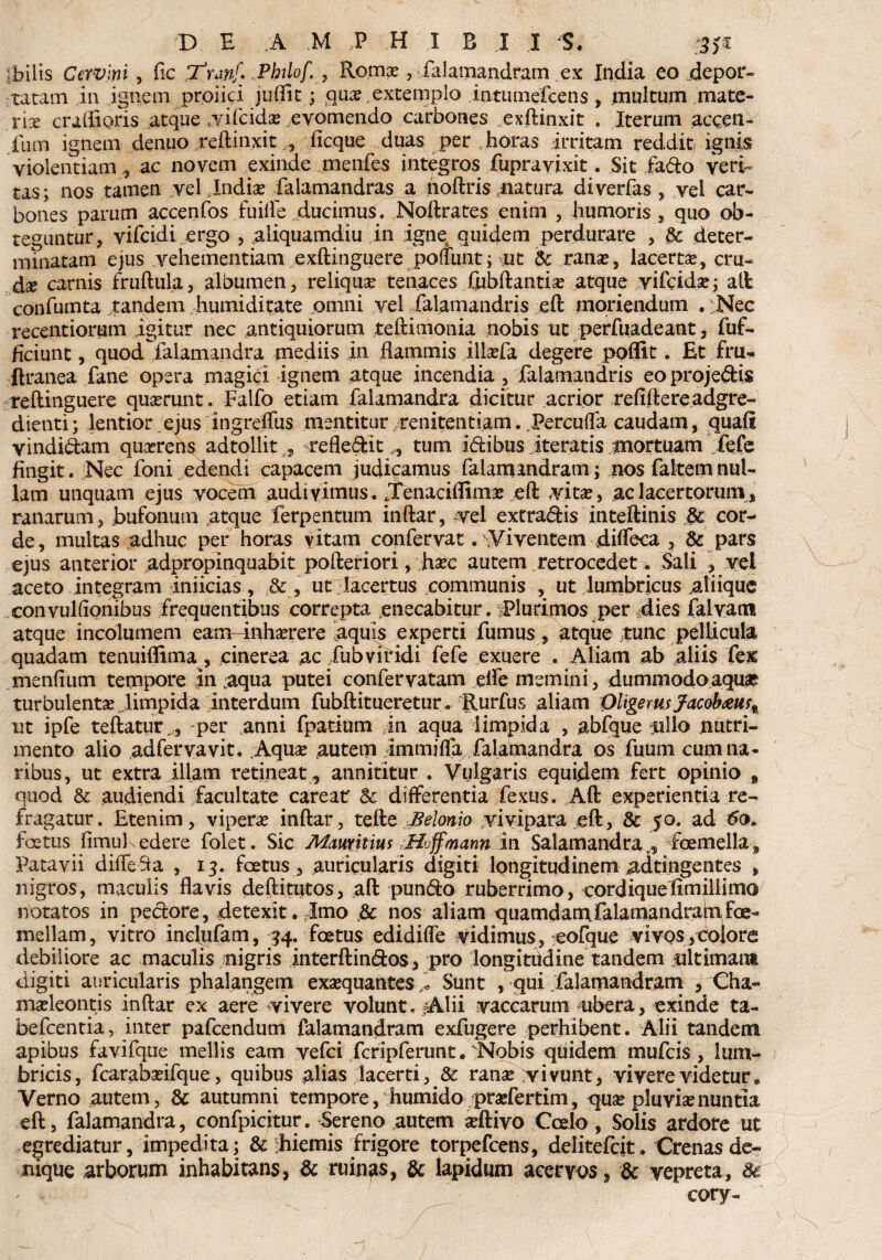 ;bilis Cervini , fle Xranf* Pbilof. , Roma?, falamandram ex India eo depor¬ tatam In ignem proiici juflit; qua?, extemplo intumefeens , inultum mate¬ ria? craffioris atque vifeida? evomendo carbones exftinxit . Iterum acqen- fum ignem denuo reftinxit , ficque duas per horas irritam redditi ignis violentiam , ac novem exinde menfes integros fuprayixit. Sit fa&o veri¬ tas; nos tamen vel , India? falamandras a noftris natura diverfas, vel car¬ bones parum accenfos fuifle ducimus. Noftrates enim , humoris , quo ob¬ teguntur, vifeidi ergo , aliquamdiu in igne quidem perdurare , & deter¬ minatam ejus vehementiam exftinguere pofiunt; ut &c rana?, lacerta?, cru- dx carnis fruftula, albumen, reliqua? tenaces fubftantia? atque vifeida?; ait confumta tandem humiditate omni vel falamandris eft moriendum . :Nec recentiorum igitur nec antiquiorum teftimonia nobis ut perfuadeant, fuf- ficiunt, quod falamandra mediis In flammis illsela degere poffit. Et fru- ftranea fane opera magici ignem atque incendia , falamandris eo projedis reftinguere qua?runt. Falfo etiam falamandra dicitur acrior refiftereadgre- dienti; lentior ejus ingreffus mentitur renitentiam. Percuda caudam, quafl vindi&am qua?rens adtollit 5 refle&it ,, tum Idibus iteratis mortuam fefe fingit. Nec foni edendi capacem judicamus falamandram; nos faltemnul¬ lam unquam ejus vocem audivimus. Jenaciffima? eft vita?, ac lacertorum , ranarum, jbufonurn atque ferpentum inftar, vel extradis inteftinis & cor¬ de, multas adhuc per horas vitam confervat. Viventem diffeca , & pars ejus anterior adpropinquabit pofteriori, ha?e autem retrocedet. Sali , vel aceto integram iniicias, ut dacertus communis , ut lumbricus .aliique convuftionibus frequentibus correpta enecabitur. Plurimos per dies falvam atque incolumem eam inha?rere aquis experti fumus , atque tunc pellicula quadam tenuiffima , .cinerea ac fubviridi fefe exuere . Aliam ab aliis fe£ mendum tempore In aqua putei confervatam elfe memini, dummodoaqust turbulenta?, limpida Interdum fubftitueretur. Rurfus aliam QligerusJacobaw9 ut ipfe teftatur,, per anni fpatium in aqua limpida , abfque $illo nutri¬ mento alio adfervavit. Aqua? autem Immida falamandra os fuum cum na¬ ribus, ut extra illam retineat , annititur . Vulgaris equidem fert opinio 9 quod &: audiendi facultate careatr Sc differentia fexus. Aft experientia re¬ fragatur. Etenim, vipera? inftar, tefte Belonio vivipara eft, & 50. ad 60. foetus fimuf edere folet. Sic Mitwtitius Hjffmann in Salamandrat, fcemella, Patavii difleUa , 13. foetus, auricularis digiti longitudinem adtingentes , nigros, maculis flavis de ft i tutos, aft pun&o ruberrimo, cordique fimiliimo notatos in pecftore, detexit. Imo .& nos aliam quamdamfalamandrain foe- mellam, vitro inelqfam, 34. foetus edidifle vidimus, eofque vivos,dolore debiliore ac maculis nigris interftin&os, pro longitddine tandem nltimaim digiti auricularis phalangem exa?quante$ Sunt , qui falamandram , Cha- ma?leontis inftar ex aere vivere volunt. =A1 ii vaccarum ubera, exinde ta- befcentia, inter pafcendum falamandram exfugere perhibent. Alii tandem apibus favifque mellis eam vefei fcripferunt. Nobis quidem mufeis, lum¬ bricis, fcaraba?ifque, quibus alias lacerti, & rana? vivunt, vivere videtur . Verno autem, & autumni tempore, humido pra?fertim, qua? pluvia?nuntia eft, falamandra, confpicitur. Sereno autem a?ftivo Coelo, Solis ardore ut egrediatur, impedita; & ihiemis frigore torpefeens, delitefcit• Crenas de¬ nique arborum inhabitans, & ruinas, & lapidum acervos, & vepreta, 8c ~ cory-