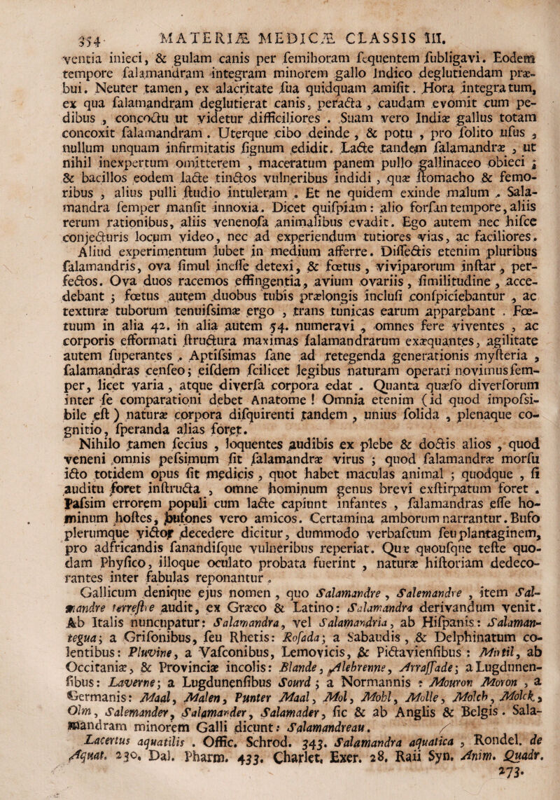 ventia inieci, & gulam canis per femihoratn fequentem fubligavi. Eodefia tempore falamandram integram minorem gallo Indico deglutiendam prae» bui. Neuter tamen, ex alacritate fua quidquam ..amifit. .Hora integra tum, ex qua falamandram deglutierat canis, pera&a , caudam evomit eum pe¬ dibus , concoctu ut yidetur difficiliores . Suam vero India? gallus totam concoxit falamandram . Uterque cibo deinde , & potu > pro folito nfus , nullum unquam infirmitatis lignum edidit» La6te tandem falamandra? , ut nihil inexpertum omitterem , maceratum panem pullo gallinaceo obieci i 8c bacillos eodem lade tindtos vulneribus indidi , que ilomacho & femo¬ ribus , alius pulli ftudio intuleram , Et ne quidem exinde malum Sala- mandra femper manfit innoxia. Dicet quifpiam: alio forfan tempore, aliis rerum rationibus, aliis venenofa animalibus evadit. Ego autem nec hifce conjedturis locum video, nec ad experiendum tutiores vias, ac faciliores. Aliud experimentum Jubet in medium afferre. Diffe&is etenim pluribus falamandris, ova fimul ineffe detexi, & foetus , viviparorum jnftar., per- fe&os. Ova duos racemos effingentia, avium ovariis, fimilitudine , acce¬ debant ; foetus autem duobus tubis praelongis inclufi confpiciebantur , ac textura tuborum tenui fsime ergo , trans tunicas earum apparebant , Fce- tuum in alia 42. in alia autem 54. numeravi , omnes fere viventes , ac corporis efformati dru&ura maximas lalamandrarum exequantes, agilitate autem fuperantes ,. Aptifsimas fane ad retegenda generationis myfteria , falamandras cenfeo; eifdem fcilicet legibus naturam operari novimus fem¬ per, licet yaria , atque diyerfa corpora edat . Quanta quefo diyerforum inter fe comparationi debet Anatome ! Omnia etenim (id quod impofsi- bile eft) natura? corpora difquirenti tandem , unius folida , plenaque co¬ gnitio, fperanda alias foret. Nihilo tamen fecius , loquentes jaudibis ex plebe & do&is alios , quod veneni omnis pefsimum fit falamandre virus ; quod falamandra? morfa i&o totidem opus iit medicis , quot habet maculas animal ; quodque , fi auditu foret inftru&a , omne hominum genus brevi exfKrpatum foret . Pafsim errorem populi cum la&e capiunt Infantes , falamandras effe ho¬ minum hoftes, jbufones vero amicos. Certamina amborum narrantur. Bufo plerumque vi&ojr decedere dicitur, dummodo verbafcum feuplantaginem, pro adfrlcandis fanandifque vulneribus reperiat. Que quoufque tefte quo¬ dam Pbyflco, ilioque oculato probata fuerint , nature hiftoriam dedeco¬ rantes inter fabulas reponantur. Gallicum denique ejus nomen , quo Salamavdre , Salemandxe , item Sal- mandre tarreftre audit, ex Greco & Latino: Salamandra derivandum venit. Ab Italis nuncupatur: Salamandra, vel Salamaridria, ab Hifpanis: Sahman* tegua; a Grifonibus, feu Rhetis: Rofada; a Sabaudis , & Delphinatum co¬ lentibus: Pluvine, a Vafconibus, Lemovicis, & Pi&avienfibus : Miitil, ab Occitanie, & Provincie incolis: Blande, /ilebrenne, Arraffadei a Lugdunen¬ sibus: Laverne; a Lugdunenfibus Sourd; a Normannis ? Mouron Moxon , a Germanis: Maaly Maleny Punter Maaly Moly Mobly Molle, Mdlcb, Molckj Olm, Salemander, Salamarder, Salamader, fic & ab Anglis & Belgis. Sala- mandram minorem Galli dicunt: Salamandreau. + Lacenus aquatilis . Offic. Schrod. 343. Salamandra aquatica , Rondel. de 4qmh 230. Dal. Pharm. 433. Charkt, Exer. 28. Raii Syn. Anim. Quadr. , -  %71'