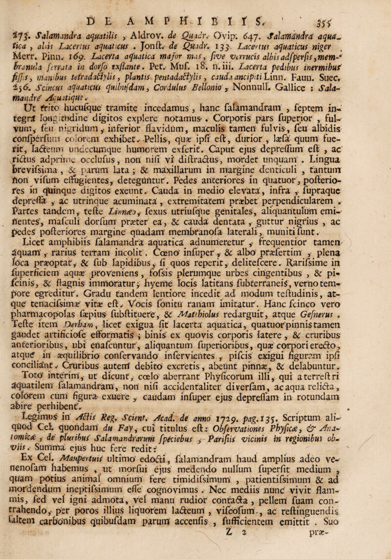 ^71* Salatnandra aquatilis , Aldrov. de Quadr* Ovip: 647. Sahmdndra aqua~ fica y alis Lacerius aquaticus . Jonft. Quadr* 133. Lacertus aquaticus niger Merr. Pinn.- 16$. Lacerta aquatica mafor mas y five vmucis albisadfperfts ,mem~° hranula ferrata in dorfo txfiant e. Pet. Muf 18. n. ii i. Lacerta pedibus inermibus w*> manibus teiradi&yUs, plantis pentadaUylis , cauda ancipiti Linnv Faun. Suec, i)<5. Scincus aquaticus qfuibufdart y Cordulus Bellonio y NonnulL Gallice ; Sala~ mandre AquatiqUe« Ut frito hucuique tramite incedamus , hanc falamandram y feptem in¬ tegra longitudine digitos explere notamus-. Corporis pars fuperior , ful¬ vum , feti' nigri dum inferior flavidum, maculis tamen fulvis, feu albidis confperfiun colorem exhibeto-Pellis-, qua* ipfif eft, durior , lsefa quum fue- fit, ladeum undecumque humorem exferif. Caput ejus deprdfum eft , ac fidus adprime occlufus, non nifi; vi5 diftradus, mordet unquam . Lingua brevifsima , Sc parum lata ; & maxillarum in margine denticuli , tantum' fton vifum effugientes, deteguntur. Pedes anteriores in quatuor, pofterio- fes in quinque digitos exeunto* Cauda in medio elevata', infra , fupraque deprefla , ac utrinque acuminata , extremitatem praebet perpendicularem «- Partes tandem, te fle Limeto y fexus utriufque genitales, aliquantulum emi¬ nentes, mafculi dorfum prseter ea , & cauda dentata , guttur nigrius , ac pedes poAeriores margine' quadam' membranofa laterali > muniti funt. Licet amphibiis falamandra aquatica adnumerctur ,• frequentior tamen- aquam, rarius terram incolit, Coe no infuper , & albo praefertim , plena foca praeoptat, & fub lapidibusfi quos reperit, delitefcere. Rarifsime in fuperficiem aquse proveniens, fofsis plerumque urbes cingentibus , & pi- fcinis, & flagnis immoratur hyeme locis latitans fubterraneiS, verno tem¬ pore egreditur. Gradu tandem lentiore incedit ad modum teftudinis, at¬ que tenacifsima* vita eft.* Vocis fonitu ranam imitatur. Hanc fcinco vero pharmacopolas fapius fubftituere, & Maftbiolus redarguit, atque Gefnerus « Tefte item Derbam, licet exigua flt lacerta aquatica , quatuor pinnis tamen gaudet artificiofe eftormatis ; binis ex quovis corporis latere, U cruribus anterioribus, ubi eiiafcuntur, aliquantum fuperioribus, qua corporieredo, atque in aquili brio confervando infervientes , pifcis exigui figuram ipfi conciliantv Cruribus auterrf debito excretis, abeunt pinna, & delabuntur. TotO interi m, ut dicunt, coelo aberrant Phyficorum illi, qui atefreftri aquatilem falamandram, noni nifi accidentaliter diverfam, ac aqua relida, colorem cum figura exuere , caudam infuper eius depreffam in rotundam abire perhibent’. Legimus in AElis Reg. Scient. Ac ad. de anno 1729. pag.135. Scriptum ali¬ quod Cei quondam du Fay, cui titulus eft : Obfervationes Phyfic#, & Ana*■ tomica , de' pluribus Salamandrarum fpeciebus ,• Parifiis vicinis in regionibus oh« viisSumma ejus huc fere redit i Ex Cei, Maupertuis ultimo edodi s falamandram haud amplius adeo ve- nenofam habemus , ut morfui ejus medendo nullum fuperfit medium , quam potius animal omnium fere timidifsfmum , patientifsimum & ad mordendum ineptifsimum eft e cognovimus . Nec mediis nunc vivit flam¬ mis, fed vel igni admota, vel manu rudior contada , pellem fuam con- trahendo^ psr poros illius liquorem ladeum , vifeofum-, ac reftmguendis faltein carbonibus quibufdam parum accenfis , fufficientem emittit . Suo L z prse-