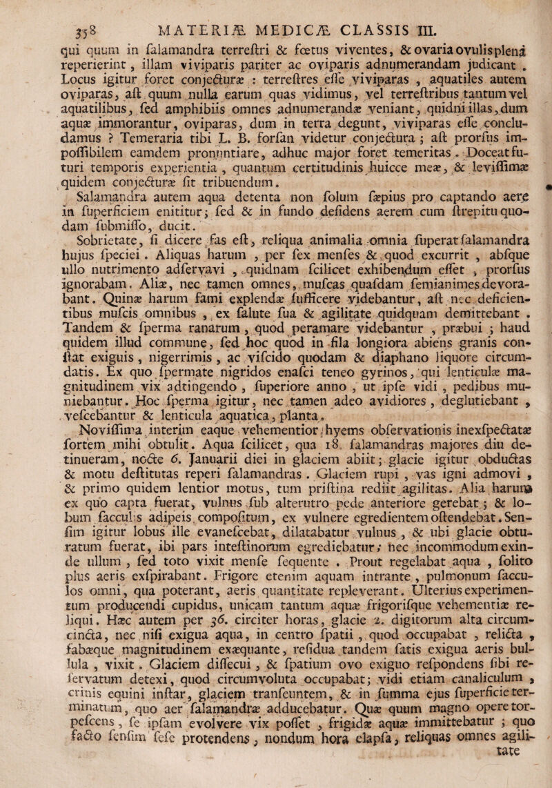 qui quum in falamandra terreftri & foetus viventes, & ovaria ovulis plena reperierint, illam viviparis pariter ac oviparis adnumerandam judicant . Locus igitur foret conjedurae : terreftres eife viviparas , aquatiles autem oviparas, aft quum nulla earum quas vidimus, vel terreftrihus tantumvei aquatilibus, fed amphibiis omnes adnumeraiidi veniant, quidni illas, dum aquas immorantur, oviparas, dum in terra degunt, viviparas eiTe conclu¬ damus ? Temeraria tibi L. B. forfan videtur comjedura; aft prorfus im- poffibilem eamdem pronuntiare, adhuc major foret temeritas . Doceat fu¬ turi temporis experientia , quantum certitudinis huicce meas, &c leviffimae quidem conjedura? iit tribuendum. Salamandra autem aqua detenta non folum faepius pro captando aere in fuperfieiem enititur; fed & in fundo defidens aerem cum ftrepituquo¬ dam fubmifTo, ducit. Sobrietate, n dicere fas eft, reliqua animalia omnia fuperatfalamandra hujus fpeciei. Aliquas harum , per fex menfes & quod excurrit , abfque ullo nutrimento adferyavi , . quidnam fcilicet exhibendum eifet , prorfus ignorabam. A lias, nec tamen omnes, mufcas quafdam femianimes de vora¬ bant. Quina? harum fami explendae fufficere videbantur, aft ntc deficien¬ tibus mufcis omnibus , ex falute fua & agilitate quidquam demittebant . Tandem & fperma ranarum, quod peramare videbantur , praebui ; haud quidem illud commune, fed hoc quod in fila longiora abiens granis con¬ ii at exiguis , nigerrimis , ac vifcido quodam & diaphano liquore circum¬ datis. Ex quo fpermate nigridos enafci teneo gyrinos, qui lenticula ma¬ gnitudinem vix a dtingendo , fuperiore anno , ut ipfe vidi , pedibus mu¬ niebantur. Hoc fperma igitur, nec tamen adeo avidiores , deglutiebant , . vefcebantur & lenticula aquatica, planta, Noviffima interim eaque vehementiorjhyems obfervationis inexfpedatse fortem mihi obtulit. Aqua fcilicet, qua 18 falamandras majores diu de¬ tinueram, node 6. Januarii diei in glaciem abiit; glacie igitur obdudas & motu deftitutas reperi falamandras . Glaciem rupi , vas igni admovi , & primo quidem lentior motus, tum priftina rediit agilitas. Alia haruna ex quo capta fuerat, vulnus fub alterutro pede anteriore gerebat , & lo¬ bum faccuhs adipeis, compoftum, ex vulnere egredientem offendebat. Sen- fim igitur lobus ille evanefeebat, dilatabatur vulnus , & ubi glacie obtu¬ ratum fuerat, ibi pars inteftinorum egrediebatur; nec incommodum exin¬ de ullum , fed toto vixit menfe fequente . Prout regelabat aqua , folito pius aeris exfpirabant. Frigore etenim aquam intrante, pulmonum faccu- los omni, qua poterant, aeris quantitate repleverant. Ulterius experimen¬ tum producendi cupidus, unicam tantum aquas frigorifque vehementia? re¬ liqui. Haec autem per 35. circiter horas , glacie 2. digitorum alta circum- cinda, nec, niii exigua aqua, in centro fpatii, quod occupabat , relida , fabaque magnitudinem exaequante, refidua, tandem fatis exigua aeris bul¬ lula , vixit. Glaciem diffecui, & fpatium ovo exiguo refpondens fibi re- fervatum detexi, quod circumvoluta occupabat; vidi etiam canaliculum , crinis equini inftar, glaciem tranfeuntem, & in fumma ejus fuperficie ter- minatun, quo aer falamandra? adducebatur. Quae quum magno operetor- p e icens, fe ipfam evolvere vix poifet , frigidae aquae immittebatur ; quo fado fenfim fefe protendens, nondum hora elapfa, reliquas omnes agili¬ tate