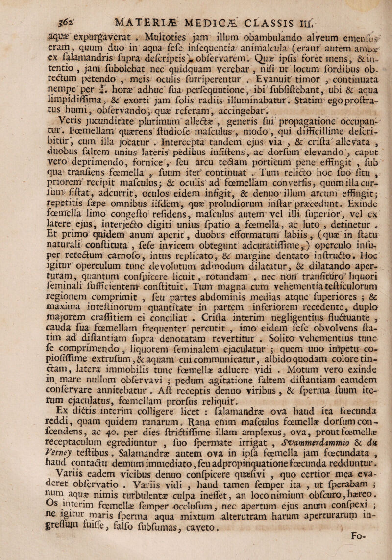 expurgaverat . Multoties jam iilum obambulando alveum ementus eram, quum duo in aqua* fefe infequentia animalcula (erant autem ambae ex falamandris fupra defcriptis > obfervarem e Quaf ipfis foret mens , & in¬ tentio, jam fubolebat nec quidquam verebar , nili ut locum fordibus ob- tedum petendo ,-meis oculis furriperentur . Evanuit timor 5 continuata nempe per -J. hora? adhuc fua perfequutione, ibi fubfiftebant, ubi & aqua limpidiffima, & exorti jam folis radiis illuminabatur . Statirrr egoproftra- tus humi, obfervandOj qua? referam, accingebar. . Veris jucunditate plurimum alleda? , generis fui propagatione occupan¬ tur. Foemellam quserens ftudiofe mafculus , modo , qui difficillime defcri- bitiir, cum illa jocatur . Intercepta tandem ejus via , & crifta allevata , duobus faltem unius lateris pedibus infiftens, ac dorfum'elevando’, caput vero deprimendo, fornice y feu arcu te&am porticum pene effingit , fub qua traniiens foemella , fuum iter continuat . Tum relido hoc fuo litu , priorem recipit mafculus; & oculis ad foemellam converfis, quum illa cur- funififtat, adcurrit, oculos eidem infigit, & denuo illum arcum effingit; repetitis fsepe omnibus iifdem, qua? proludiorum iriftar pra?cediint. Exinde foemella limo congefto relidens, mafculus autem vel illi fuperior, vel ex latere ejus, interjedo digiti unius fpatio a foemella, ac luto , detinetur . Et primo quidem anum aperit, duobus cfformatum labiis, (qua? in flatu naturali confli tuta, fefe invicem obtegunt adcuratiflime,) operculo infrn per retedum■ carnofo, intus replicato, & margine dentato inftrudo. Hoc igitur operculum tunc devolutum admodum dilatatur, & dilatando aper¬ turam, quantum conlpicere licuit, rotundam , nec non tranfitdro’liquori feminali fufficientem; conflituk. Tum magna cum vehementia tefticulorum regionem comprimit , feu partes abdominis medias atque fuperiores ; & maxima inteftinorum quantitate in partem inferiorem recedente, duplo majorem craffitiem ei conciliat . Crifta interim negligentius fluduante , cauda fua foemellam frequenter percutit , imo eidem fefe obvolvens fla¬ rim ad diftantiam fupra denotatam revertitur . Solito vehementius tunc fe comprimendo, liquorem feminalem ejaculatur ; quem uno impetu co- piofiffime extrufum,& aquam cui communicatur, albido quodam' colore tin- dam, latera immobilis tunc foemella adluere vidi . Motum vero exinde in mare nullum obfervavi ; pedum agitatione faltem diftantiam eamdem confervare annitebaturAft receptis denuo viribus , & fperma fuum ite¬ rum ejaculatus, foemellam prorfus reliquit. Ex didis interim colligere licet : falamandra? ova haud ita fcecunda reddi, quam quidem ranarum. Rana efnm mafculus foemellam dorfum con- fcendens, ac 40. per dies ftridiffime illam amplexus, ova, prout foemella? receptaculum egrediuntur , fuo fpermate irrigat , Svammerdammio & dii Verney teftibus. Salamandra? autem ova in ipfa foemella jam fcecundata , haud contadu demum immediato, feu adpropinquatione fcecunda redduntur. Variis eadem vicibus denuo confpicere quadivi , quo certior mea eva¬ deret obfervatio . Variis vidi , haud tamen femper ita , ut fperabam ; ^um. aqua? nimis turbulenta? culpa ineffet, an loco nimium obfcuro, ha?reo. Os interim foemella femper occlufum, nec apertum ejus anum confpexi ; ne igitur maris fperma aqua mixtura alterutram harum aperturarum in- greffutn fuiffe, falfo fubfumas, caveto.