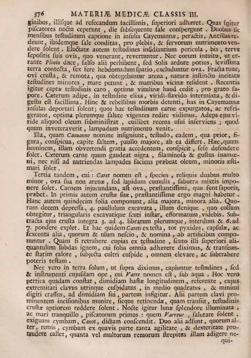 ginibus, illifque ad refecandum facillimis, fuperiori adhaeret. Quas igitur pifcatores nodu ceperunt , die fubfequente fale confpergunt . Duobus iic menfibus teftudinum captione in infulis Cayemanna?, peradtis, Antillas re¬ demit, ibidemque fale conditas, pro plebis, & fervorum nutrimento ven¬ dere folent. Eludata? autem teftudines infidiantium pericula , bis , terve fepofitis fuis ovis, quo venerant,, revertuntur. Nec eorum intuitu, ut er¬ rante Plinio duce, falfo alii perhibent, fed Solis ardore potius, leviflima terra conteda, fex fere hebdomadumfpatio,excluduntur ova. Fradatunc, ovi crufta, & remota, qua obtegebantur arena , natura* inftindu incitatas teftudines minores , mare petunt , & matribus vicinas reddent , Recentis igitur captag teftudinis caro , optimae vitulina haud cedit , pro grato fa- pore. Casterum adipe, in teftudine elixa, viridi-flavido intermixta, &di- geftu eft facillima. Hinc dc rebellibus morbis detenti, has in Cayemannas infulas deportari folent; quos hac teftudinum carne expurgatos, ac refri¬ geratos, optima plerumque falute vigentes redire vidimus. Adeps ejus vi¬ ride aliquod oleum fubminiftrat , cuilibet recens ufui inferviens ; quod quum inveteraveritlampadum nutrimento venit. Illa, quam Caouanne nomine inftgniunt, teftudo, eadem , qua prior, fi¬ gura, confpicua, capite faltem, paullo majore, ab ea differt. Hasc,quum hominem, illam obvertendi gratia accedentem, confpicit, fefe defendere folet. Ceterum carne quum gaudeat nigra , filaminofa & guftus inamoe- ai, nec nifl ad nutriendas lampades faciens prasbeat oleum, minoris adii- mari folet. Tertia tandem , cui: Cavet nomen eft , fpecies , reliquis duabus multo annor , ova fua non arenas, fed. lapidum cumulis , faburra mixtis impo¬ nere folet. Carnem injucundam, aft ova, pradftantiflimi, quas, funtfaporis, prasbet. In primis autem cruftas fuas, prasftantiflimas ergo magni habetur Hanc autem quindecim folia componunt, alia majora, minora alia. Quo¬ rum decem deprdfa , 4. paullulum excavata , illuni denique , quo collum obtegitur, triangularis excavatique fcuti inftar, efFormatum,videbis, Sub¬ tracta ejus crufta integra 3. ad 4. librarum plerumque, interdum & 6.ad 7. pondere explet. Et hac quidem Cami ex tefta, tot pyxides, capfulas, ac fexcenta alia, quorum & ufum nefeio, & nomina , ab artificibus compo¬ nuntur» Quam fi retrahere cupias ex teftudine , fcuto illi fuperiori ali¬ quantulum fubdas ignem, cui folia omnia adhrrere diximus, Sc tranfeun- te ftatiro calore , fubjeda cultri cufpide , omnem elevare, ac fubtrahere poteris teftam . Nec vero in terra folum, ut fupra diximus, capiuntur teftudines , fed Bc Inftrumenti cujufdam ope , cui Vane nomen eft , fub aqua . Hoc vero pertica quadam conftat, dimidiam haftas longitudinem , referente , cujus extremitati clavus utrinque cufpidatus , in medio quadratus , & minimi digiti craflus, ad dimidiam fui, partem infigitur. Alii partem clavi pro¬ minentem incifionibus munire, ficque retinendas, quam tranfiit, teftudinis cruftse aptiorem reddere folent . Node igitur luna? fplendore illuminata , ac mari tranquillo , pifcatorum primus : quem Varreur , falutare folent , exiguam cymbam, Canot, didam confcendit. Duo aliiadfunt, quorum al¬ ter , remis , cymbam ex quavis parte tanta agilitate , & dexteritate pro¬ trudere callet, quanta vel multorum remorum ftrepitus illam adigere ne¬ qui-