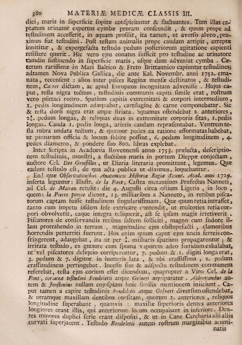 diei 3 maris in fhperficie fopitse cpnfpicitmtur & fluctuantes. Tum illas ca¬ ptatum urinator expertus cymba: proram confcendit , & quum prope ad teftudinem accefterit, in aquam profilit, ita tamen, ut averfo alveo,pro¬ ximus fiat teftudini. Poft teftam animalis prope caudam arripit, arrepta: innititur , & expergefa&a teftudo pedum pofteriorum agitatione capienti rdiftere quasrit. Hic vero ejus conatus fufficit pro teftudine ac urinatore tamdiu fuftinendo in fuperEcie maris , ufque dum adveniat cymba .. Ce¬ terum rarifiima: in Mari Baltico & Freto Brittannico capiuntur teftudines; adtamen Nova Publica Gallica, die ante Kal. Novembr. anni 1752. ema¬ nata., recenfent : alios inter pifces Reginas menfe delimatos , & teftudi¬ nem, Canet didam , ac apud Eoroparos incognitam adveniffe . Hujus ca¬ put , tefta nigra tedum , teftudinis communis capiti fimile erat, roftrum vero pfittaci roitro. Spatium capitis extremitati & corpori intermedium , 1. pedis longitudinem adaquabar, cartilagine & carne componebatur. Sic & tefta dorfi nigra erat atque ilriata. Squamas oftendebat 2. anteriores , 2*. .pedum longas, & reliquas duas in extremitate corporis fitas, 1.pedis longas. Cauda 1. pedis longa, arietis caudam repradTentabat. Ventremte- fta rubra undata tedum, & qua tuor pedes ea ratione efformatas habebat, ut pinnarum officia & locum fubire poffint, 6. pedum longitudinem , 4. pedes diametro, & pondere fuo 80o. libras explebat. Inter Scripta in Academia Rovennenfi anno 1755. pradeda, deferiptio- nem teftudinis, monftri, a fludibus maris in portum Dieppas conjedam , audore Cei. Des Groifilles, ut Diaria literaria promittunt, legemus. Quas eadem teftudo eft, de qua ada publica ut diximus, loquebantur . En! qua: Qbfenvationihm Anatomicis Hifiovuz Regia Scient. Ac ad, anni 172^. inferta leguntur: Uiuftr. de la Pont, Caftra metantium Prarfedus Nanneti , ad Cei. de Mairan retulit: die 4. Augufti circa oftium Ligeris , in loco , quem : la Pievre percee dicunt, 13. milliaribus a Nanneto, in retibus pifca- torum captam fuiffe teftudinem Engulariffimam. Qua: quum retia intraffet, tanto cum impetu iifdem fefe extricare contendit, ut multoties retia cor¬ pori obvolverit, eaque integra reliquerit, ait fe ipfam magis irretiverit * Pifcatores de confervandis retibus faltem folliciti , magno cum fudore il¬ lam protrahendo in terram , magnitudine ejus obftupefadi , clamoribus horrendis perterriti fuerunt. Hos enim quum caput ejus uncis ferreiscon^ fringerent, adaugebat, ita mt per -milliaris fpatium propagarentur j & irritata teftudo, ex gutture cum fpuma vaporem adeo foetidum exhalabat, ut vel pifcatores deliquio corriperentur, 7. pedum & 1. digiti longa erat, 4. pedum & 7. digitor. in -humeris lata , & ubi craftiffima , 2. pedum craffitudinem pertingebat. Inceftii fuo & adfpedu teftudinem communem referebat, tefta ejus corium effet dicendum, quapropter a Viro Cei. de la .Pont, coriacea teftudini Rcndeletii atque Gefneri a:quiparatur . Aldrovandus .au¬ tem & Jonftonius nullam cujufpiam huic fimilis mentionem iniiciunt. Ca¬ put tamen a capite teftudinis kmdektn atque Gefneri diverfumoftendebat., & utramque maxillam dentibus confitam, quorum 2. anteriores , reliquos longitudine fuperabant , quamvis maxilla: fuperioris dentes anteriores longiores erant illis, qui anteriorum locum occupabant in inferiore. Den¬ tes minores duplici ferie erant difpofiti, & ut in Cane Carcharia alii aliis .curvati fuperjacent. Teftudo Rondektii autem roftrum marginibus acumi¬ natis