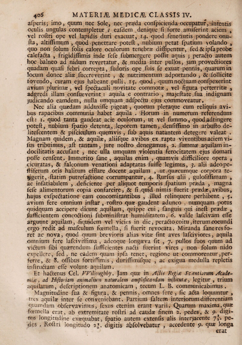 afperis; imo, quum nec Sole, nec pneda confpicienda occupatur,-intentis oculis ungulas contempletur ; eafdem denique (i forte amiferint aciem , vel roftri ope vel lapidis duri exacuat, 14. quod fenedutis pondere onu- £h, altiffimum , quod penetrare poteft , nubium petat fpatium volando s quo non folum folis calore oculorum tenebra? diffipentur, fed&ipfa probe calefada , frigidifiimis inde fefe fubmergere poflit aquis ; perado autem hoc balneo ad nidum revertatur, Sc media inter pullos, jam provedior.es quadam quali febri correpta, fudoris ope fuis fe exuat pennis, quarum in locum donec aliae iuccreverint , & nutrimentum adportando , Sc dollicite fovendo, curam ejus habeant pulli, .15. quod, quum nqduam epnfpexerint avium plurima? , vel fpedaculi novitate commotae , vel figura perterritae 3 adgredi illam confueverint : aquila e contrario , majeftate ifua indignam judicando eamdem, nulla umquam adfpedu ejus commoveatur. Nec alia quaedam adduxilTe pigeat, quorum pleraque cum reliquis avi¬ bus rapacibus communia habet aquila . Horum in numerum referendum eft: i. quod tanta gaudeat acie oculorum, ut vel fummo,, quod.adtingere poteft, nubium fpatio detenta^ leporem tamen, denfiflitno in arbufto de- litelcentem & pifcicuJum quemvis , fub aquis natantem detegere valeat .. Magnam quidem, & aquilae, aliifque avibus ex raptu viventibus aciem vi- fus tribuimus, aft tantam, jure noftro denegamus, 2. ;fumm^ aquilam in¬ docilitatis accufant , nec ulla umquam violentia ferocitatem ejus domari polle cenfent. Immerito fane , aquilas enim , quam vis, difficiliore opera 3 cicuratas, & falconum venationi adaptatas fuiflV legimus, 3. alii adeope- ftiferum oris halitum efflare docent aquilam , ut ;qu«cumque corpora te» Egerit, ftatim putrefadione corrumpantur,,4. Rurfus alii , gulofiflimam * ac infatiabilem , deficiente per aliquot temporis .fpatium praeda , magna fefe alimentorum copia confarcire, Sc fi f quid nimis fuerit pra?da?,avibus, hujus exfpedatione eam concomitantibus , aliud relinquere perhibent , 5. avium fere omnium inftar , roftro qua? gaudent adunco , numquam potus quidquam accipere dicunt aquilam, quippe cui , fanguis qui ineft pra?da? * fufficientem concodioni fubminiftrat humiditatem, <5. valde lafcivam efle arguunt aquilam, fiquidcm vel vicies in die, peradocoitu,iterum,coeundi ergo redit ad mafculum foemella, fi fuerit revocata. Miranda fane res fo¬ ret ac nova, quod quum brevioris alias vita? fint aves lafciviores, aquila omnium fere lafciviifima , adeoque longa?va fit , 7. pullos fuos quum ad vidum libi querendum fufficientes nadi fuerint vires , non folum nido expellere, fed, ne eadem quam ipfa tenet, regione ut commorentur,per¬ ferre, 8c 8. offibus fortifflmis , duriffimifque , ac exigua medulla repletis inftrudam efle volunt- aquilam. Et hadenus Cei. FFilloughby. Jam qua? in Aciis Regiai Scientiarum Acade- mia, ad Hi floriam animalium naturalem amplificandam inflitut#, legitur, trium aquilarum, defcriptionem anatomicam , tecum L. B. communicabimus . Magnitudine fua & figura, Sc pennis, omnes fere , fic ada loquuntur , tres aquila? inter fe conveniebant. Partium faltem interiorum differentiam quamdam obfervavimus, fexus etenim erant varii. Quarum maxima,quas foemella erat, ab extremitate roftri ad cauda? finem 2. pedes, Sc 9• digi¬ tos longitudine exaequabat, fpatio autem extentis alis interjacente 7J. pe¬ des a Roftri longitudo 2* digitis abfolvebatur , accedente 9* qua? longa erat