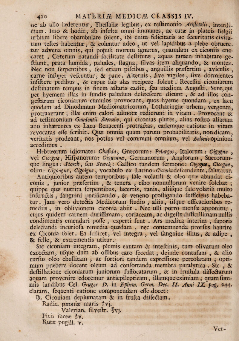 ne ab ullo laederentur, Theffaliae legibus, ex teftimonio Ariftotelis, interda dium. Imo & hodie, ab infultu omni immunes, ae tutae in plateis Belgii urbium libere obambulare folent, ibi enim felicitatis ac fecuritatis civita¬ tum teftes habentur, & coluntur adeo , ut vel lapidibus a plebe obruere¬ tur advena omnis, qui populi morum ignarus, quamdam ex ciconiis ene¬ caret . Caeterum natandi facilitate deftitutae , aquas tamen inhabitare ge- fliunt, prata humida, paludes, ftagna, filvas item aliquando, & montes. Nec non ferpentibus , fed etiam pifcibus, anguillis praefcrtim , aviculis , carne infuper vefcuntur, & pane. Alternis, five vigiles, five dormientes anfiftere pedibus , & caput fub alas recipere foknt . Receffui ciconiarum deftinatum tempus in finem aeftatis cadit, feu medium Augufti. Sunt,qui per hyemem illas in fundis paludum delitefcere dicunt , & ad illos con- geftarum ciconiarum cumulos provocant, quos hyeme quondam , ex lacu quodam ad Dinodunum Mediomatricorum, Lotharingiae urbem, vergente, protraxerant; illas enim calori admota? redierunt in vitam . Provocant 3c ad teftimonium Gaudentii Merula > qui ciconias plures, alias roflro aliarum ano inhaerentes ex Lacu Benacenfi protrahas, eademque ratione in vitam revocatas efle fcribit . Quae omnia quum parum probabilitatis, non dicam, veritatis prodeant, nos potius vel communi omnium, vel Belonisopinioni accedimus . Hebraeorum idiomate: Chafida, Graecorumr Peiargos, Italorum : Cigogna 3 vel Cicogna, Hifpanorura: Ciguennay Germanorum , Anglorum , Suecorum- qtie lingua: Storcb, feu Storcks Gallico tandem fermone: Cigogne, Gicogne* olimr Cigongne, Cigoigne, vocabulo ex LatinorC?cDwkdefcendente,falutatur. Antiquioribus autem temporibus , fale volatili & oleo quae abundat ci- conia , junior praefertim , & tenera , cibo nonnullorum venire folebat ; quippe quae nutrita ferpentibus, lacertis, ranis, aliifque fale volatili multo Inftrudis , fanguini purificando, & veneno profligando fuflaciens habeba- tur. Jam vero detedis Medicorum Audio , aliis, iifque efficacioribus re¬ mediis , in oblivionem ciconia abiit . Nec ulli porro nienfae apponitur , cujus quidem carnem duriflimam, coriaceam, ac digeftu difficillimam nullis condimentis emendari pofle , experti funt . Ars medica interim , faporis deledandi incuriofa remedia quadam , nec contemnenda prorfus haurire ex Ciconia folet. Ea fcilicet, vel integra , vel languine illius , & adipe , Sc felle, & excrementis utitur. Sic ciconiam integram, plumis exutam & inteftinis, tum olivarum oleo excodam, ufque dum ab oflibus caro fecedat, deinde contufam , & alio rurfus oleo ebullitam , ac fortiori tandem expreflione percolatam ; opti¬ mum praebere docent oleum ad confortanda membra paralytica . Sic , & deftillatione ciconiarum juniorum fuffocatarum , & in fruftula difledarum aquam provenire edocemur antiepilepticam, illamque eximiam; quamfum- mis laudibus Cei. Giuger D. in Ephem. Germ. Dec. II. Anni IX, pag. 244. elatam, fequenti ratione componendam efle docet Ciconiam deplumatam & in frufta diffedam. Radie, paeoniae maris ?vj. Valerian. filveftr. ?vj. Picis iliceae §v. Rutae pugili v. Ver-