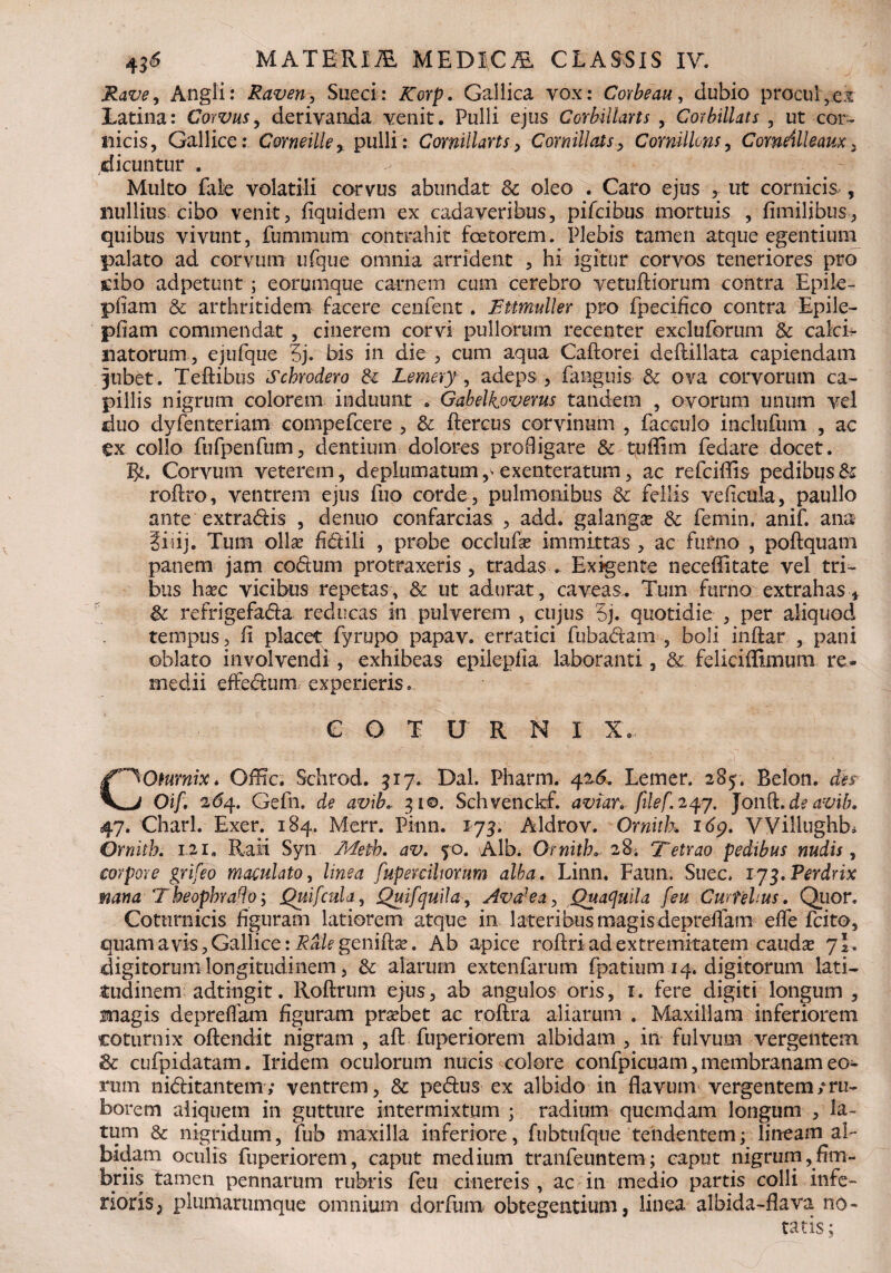 Rave, Angii: Raven, Sueci: ^Torp. Gallica vox: Corbeau, dubio procul,ex Latina: Corvus, derivanda venit. Pulli ejus Corblllarts , Corbillats , ut cor¬ nicis, Gallice: Comeille, pulli: ComMans, Cornillats, CornUlons, Comeilleaux, dicuntur . Multo fale volatili corvus abundat oleo . Caro ejus , ut cornicis, nullius cibo venit, fiquidem ex cadaveribus, pifcibus mortuis , fimilibus, quibus vivunt, fummum contrahit foetorem. Plebis tamen atque egentiura^ palato ad corvum ufque omnia arrident , hi igitur corvos teneriores pro cibo adpetunt; eorumque carnem cum cerebro vetuffiorum contra Epile- pfiam & arthritidem facere cenfent. Rttmuller pro fpecifico contra Epile- pfiam commendat , cinerem corvi pullorum recenter excluferum & calci- natorum, ejufque 5j. bis in die , cum aqua Caftorei deflillata capiendam Jubet. Teffibus Schrodero & Lernery , adeps , fangtiis & ova corvorum ca¬ pillis nigrum colorem induunt . Gabelkoverus tandem , ovorum unum vel duo dyfenteriam compefcere , 3c ftereus corvinum , faceulo mclufum , ac tx collo fufpenfum, dentium dolores profligare & tuffim fedare docet. Corvum veterem, deplumatum exenteratum, ac refciffis pedibus & roftro, ventrem ejus fuo corde, pulmonibus & fellis vefxcula, paullo ante extradis , denuo confarcias , add. galangse & femin. anif. ana giiij. Tum olla? fidili , probe occlufa? immittas , ac furno , poftquam panem jam codum protraxeris, tradas. Exigente neceffitate vel tri¬ bus hxc vicibus repetas, & ut adurat, caveas. Tum furno extrahas * Sc refrigefada reducas in pulverem , cujus 5j. quotidie , per aliquod tempus, fi placet^ fyrupo papav. erratici fubadam , boli inftar , pani oblato involvendi , exhibeas epilepfia laboranti, & feliciflimum re» medii effedum,experieris. € O T U R N I X, COturnix. Offic. Schrod. 517. Dal. Pharm. 4Lemer. 285. Belon. des Oif. 2^4. Gefn. de avib... 51©. Schvenckf. avtar. filef. 247. Jond.de avib. 47. Charl. Exer. 184. Merr. Pinn. 175. Aldrov. Ornitk 169. Willughb» Ornith. 121. RaM Syn Metb. av. 50. Albi Ornith. 28; Tetrao pedibus nudis, corpore grifeo maculato, linea fupereilwnim alba. Linn. Faun. Suec. ij^.Perdrix mna The ophr ad 0; Quifcula, QuifquiJa, Avo* e a, Quaquila [eu Curtehus. Qiior. Coturnicis figuram latiorem atque in lateribus magis depreffam effe fcito, quam a vis, Gallice: i^genifbe. Ab apice roftri ad extremitatem caud^ 7 E digitorum longitudinem, & alarum extenfarum fpatium 14. digitorum lati¬ tudinem adtingit. Roftrum ejus, ab angulos oris, 1. fere digiti longum , magis depreffam figuram praebet ac roflra aliarum . Maxillam inferiorem coturnix offendit nigram , aft fuperiorem albidam , in fulvum vergentem 8c cufpidatam. Iridem oculorum nucis colore confpicuam, membranam eo¬ rum niditantem; ventrem, & pedus ex albido in flavum vergentem/ru¬ borem aliquem in gutture intermixtum ; radium quemdam longum , la¬ tum & nigridum, fub maxilla inferiore, fubtufque tendentem; lineam al¬ bidam oculis fuperiorem, caput medium tranfeuntera; caput nigrum ^fim¬ briis tamen pennarum rubris feu cinereis, ac in medio partis colli infe¬ rioris, plumarumque omnium dorfurn obtegentium, linea albida-flava no¬ tatis;